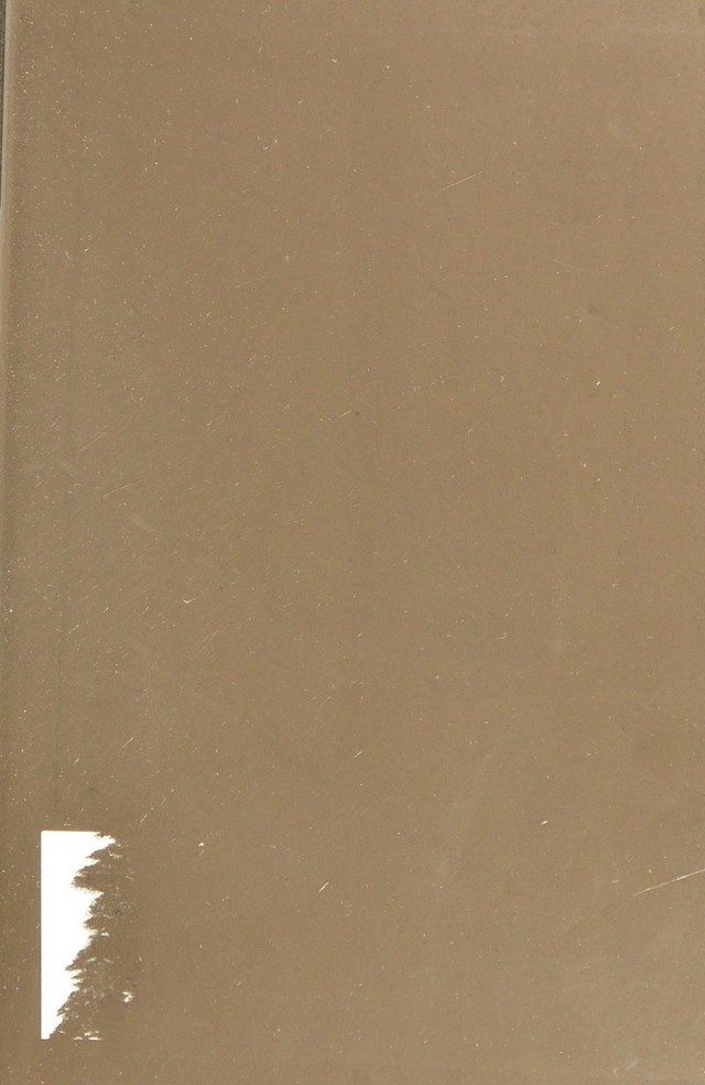 digitised image 3