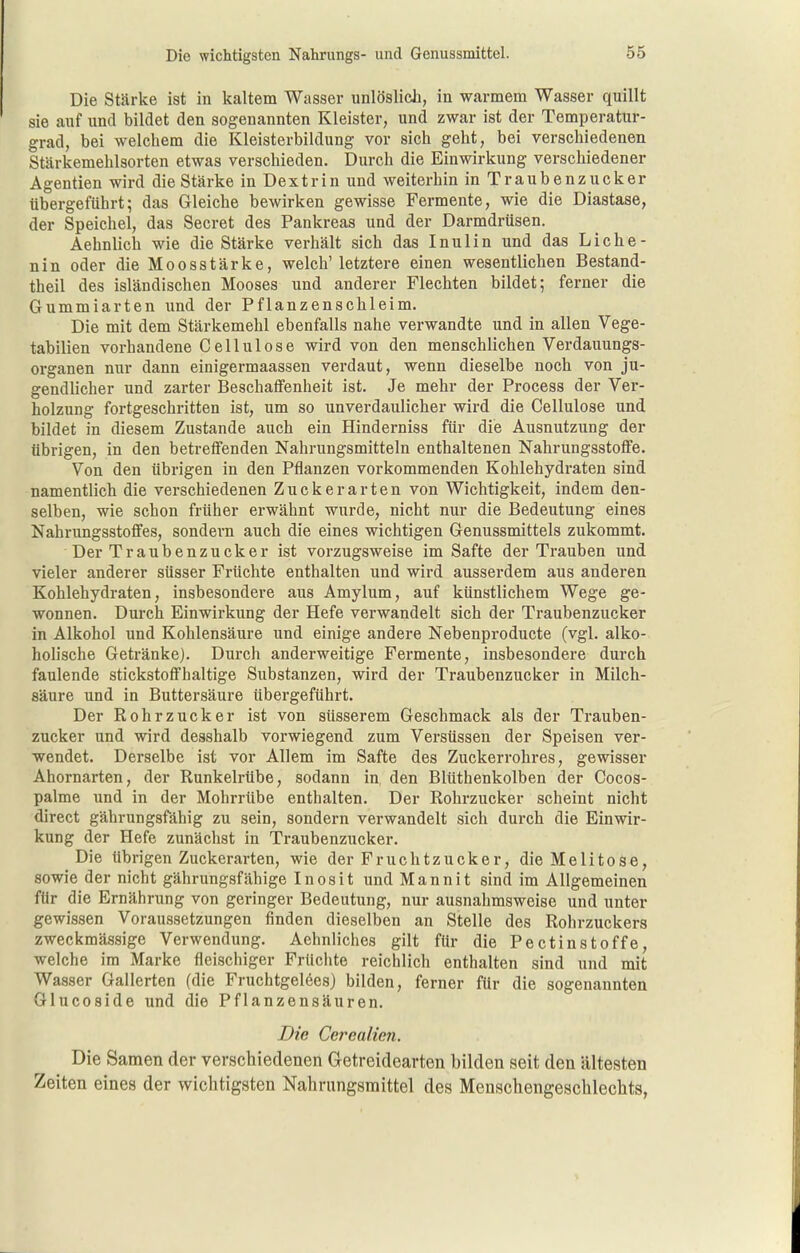 Die Stärke ist in kaltem Wasser unlöslich, in warmem Wasser quillt sie auf und bildet den sogenannten Kleister, und zwar ist der Temperatur- grad, bei welchem die Kleisterbildung vor sich geht, bei verschiedenen Stärkemehlsorten etwas verschieden. Durch die Einwirkung verschiedener Agentien wird die Stärke in Dextrin und weiterhin in Traubenzucker übergeführt; das Gleiche bewirken gewisse Fermente, wie die Diastase, der Speichel, das Secret des Pankreas und der Darmdrüsen. Aehnlich wie die Stärke verhält sich das Inulin und das Liehe- nin oder die Moosstärke, welch' letztere einen wesentlichen Bestand- theil des isländischen Mooses und anderer Flechten bildet; ferner die Gummiarten und der Pflanzenschleim, Die mit dem Stärkemehl ebenfalls nahe verwandte und in allen Vege- tabilien vorhandene Cellulose wird von den menschlichen Verdauungs- organen nur dann einigermaassen verdaut, wenn dieselbe noch von ju- gendlicher und zarter Beschaffenheit ist. Je mehr der Process der Ver- holzung fortgeschritten ist, um so unverdaulicher wird die Cellulose und bildet in diesem Zustande auch ein Hinderniss für die Ausnutzung der übrigen, in den betreffenden Nahrungsmitteln enthaltenen Nahrungsstoffe. Von den übrigen in den Pflanzen vorkommenden Kohlehydraten sind namentlich die verscliiedenen Zucker arten von Wichtigkeit, indem den- selben, wie schon früher erwähnt wurde, nicht nur die Bedeutung eines Nahrungsstoffes, sondern auch die eines wichtigen Genussmittels zukommt. Der Traubenzucker ist vorzugsweise im Safte der Trauben und vieler anderer süsser Früchte enthalten und wird ausserdem aus anderen Kohlehydraten, insbesondere aus Amylum, auf künstlichem Wege ge- wonnen. Durch Einwirkung der Hefe verwandelt sich der Traubenzucker in Alkohol und Kohlensäure und einige andere Nebenproducte (vgl. alko- holische Getränke). Durch anderweitige Fermente, insbesondere durch faulende stickstoffhaltige Substanzen, wird der Traubenzucker in Milch- säure und in Buttersäure übergeführt. Der Rohrzucker ist von süsserem Geschmack als der Trauben- zucker und wird desshalb vorwiegend zum Versüssen der Speisen ver- wendet. Derselbe ist vor Allem im Safte des Zuckerrohres, gewisser Ahornarten, der Runkelrübe, sodann in den Blüthenkolben der Cocos- palme und in der Mohrrübe enthalten. Der Rohrzucker scheint nicht direct gährungsfähig zu sein, sondern verwandelt sich durch die Einwir- kung der Hefe zunächst in T?raubenzucker. Die übrigen Zuckerarten, wie der Fruchtzucker, die Meli tose, sowie der nicht gährungsfähige Inosit und Mannit sind im Allgemeinen für die Ernährung von geringer Bedeutung, nur ausnahmsweise und unter gewissen Voraussetzungen finden dieselben an Stelle des Rohrzuckers zweckmässige Verwendung. Aehnliches gilt für die Pectinstoffe, welche im Marke fleischiger Früchte reichlich enthalten sind und mit Wasser Gallerten (die Fruchtgelees) bilden, ferner für die sogenannten Glucoside und die Pflanzensäuren. Die Ccrealien. Die Samen der verschiedenen Getreidearten bilden seit den ältesten Zeiten eines der wichtigsten Nahrungsmittel des Menschengeschlechts,