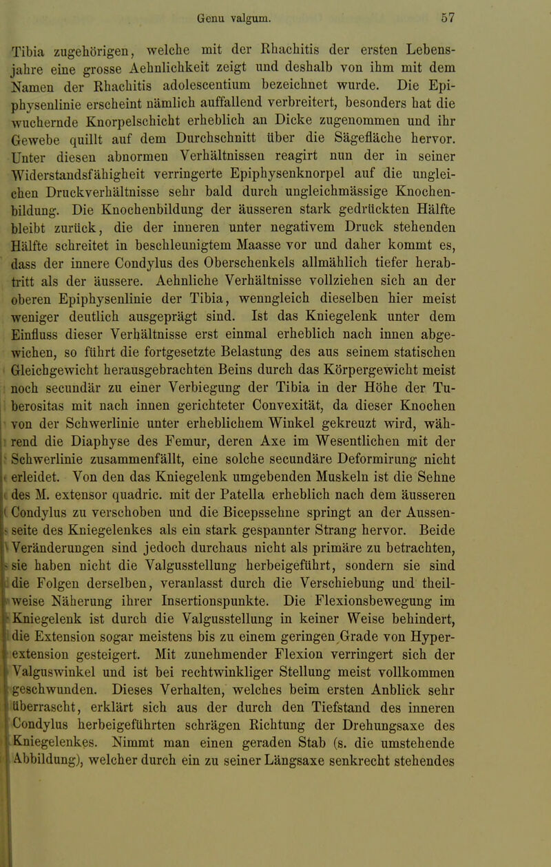 Tibia zugehörigen, welche mit der Rhachitis der ersten Lebens- jahre eine grosse Aehnlichkeit zeigt und deshalb von ihm mit dem Namen der Rhachitis adolescentium bezeichnet wurde. Die Epi- physenlinie erscheint nämlich auffallend verbreitert, besonders hat die wuchernde Knorpelschicht erheblich an Dicke zugenommen und ihr Gewebe quillt auf dem Durchschnitt über die Sägefläche hervor. Unter diesen abnormen Verhältnissen reagirt nun der in seiner Widerstandsfähigheit verringerte Epiphysenknorpel auf die unglei- chen Druckverhältnisse sehr bald durch ungleichmässige Knochen- bildung. Die Knochenbildung der äusseren stark gedrückten Hälfte bleibt zurück, die der inneren unter negativem Druck stehenden Hälfte schreitet in beschleunigtem Maasse vor und daher kommt es, dass der innere Condylus des Oberschenkels allmählich tiefer herab- tritt als der äussere. Aehnliche Verhältnisse vollziehen sich an der oberen Epiphysenlinie der Tibia, wenngleich dieselben hier meist weniger deutlich ausgeprägt sind. Ist das Kniegelenk unter dem Einfluss dieser Verhältnisse erst einmal erheblich nach innen abge- wichen, so führt die fortgesetzte Belastung des aus seinem statischen Gleichgewicht herausgebrachten Beins durch das Körpergewicht meist noch secundär zu einer Verbiegung der Tibia in der Höhe der Tu- berositas mit nach innen gerichteter Convexität, da dieser Knochen von der Schwerlinie unter erheblichem Winkel gekreuzt wird, wäh- rend die Diaphyse des Femur, deren Axe im Wesentlichen mit der Schwerlinie zusammenfällt, eine solche secundäre Deformirung nicht • erleidet. Von den das Kniegelenk umgebenden Muskeln ist die Sehne ( des M. extensor quadric. mit der Patella erheblich nach dem äusseren i Condylus zu verschoben und die Bicepssehne springt an der Aussen- i seite des Kniegelenkes als ein stark gespannter Strang hervor. Beide I Veränderungen sind jedoch durchaus nicht als primäre zu betrachten, sie haben nicht die Valgusstellung herbeigeführt, sondern sie sind die Folgen derselben, veranlasst durch die Verschiebung und theil- weise Näherung ihrer Insertionspunkte. Die Flexionsbewegung im Kniegelenk ist durch die Valgusstellung in keiner Weise behindert, die Extension sogar meistens bis zu einem geringen Grade von Hyper- extension gesteigert. Mit zunehmender Flexion verringert sich der Valguswinkel und ist bei rechtwinkliger Stellung meist vollkommen eschwunden. Dieses Verhalten, welches beim ersten Anblick sehr berrascht, erklärt sich aus der durch den Tiefstand des inneren ondylus herbeigeführten schrägen Richtung der Drehungsaxe des niegelenkes. Nimmt man einen geraden Stab (s. die umstehende Abbildung), welcher durch ein zu seiner Längsaxe senkrecht stehendes