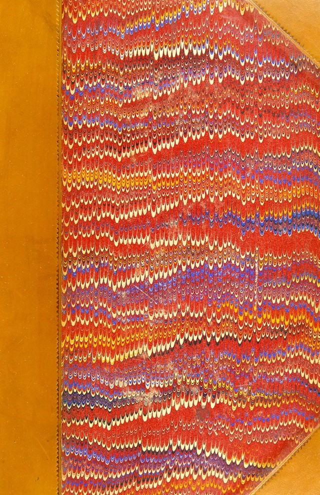 No text description is available for this image