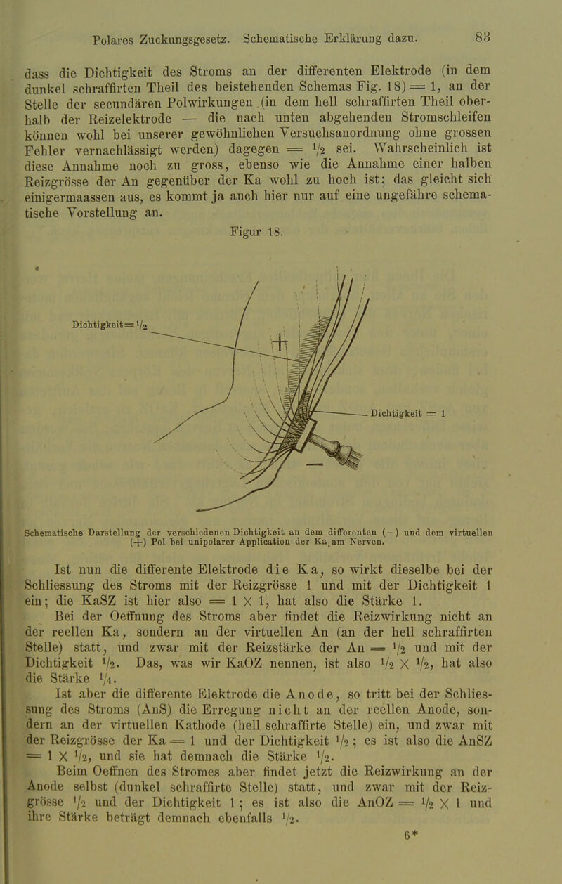 Polares Zuckungsgesetz. Schematische Erklärung dazu. dass die Dichtigkeit des Stroms an der differenten Elektrode (in dem dunkel schraffirten Theil des beistehenden Schemas Fig. 18)= 1, an der Stelle der secundären Polwirkungen (in dem hell schraffirten Theil ober- halb der Reizelektrode — die nach unten abgehenden Stromschleifen können wohl bei unserer gewöhnlichen Versuchsanordnung ohne grossen Fehler vernachlässigt werden) dagegen ===== 1/2 sei. Wahrscheinlich ist diese Annahme noch zu gross, ebenso wie die Annahme einer halben Reizgrösse der An gegenüber der Ka wohl zu hoch ist; das gleicht sich einigermaassen aus, es kommt ja auch hier nur auf eine ungefähre schema- tische Vorstellung an. Figur 18. * Dichtigkeit= V2 Schematische Darstellung der verschiedenen Dichtigkeit an dem differenten ( —) und dem virtuellen (+) Pol bei unipolarer Application der Ka.am Nerven. Ist nun die differente Elektrode die Ka, so wirkt dieselbe bei der Schliessung des Stroms mit der Reizgrösse 1 und mit der Dichtigkeit 1 ein; die KaSZ ist hier also ==1X1, hat also die Stärke 1. Bei der Oeffnung des Stroms aber findet die Reizwirkung nicht an der reellen Ka, sondern an der virtuellen An (an der hell schraffirten Stelle) statt, und zwar mit der Reizstärke der An ==» V2 und mit der Dichtigkeit 72« Das, was wir KaOZ nennen, ist also lk X na^ also die Stärke l/4- Ist aber die differente Elektrode die Anode, so tritt bei der Schlies- sung des Stroms (AnS) die Erregung nicht an der reellen Anode, son- dern an der virtuellen Kathode (hell schraffirte Stelle) ein, und zwar mit der Reizgrösse der Ka •= 1 und der Dichtigkeit {ji; es ist also die AnSZ = 1 X !/2> und sie hat demnach die Stärke 1/2. Beim Oeffnen des Stromes aber findet jetzt die Reizwirkung an der Anode selbst (dunkel schraffirte Stelle) statt, und zwar mit der Reiz- grösse '/2 und der Dichtigkeit 1 ; es ist also die AnOZ = i/2 X l und ihre Stärke beträgt demnach ebenfalls 6*