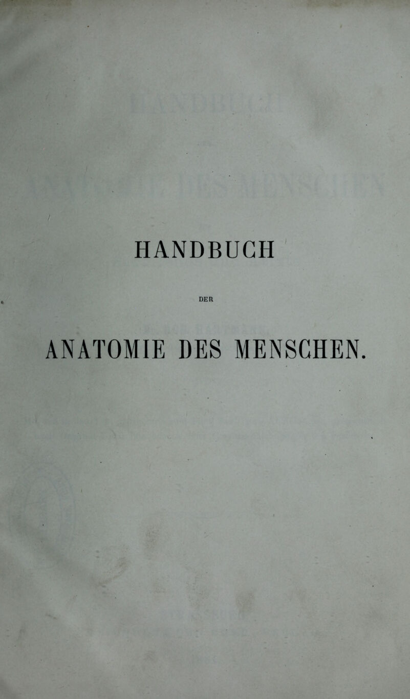 HANDBUCH DER ANATOMIE DES MENSCHEN.