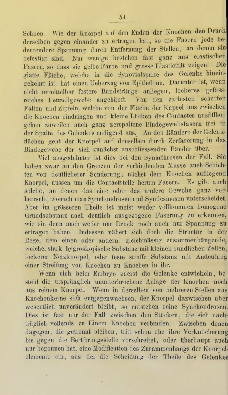 Sehnen. Wie der Knorpel auf den Enden der Knochen den Druck derselben gegen einander zu ertragen hat, so die Fasern jede be- deutendere Spannung durch Entfernung der Stellen, an denen sie befestigt sind. Nur wenige bestehen fast ganz aus elastischen Fasern, so dass sie gelbe Farbe und grosse Elasticität zeigen. Die glatte Fläche, welche in die Synovialspalte des Gelenks hinein- gekehrt ist, hat einen Ueberzug von Epitheliuni. Darunter ist, wenn nicht unmittelbar festere Bandstränge anliegen, lockeres gefäss- reiches Fettzellgewebe angehäuft. Von den zartesten scharfen Falten und Zipfeln, welche von der Fläche der Kapsel aus zwischen die Knochen eindringen und kleine Lücken des Contactes ausfüllen, gehen zuweilen auch ganz zcrspaltene Bindegewebsfasern frei in der Spalte des Gelenkes endigend aus. An den Rändern der Gelenk- flächen geht der Knorpel auf denselben durch Zerfaserung in das Bindegewebe der sich zunächst anschliessenden Bänder über. Viel ausgedehnter ist dies bei den Synarthrosen der Fall. Sie haben zwar an den Grenzen der verbindenden Masse auch Schich- ten von deutlicherer Sonderung, nächst dem Knochen aufliegend Knorpel, aussen um die Contactstelle herum Fasern. Es gibt auch solche, an denen das eine oder das andere Gewebe ganz vor- herrscht, wonach manSynchondrosen und Syndesmosen unterscheidet. Aber im grösseren Theile ist meist weder vollkommen homogene Grundsubstanz nach deutlich ausgezogene Faserung zu erkennen, wie sie denn auch weder nur Druck noch auch nur Spannung zu ertragen haben. Indessen nähert sich doch die Structur in der Regel dem einen oder andern, gleichmässig zusammenhängende, weiche, stark hygroskopische Substanz mit kleinen rundlichen Zellen, lockerer Netzknorpel, oder feste strafi'e Substanz mit Andeutung einer Streifung von Knochen zu Knochen in ihr. Wenn sich beim Embryo zuerst die Gelenke entwickeln, be- steht die ursprünglich ununterbrochene Anlage der Knochen noch aus reinem Knorpel. Wenn in derselben von mehreren Stellen aus Knochenkerne sich entgegenwachsen, der Knorpel dazwischen aber wesentlich unverändert bleibt, so entstehen reine Synchondrosen. Dies ist fast nur der Fall zwischen den Stücken, die sich nach- träglich vollends zu Einem Knochen verbinden. Zwischen denen dagegen, die getrennt bleiben, tritt schon ehe ihre Verknöcherung bis gegen die Berührungsstelle vorschreitet, oder überhaupt auch nur begonnen hat, eine Modification des Zusammenhangs der Knorpel- elemente ein, aus der die Scheidung der Theile des Gelenkes