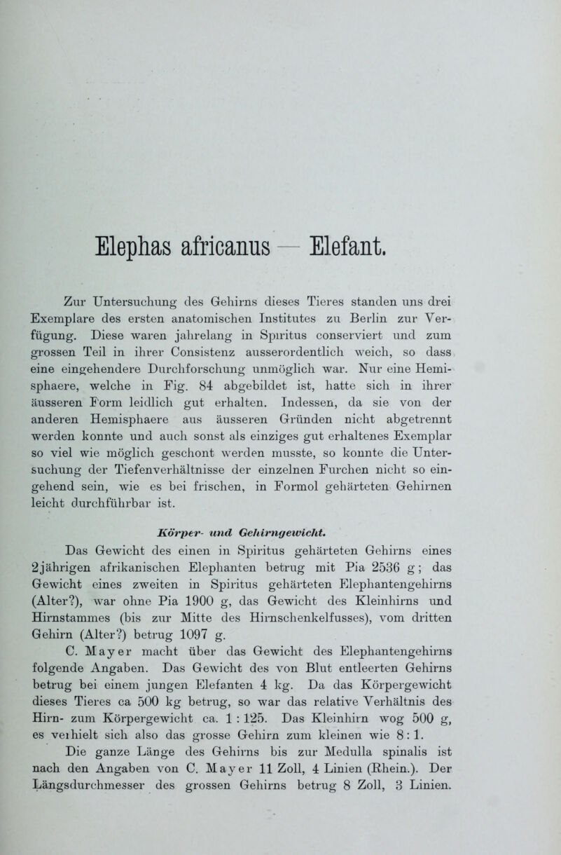 Elephas africanus — Elefant. Zur Untersuchung des Gehirns dieses Tieres standen uns drei Exemplare des ersten anatomischen Institutes zu Berlin zur Ver- fügung. Diese waren jahrelang in Spiritus conserviert und zum grossen Teil in ihrer Consistenz ausserordentlich weich, so dass. eine einj^ehendere Durchforschung unmöglich war. Nur eine Hemi- sphaere, welche in Fig. 84 abgebildet ist, hatte sich in ihrer äusseren Form leidlich gut erhalten. Indessen, da sie von der anderen Hemisphaere aus äusseren Gründen nicht abgetrennt werden konnte und auch sonst als einziges gut erhaltenes Exemplar so viel wie möglich geschont werden musste, so konnte die Unter- suchung der Tiefenverhältnisse der einzelnen Furchen nicht so ein- gehend sein, wie es bei frischen, in Formol gehärteten Gehirnen leicht durchführbar ist. Körper- und Gehirngewicht* Das Gewicht des einen in Spiritus gehärteten Gehirns eines 2jährigen afrikanischen Elephanten betrug mit Pia 2536 g; das Gewicht eines zweiten in Spiritus gehärteten Elephantengehirns (Alter?), war ohne Pia 1900 g, das Gewicht des Kleinhirns und Hirnstammes (bis zur Mitte des Hirnschenkelfusses), vom dritten Gehirn (Alter?) betrug 1097 g. C. Mayer macht über das Gewicht des Elephantengehirns folgende Angaben. Das Gewicht des von Blut entleerten Gehirns betrug bei einem jungen Elefanten 4 kg. Da das Körpergewicht dieses Tieres ca 500 kg betrug, so war das relative Verhältnis des Hirn- zum Körpergewicht ca. 1 : 125. Das Kleinhirn wog 500 g, es vei hielt sich also das grosse Gehirn zum kleinen wie 8:1. Die ganze Länge des Gehirns bis zur Medulla spinalis ist nach den Angaben von C. Mayer 11 Zoll, 4 Linien (Rhein.). Der