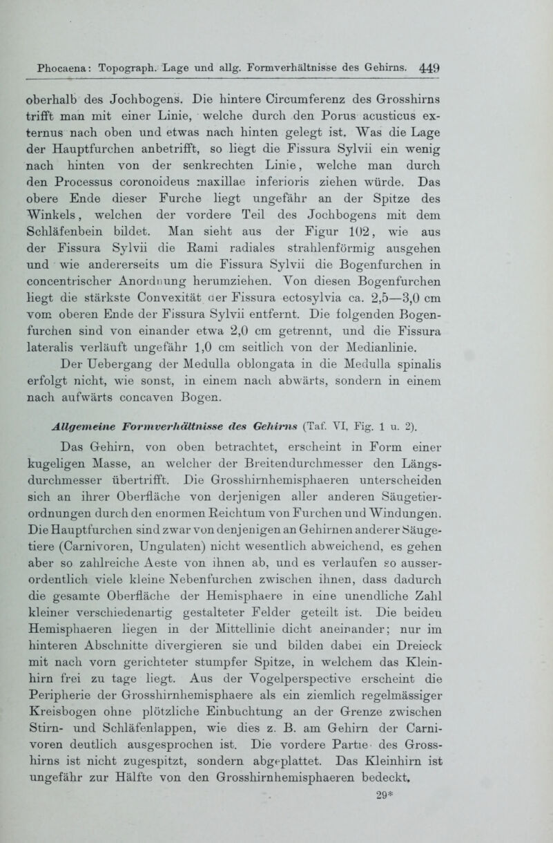 oberhalb des Jochbogens. Die hintere Circumferenz des Grosshirns trifft man mit einer Linie, welche durch den Poms acusticus ex- ternus nach oben und etwas nach hinten gelegt ist. Was die Lage der Hauptfurchen anbetrifft, so liegt die Fissura Sylvii ein wenig nach hinten von der senkrechten Linie, welche man durch den Processus coronoideus maxillae inferioris ziehen würde. Das obere Ende dieser Furche liegt ungefähr an der Spitze des Winkels, welchen der vordere Teil des Jochbogens mit dem Schläfenbein bildet. Man sieht aus der Figur 102, wie aus der Fissura Sylvii die Rami radiales strahlenförmig ausgehen und wie andererseits um die Fissura Sylvii die Bogenfurchen in concentrischer Anordnung herumzielien. Von diesen Bogenfurchen liegt die stärkste Convexität oer Fissura ectosylvia ca. 2,5—3,0 cm vom oberen Ende der Fissura S^dvii entfernt. Die folgenden Bogen- furchen sind von einander etwa 2,0 cm getrennt, und die Fissura lateralis verläuft ungefähr 1,0 cm seitlich von der Medianlinie. Der Uebergang der Medulla oblongata in die MeduUa spinahs erfolgt nicht, wie sonst, in einem nach abwärts, sondern in einem nach aufwärts concaven Bogen. Allgemeine Formverhältnisse des Gehit^is (Taf. VI, Fig. 1 u. 2). Das Grehirn, von oben betrachtet, erscheint in Form einer kugeligen Masse, an welcher der Breitendurchmesser den Längs- durchmesser übertrifft. Die Grosshirnhemisphaeren unterscheiden sich an ihrer Oberfläche von derjenigen aller anderen Säugetier- ordnungen durch den enormen B;eichtum von Furchen und Windungen. Die Hauptfurchen sind zwar von denjenigen an Gehirnen anderer Säuge- tiere (Carnivoren, Ungulaten) nicht wesentlich abweichend, es gehen aber so zahlreiche Aeste von ihnen ab, und es verlaufen so ausser- ordentlich viele kleine Nebenfurchen zwischen ihnen, dass dadurch die gesamte Oberfläche der Hemisphaere in eine unendliche Zahl kleiner verschiedenartig gestalteter Felder geteilt ist. Die beiden Hemisphaeren liegen in der Mittellinie dicht aneinander; nur im hinteren Abschnitte divergieren sie und bilden dabei ein Dreieck mit nach vorn gerichteter stumpfer Spitze, in welchem das Klein- hirn frei zu tage liegt. Aus der Yogelperspective erscheint die Peripherie der Grosshirnhemisphaere als ein ziemlich regelmässiger Kreisbogen ohne plötzliche Einbuchtung an der Grenze zwischen Stirn- und Schläfenlappen, wie dies z. B. am Gehirn der Carni- voren deutlich ausgesprochen ist. Die vordere Partie- des Gross- hirns ist nicht zugespitzt, sondern abgeplattet. Das Kleinhirn ist ungefähr zur Hälfte von den Grosshirnhemisphaeren bedeckt. 29*