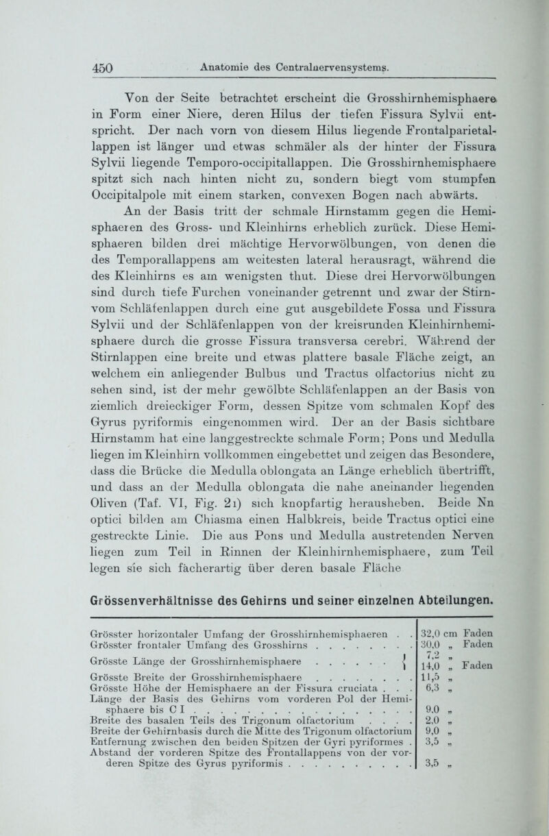 Von der Seite betrachtet erscheint die Grosshirnhemisphaere. in Form einer Niere, deren Hilus der tiefen Fissura Sylvii ent- spricht. Der nach vorn von diesem Hilus Hegende Frontalparietal- lappen ist länger und etwas schmäler als der hinter der Fissura Sylvii liegende Temporo-occipitallappen. Die Grosshirnhemisphaere spitzt sich nach hinten nicht zu, sondern biegt vom stumpfen Occipitalpole mit einem starken, convexen Bogen nach abwärts. An der Basis tritt der schmale Hirnstamm gegen die Hemi- sphaeren des Gross- und Kleinhirns erheblich zurück. Diese Hemi- sphaeren bilden drei mächtige Hervorwölbungen, von denen die des Temporallappens am weitesten lateral herausragt, während die des Kleinhirns es am wenigsten thut. Diese drei Hervorwölbungen sind durch tiefe Furchen voneinander getrennt und zwar der Stirn- vom Schläfenlap23en durch eine gut ausgebildete Fossa und Fissura Sylvii und der Schläfenlappen von der kreisrunden Kleinhirnhemi- sphaere durch die grosse Fissura transversa cerebri. Während der StirnlajDpen eine breite und etwas plattere basale Fläche zeigt, an welchem ein anliegender Bulbus und Tractus olfactorius nicht zu sehen sind, ist der mehr gewölbte Schläfenlappen an der Basis von ziemlich dreieckiger Form, dessen Spitze vom schmalen Kopf des Gyrus pyriformis eingenommen wird. Der an der Basis sichtbare Hirnstamm hat eine langgestreckte schmale Form; Pons und Medulla liegen im Kleinhirn vollkommen eingebettet und zeigen das Besondere, dass die Brücke die Medulla oblongata an Länge erheblich übertrifft, und dass an der Medulla oblongata die nahe aneinander liegenden Oliven (Taf. Yl, Fig. 2i) sich knöpf artig herausheben. Beide Nn optici bilden am Chiasma einen Halbkreis, beide Tractus optici eine gestreckte Linie. Die aus Pons und Medulla austretenden Nerven liegen zum Teil in Rinnen der Kleinhirnhemisphaere, zum Teil legen sie sich fächerartig über deren basale Fläche Grössenverhältnisse des Gehirns und seiner einzelnen Abteilung-en. Grösster horizontaler Umfang der Grosshirnhemisphaer Grösster frontaler Umfang- des Grosshirns Grösste Länge der Grosshirnhemisphaere ^ Grösste Breite der Grosshirnhemisphaere Grösste Höhe der Hemisphaere an der Fissura cruciata . . . Länge der Basis des Gehirns vom vorderen Pol der Hemi- sphaere bis Gl Breite des basalen Teils des Trigonum olfactorium . . . . Breite der Gehirnbasis durch die Mitte des Trigonum olfactorium Entfernung zwischen den beiden Spitzen der G3^ri pyriformes . Abstand der vorderen Spitze des Frontallappens von der vor- deren Spitze des Gjras pyriformis 32,0 cm Faden 30,0 „ Faden 7.2 „ 14,0 „ Faden 11,5 „ 6.3 „ 9.0 2,0 9,0 3,5 3,5