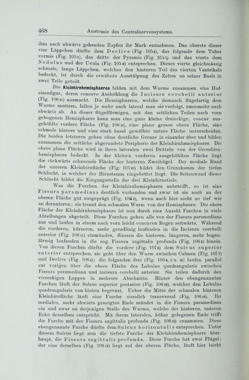 ihm nach abwärls gehenden Zapfen ihr Mark entnehmen. Das oberste dieser vier Läppchen dürfte dem Declive (Fig. 1054), das folgende dem Tuber vermis (Fig. 1055), das dritte der Pyramis (Fig. 105 und das vierte dem Nodulus und der Uvula (Fig. 1058) entsprechen. Dieses vierte gleichmässig schmale, lange Läppchen, welches den hinteren Teil des vierten Ventrikels bedeckt, ist durch die erwähnte Ausstülpung des Zeltes an seiner Basis in zwei Teile geteilt. Die Kleinhirnhemisphaeren bilden mit dem Wurme zusammen eine Huf- eisenfigur, deren concave Aushöhlung die Incisura cerebelli anterior (Fig. 10611) ausmacht. Die Hemisphaeren, welche demnach flügelartig dem Wurme ansitzen, fallen je mehr nach lateral man sie verfolgt, umsomehr nach abwärts ab. An dieser flügeiförmigen, mit den seitlichen Teilen nach vorn gebogenen Hemisphaere kann man eine ganz kleine dreieckige, concav aus- gehöhlte vordere Fläche (Fig. 106 lo), eine plane grosse obere Fläche, eine schmale hintere und eine stark basal gewölbte untere Fläche unterscheiden. Die beiden letzteren gehen ohne deutliche Grenze in einander über und bilden zusammen die seitliche abgerundete Peripherie der Kleinhirnhemisphaere. Die obere plane Fläche wird in ihren lateralen zwei Dritteln von der Grosshirn- hemisphaere bedeckt. In der kleinen vorderen ausgehöhlten Fläche liegt die rückwärts schauende Fläche der hinteren Zweihügel. Der mediale Eand der unteren Kleinhirnfläche (Fig. 105 lo) bildet den Grenzkamm der tiefen Schlucht, in welcher der Hirnstamm eingebettet liegt. Die Seitenwand dieser Schlucht bildet die Eingangsstelle der drei Kleinhirnstiele. Was die Furchen der Kleinhirnhemisphaere anbetrifft, so ist eine Fissura paramediana deutlich vorhanden und zwar ist sie auch an der oberen Fläche gut ausgeprägt (Fig. 106 3), wenn auch hier nicht so tief wie an derunteren ; sie trennt den schmalen Wurm von der Hemisphaere. Die obere Fläche der Kleinhirnhemisphaere ist nun durch eine Anzahl Furchen in viele Abteilungen abgeteilt. Diese Furchen gehen alle von der Fissura paramediana aus und laufen in einem nach vorn leicht concaven Bogen seitwärts. Während die vorderen, kürzeren, mehr geradlinig laufenden in die Incisura cerebefli anterior (Fig. 106 ii) einmünden, fliessen die hinteren, längeren, mehr bogen- förmig laufenden in die sog. Fissura sagittalis profunda (Fig. 1063) hinein. Von diesen Furchen dürfte die vordere (Fig. 1078) dem Sulcus superior anterior entsprechen, sie geht über den Wurm zwischen Culmen (Fig. 107?) und Declive (Fig. IO64); die folgenden drei (Fig. 1066, 5 u. 20) laufen parallel zur vorigen über die obere Fläche des Lobulus quadrangularis zwischen Fissura paramediana und incisura cerebelli anterior. Sie teilen dadurch den viereckigen Lappen in mehrere Abschnitte. Hinter den ebengenannten Furchen läuft der Sulcus superior posterior (Fig. 10619), welcher den Lobulus quadrangularis von hinten begrenzt. Ueber die Mitte der schmalen hinteren Kleinhirnfläche läuft eine Furche ziemlich transversal (Fig. 10618). Ihr mediales, mehr abwärts geneigtes Ende mündet in die Fissura paramediana ein und zwar an derjenigen Stelle des Wurms, welche der hinteren, unteren Ecke desselben entspricht. Mit ihrem lateralen, höher gelegenen Ende trifft die Furche mit der Fissura sagittalis profunda (Fig. 10613) zusammen. Diese ebengenannte Furche dürfte demSulcus horizonta 1 i s entsprechen. Unter diesem Sulcus liegt nun die tiefste Furche der Kleinhirnhemisphaere über- haupt, die Fissura sagittalis profunda. Diese Furche hat zwei Flügel; der eine derselben (Fig. 106)3) liegt auf der oberen Fläche, läuft hier leicht