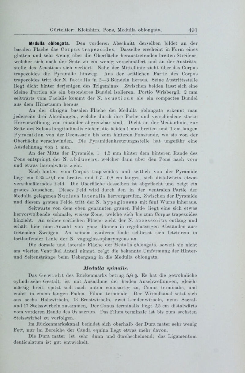 Medulla oblongata. Den vorderen Abschnitt derselben bildet an der basalen Fläche das Corpus trapezoides. Dasselbe erscheint in Form eines glatten und sehr wenig über die Oberfläche heraustretenden breiten Streifens, welcher sich nach der Seite zu ein wenig verschmälert und an der Austritts- stelle des Acusticus sich verliert. Nahe der Mittellinie zieht über das Corpus trapezoides die Pyramide hinweg. Aus der seitlichen Partie des Corpus trapezoides tritt der N. facialis in 2—3 Bündeln heraus. Seine Austrittsstelle liegt dicht hinter derjenigen des Trigeminus. Zwischen beiden lässt sich eine kleine Portion als ein besonderes Bündel isolieren, Portio Wrisbergii, 2 mm seitwärts vom Facialis kommt der N. acusticus als ein compactes Bündel aus dem Hirnstamm heraus. An der übrigen basalen Fläche der Medulla oblongata erkennt man jederseits drei Abteilungen, welche durch ihre Farbe und verschiedene starke Hervorwölbung von einander abgrenzbar sind. Dicht an der Medianlinie, zur Seite des Sulcus longitudinalis ziehen die beiden 1 mm breiten und 1 cm langen Pyramiden von der Decussatio bis zum hinteren Ponsrande. wo sie von der Oberfläche verschwinden. Die Pyramidenkreuzungsstelle hat ungefähr eine Ausdehnung von 1 mm. An der Mitte der Pyramide, 1 — 1,5 mm hinter dem hinteren Eande des Pons entspringt der N. abducens. welcher dann über den Pons nach vorn und etwas lateralwärts zieht. Nach hinten vom Corpus trapezoides und seitlich von der Pyramide liegt ein 0,35—0,4 cm breites und 0,7—0,8 cm langes, sich distalwärts etwas verschmälerndes Feld. Die Oberfläche desselben ist abgeflacht und zeigt ein graues Aussehen. Dieses Feld wird durch den in der ventralen Partie der Medulla gelegenen NucleUS lateralis hervorgerufen. Zwischen der Pyramide und diesem grauen Felde tritt der N. h3^poglossus mit fünf Würze Inheraus. Seitwärts von dem eben genannten grauen Felde liegt eine sich etwas hervorwölbende schmale, weisse Zone, welche sich bis zum Corpus trapezoides hinzieht. An seiner seitlichen Fläche zieht der N. accessorius entlang und erhält hier eine Anzahl von ganz dünnen in regelmässigen Abständen aus- tretenden Zweigen. An seinem vorderen Ende schliesst sich letzterem in fortlaufender Linie der N. vagoglossopharyngeus an. Die dorsale und laterale Fläche der Medulla oblongata, soweit sie nicht am vierten Ventrikel Anteil nimmt, ze'gt die bekannte Umformun: der Hinter- und Seitenstränge beim Uebergang in die Medulla oblongata. Medulla sjnnalis. Das Grewicht des Rückenmarks betrug 5,6 g. Es hat die gewöhnliche cylindrische Gestalt, ist mit Ausnahme der beiden Anschwellungen, gleich- mässig breit, spitzt sich nach unten conusartig zu, Conus terminalis, und endet in einem langen Faden, Eilum terminale. Der Wirbelkanal setzt sich aus sechs Halswirbeln, 13 Brustwirbeln, zwei Lendenwirbeln, neun Sacral- und 17 Steisswirbeln zusammen. Der Conus terminalis liegt 2,5 cm distalwärts vom vorderen Rande des Os sacrum. Das Eilum terminale ist bis zum sechsten Steisswirbel zu verfolgen. Im Rückenmarkskanal befindet sich oberhalb der Dura mater sehr wenig Fett, nur im Bereiche der Cauda equina liegt etwas mehr davon. Die Dura mater ist sehr dünn und durchscheinend; das Ligamentum denticulatum ist gut entwickelt.