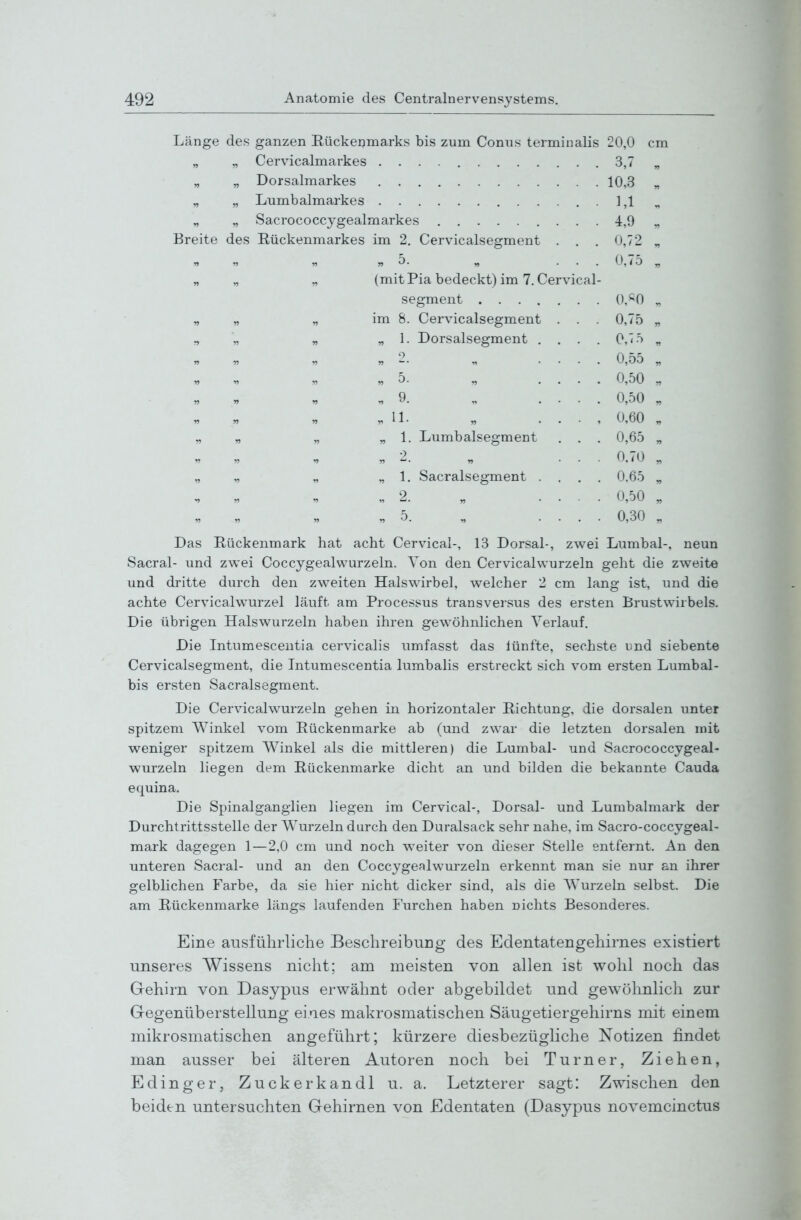 Länge des ganzen Eückenmarks bis zum Conus terminalis 20,0 cm Cervicalmarkes 3,7 ■n Dorsalmarkes 10,3 Lumbaimarkes 1,1 Sacrococcygealmarkes 4,9 Breite des Rückenmarkes im 2. Cervicalsegment . . . 0,72 „5. „ . . . 0,75 (mit Ria bedeckt) im 7. Cervical- 0,^0 im 8. Cervicalsegment . . . 0,75 ry „ 1. Dorsalsegment , . . . 0,75 n » M . . . . 0,55 r> » «5. „ . . . . 0 SO r> V .9. „ . . . . 0,50 r> .IL „ . . . , 0,60 V n v> „ L Lumbaisegment , . . 0,65 n •o w r . . . 0.70 r> » •n „ L Sacralsegment . . . . 0,65 y> „2. „ . . . . 0,50 .5. „ . . . . 0,30 w Das Rückenmark hat acht Cervical-, 13 Dorsal-, zwei Lumb al-, neun Sacral- und zwei Coccygealwurzeln. Von den Cervicalwurzeln geht die zweite und dritte durch den zweiten Haiswirbel, welcher 2 cm lang ist, und die achte Cervicalw^urzel läuft am Processus transversus des ersten Brustwirbels. Die übrigen Halswurzeln haben ihren gewöhnlichen Verlauf. Die Intumesceiitia cervicalis umfasst das lünfte, sechste und siebente Cervicalsegment, die Intumescentia lumbalis erstreckt sich vom ersten Lumbal- bis ersten Sacralsegment. Die Cervicalwurzeln gehen in horizontaler Richtung, die dorsalen unter spitzem Winkel vom Rückenmarke ab (und zwar die letzten dorsalen mit weniger spitzem Winkel als die mittleren) die Lumbal- und Sacrococcygeal- wurzeln liegen dem Rückenmarke dicht an und bilden die bekannte Cauda equina. Die Spinalganglien liegen im Cervical-, Dorsal- und Lumbaimark der Durchtrittsstelle der Wurzeln durch den Duralsack sehr nahe, im Sacro-coccygeal- mark dagegen 1—2,0 cm und noch weiter von dieser Stelle entfernt. An den unteren Sacral- und an den Coccygealwurzeln erkennt man sie nur an ihrer gelblichen Farbe, da sie hier nicht dicker sind, als die Wurzeln selbst. Die am Rückenmarke längs laufenden Furchen haben nichts Besonderes. Eine ausfülirliche Beschreibung des Eclentatengehirnes existiert unseres Wissens nicht; am meisten von allen ist wohl noch das Gehirn von Dasypus erwähnt oder abgebildet und gewöhnlich zur Gegenüberstellung eines makrosmatischen Säugetiergehirns mit einem mikrosmatischen angeführt; kürzere diesbezügliche Notizen findet man ausser bei älteren Autoren noch bei Turner, Ziehen, Edinger, Zuckerkandl u. a. Letzterer sagt: Zwischen den beiden untersuchten Gehirnen von Edentaten (Dasypus novemcinctus