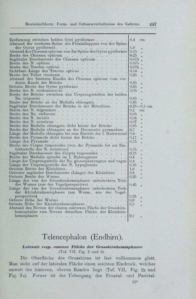 Entfernung zwischen beiden Gyri pyriformes Abstand der vorderen Spitze des Frontallappens von der Spitze des Gyrus pyriformis A-bstand des Chiasma opticum von der Spitze des Gyrus pyriformis Breite des Chiasma opticum Sagittaler Durchmesser des Chiasma opticum Breite des N. opticus Breite des Tractus opticus Sichtbare Länge des Tractus opticus Breite des Tuber cinereum Abstand des hinteren Eandes des Chiasma opticum vom vor- deren Bande der Brücke Grösste Breite des Gyrus pyriformis Breite des N. oculomotorius Breite der Brücke zwischen den Ursprungsstellen der beiden Nn. trigemini Breite der Brücke an der Medulla oblongata . . . Sagittaler Durchmesser der Brücke in der Mittellinie Breite des N. trigeminus Breite des Nn. abducens Breite des N. facialis , Breite des N. acusticus . . . . , Breite der Medulla oblongata dicht hinter der Brücke . . . Breite der Medulla oblongata an der Decussatio pyramidum , Länge der Medulla oblongata bis zum Eintritt der I. Halswurzel Breite der Pyramide dicht hinter der Brücke Länge der P^Tamide Breite des Corpus trapezoides (von der Pyramide bis zur Ein- trittsstelle des N. acusticus) Sagittaler Durchmesser des Corpus trapezoides Breite der Medulla spinalis im I. Halssegment Länge der Ursprungsstelle der Nn. glossopharyngeus und vagus Länge der Ursprungsstelle des N. hypoglossus Grösste Breite des Kleinhirns . . Grösster sagittaler Durchmesser (Länge) des Kleinhirns . . Grösste Breite des Wurms Länge des von der Grosshirnhemisphaere unbedeckten Teils des Wurms (aus der Vogelperspective) Länge des von der Grosshirnhemisphaere unbedeckten Teils der Kleinhirnhemisphaere (am Wurm, aus der Vogel- perspective) Grösste Höhe des Wurms Grösste Höhe der Kleinhirnhemisphaere Abstand des Niveau der oberen convexen Fläche der Grosshirn- hemisphaere vom Niveau derselben Fläche der Kleinhirn- hemisphaere 0,4 cm 1,0 „ 0,15 „ 0,25 „ 0,075 „ 0,075 „ 0,075 „ 0,14 „ 0,35 „ 0,35 „ 0,65 „ 0,05 „ 0,85 „ 0,95 „ 0,25—0,3 cm 0,1 cm 0,05 „ 0,06 „ 0,07 „ 0,95 „ 0,7 „ 0,9 „ 0,17 „ 0,75 „ 0,35 0,25 0,4 0,4 0,35 1,6 0,8 0,35 0,45 0,25 0,6 0,5 0,1 Telencephalon (Endhirn). Laterale resp. conveoce Fläche tler Grosshiimhemisphaere (Taf. VII, Fig. 2 und 3). Die Oberfläche des Grosshirns ist fast vollkommen glatt. Man sieht auf der lateralen Fläche einen seichten Eindruck, welcher unweit des hinteren, oberen Randes liegt (Taf. VII, Fig. 22 und Fig. 84). Ferner ist der Uebergang des Frontal- und Parietal- 32*