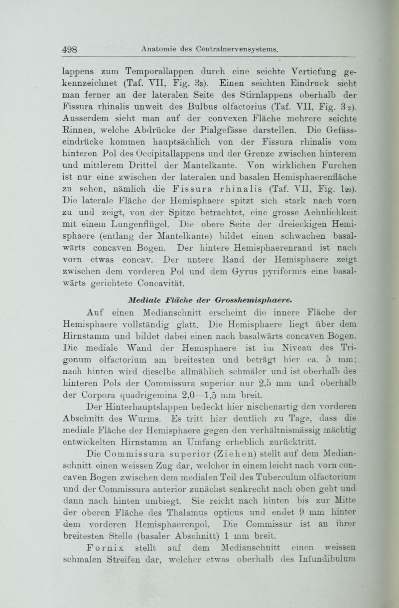 lappens zum Temporallappen durch eine seichte Vertiefung ge- kennzeichnet (Taf. YII, Fig. B3). Einen seichten Eindruck sieht man ferner an der lateralen Seite des Stirnlappens oberhalb der Fissura rhinalis unweit des Bulbus olfactorius (Taf. YII, Fig. 82). Ausserdem sieht man auf der convexen Fläche mehrere seichte E/inneu, welche Abdrücke der Pialgefässe darstellen. Die Gefäss- eindrücke kommen hauptsächlich von der Fissura rhinalis vom hinteren Pol des Occipitallappens und der Grenze zwischen hinterem und mittlerem Drittel der Mautelkante. Ton wirklichen Furchen ist nur eine zwischen der lateralen und basalen Hemisphaerenfläche zu sehen, nämlich die Fissura rhinalis (Taf. VII, Fig. I29). Die laterale Fläche der Hemisphaere spitzt sich stark nach vorn zu und zeigt, von der Spitze betrachtet, eine grosse Aehnlichkeit mit einem Lungenflügel. Die obere Seite der dreieckigen Hemi- sphaere (entlang der Mantelkante) bildet einen schwachen basal- wärts concaven Bogen. Der hintere Hemisphaerenrand ist nach vorn etwas concav. Der untere Eand der Hemisphaere zeigt zwischen dem vorderen Pol und dem Gyrus p^'riformis eine basal- wärts gerichtete Concavität. Mediale Fläche der Orosshemisiihaere, Auf einen Medianschnitt erscheint die innere Fläche der Hemisphaere vollständig glatt. Die Hemisphaere liegt über dem Hirnstamm und bildet dabei einen nach basalwärts concaven Bogen. Die mediale Wand der Hemisphaere ist im Niveau des Tri- gonum olfactorium am breitesten und beträgt hier ca. 5 mm; nach hinten wird dieselbe allmählich schmäler und ist oberhalb des hinteren Pols der Commissura superior nur 2,5 mm und oberhalb der Corpora quadrigemina 2,0—1,5 mm breit. Der Hinterhauptslappen bedeckt hier nischenartig den vorderen Abschnitt des Wurms. Es tritt hier deutlich zu Tage, dass die mediale Fläche der Hemisphaere gegen den verhältnismässig mächtig entwickelten Hirnstamm an Umfang erheblich zurücktritt. Die Commissura superior (Ziehen) stellt auf dem Median- schnitt einen weissen Zug dar, welcher in einem leicht nach A'orn con- caven Bogen zwischen dem medialen Teil des Tuberculum olfactorium und der Commissura anterior zunächst senkrecht nach oben geht und dann nach hinten umbiegt. Sie reicht nach hinten bis zur Mitte der oberen Fläche des Thalamus opticus und endet 9 mm hinter dem vorderen Hemisphaerenpol. Die Commissur ist an ihrer breitesten Stelle (basaler Abschnitt) 1 mm breit. Fornix stellt auf dem Mediansohnitt einen weissen schmalen Streifen dar, welcher etAvas oberhalb des Infundibulum