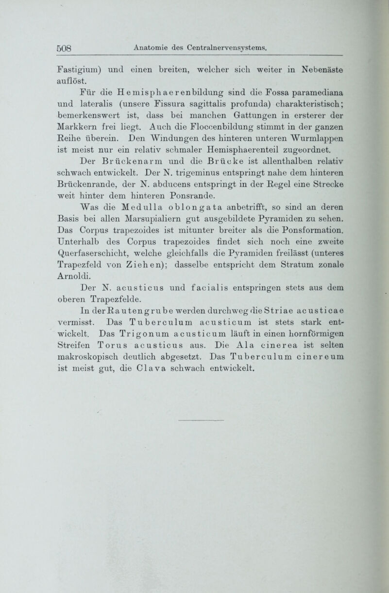 Fastigium) iind einen breiten, welcher sich weiter in Nebenäste auflöst. Für die Hemisphaerenbildung sind die Fossa paramediana und lateralis (unsere Fissura sagittalis profunda) charakteristisch; bemerkenswert ist, dass bei manchen Gattungen in ersterer der Markkern frei liegt. Auch die Floccenbildung stimmt in der ganzen Reihe überein. Den Windungen des hinteren unteren Wurmlappen ist meist nur ein relativ schmaler Hemisphaerenteil zugeordnet. Der Brückenarm und die Brücke ist allenthalben relativ schwach entwickelt. Der N. trigeminus entspringt nahe dem hinteren Brückenrande, der N. abducens entspringt in der Regel eine Strecke weit hinter dem hinteren Ponsrande. Was die Medulla oblongata anbetrifft, so sind an deren Basis bei allen Marsupialiern gut ausgebildete Pyramiden zu sehen. Das Corpus trapezoides ist mitunter breiter als die Ponsformation. Unterhalb des Corpus trapezoides findet sich noch eine zweite Querfaserschicht, welche gleichfalls die Pyramiden freilässt (unteres Trapezfeld von Ziehen); dasselbe entspricht dem Stratum zonale Arnoldi. Der N. acusticus und facialis entspringen stets aus dem oberen Trapezfelde. In derRautengrube werden durchweg die Striae ac usticae vermisst. Das Tuberculum acusticum ist stets stark ent- wickelt. Das Trigonum acusticum läuft in einen hornförmigen Streifen Torus acusticus aus. Die Ala cinerea ist selten makroskopisch deutlich abgesetzt. Das Tuberculum cinereum ist meist gut, die Clava schwach entwickelt.