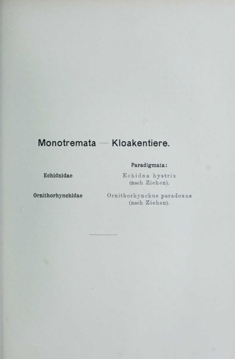 Monotremata — Kloakentiere. Paradigmata: Echidnidae Ecnidna hystrix (nach Ziehen). Ornithophynchidae Omithorhynchns paradoxus (nach Ziehen).