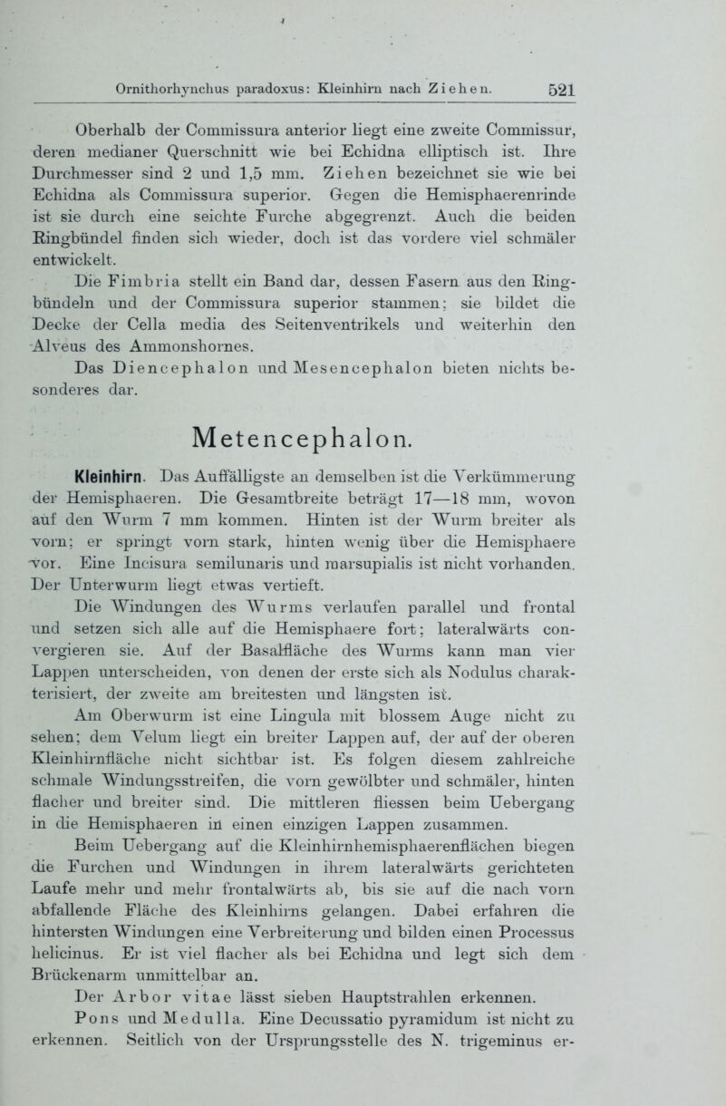 Oberhalb der Commissura anterior liegt eine zweite Commissur, deren medianer Querschnitt wie bei Echidna elliptisch ist. Ihre Durchmesser sind 2 und 1,5 mm. Ziehen bezeichnet sie wie bei Echidna als Commissura superior. Gegen die Hemisphaerenrinde ist sie durch eine seichte Furche abgegrenzt. Auch die beiden Ringbündel finden sich wieder, doch ist das vordere viel schmäler entwickelt. Die Fimbria stellt ein Band dar, dessen Fasern aus den Ring- bündeln und der Commissura superior stammen; sie bildet die Decke der Cella media des Seitenventrikels und weiterhin den Alveus des Ammonshornes. Das Diencephalon und Mesencephalon bieten nichts be- sonderes dar. Metencephalon. Kleinhirn. Das Auffälligste an demselben ist die Verkümmerung der Hemisphaeren. Die Gesamtbreite beträgt 17—18 mm, wovon auf den Wurm 7 mm kommen. Hinten ist der Wurm breiter als vorn; er springt vorn stark, hinten wenig über die Hemisphaere •vor. Eine Ineisura semilunaris und marsupialis ist nicht vorhanden. Der Unterwurm liegt etwas vertieft. Die Windungen des Wurms verlaufen parallel und frontal imd setzen sich alle auf die Hemisphaere fort; lateralwärts con- vergieren sie. Auf der Basalfläche des Wurms kann man vier Lappen unterscheiden, von denen der erste sich als Nodulus charak- terisiert, der zweite am breitesten und längsten ist. Am Oberwurm ist eine Lingula mit blossem Auge nicht zu sehen; dem Yelum liegt ein breiter Lappen auf, der auf der oberen Kleinhirnfläche nicht sichtbar ist. Es folgen diesem zahlreiche schmale Windungsstreifen, die vorn gewölbter und schmäler, hinten flacher und breiter sind. Die mittleren fliessen beim Uebergang in die Hemisphaeren in einen einzigen Lappen zusammen. Beim Uebergang auf die Kleinhirnhemisphaerenflächen biegen die Furchen und Windungen in ihrem lateralwärts gerichteten Laufe mehr und mehr frontalwärts ab, bis sie auf die nach vorn abfallende Fläche des Kleinhirns gelangen. Dabei erfahren die hintersten Windungen eine Verbreiterung und bilden einen Processus helicinus. Er ist viel flacher als bei Echidna und legt sich dem Brückenarm unmittelbar an. Der Arbor vitae lässt sieben Hauptstrahlen erkennen. Pons und Medulla. Eine Decussatio pyramidum ist nicht zu erkennen. Seitlich von der Ursprungsstelle des N. trigeminus er-