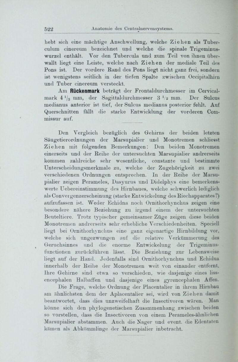 hebt sich eine mächtige Anschwellung, welche Ziehen als Tuber- culum cinereum bezeichnet und welche die spinale Trigeminus- wurzel enthält. Vor den Tubereula und zum Teil von ihnen über- wallt liegt eine Leiste, welche nach Ziehen der mediale Teil des Pons ist. Der vordere E-and des Pons liegt nicht ganz frei, sondern ist wenigstens seitlich in der tiefen Spalte zwischen Occipitalhirn und Tuber cinereum versteckt. Am Rückenmark beträgt der Frontaldurchmesser im Cervical- mark 4 mm, der Sagittaldurchmesser 3 ^ 2 mm. Der Sulcus medianus anterior ist tief, der Sulcus medianus posterior fehlt. Auf Querschnitten fällt die starke Entwicklung der vorderen Com- missur auf. Den Vergleich bezüglich des Gehirns der beiden letzten Säugetierordnungen der Marsupiali er imd Monotremen scliliesst Ziehen mit folgenden Bemerkungen: Den beiden Monotremen einerseits und der Reihe der untersuchten Marsupialier andrerseits kommen zahlreiche sehr wesentliche, constante und bestimmte Unterscheidungsmerkmale zu, welche der Zugehörigkeit zu zwei verschiedenen Ordnungen entsprechen. In der Reihe der Marsu- pialier zeigen Perameles, Dasyurus und Didelphys eine bemerkens- werte Uebereinstimmung des Hirnbaues, welche schwerhch lediglich als Convergenzerscheinung (starke Entwickelung des Riechapparates?) aufzufassen ist. Weder Echidna noch Oinithorhynchus zeigen eine besondere nähere Beziehung; zu irgend einem der untersuchten Beuteltiere. Trotz t^qäscher gemeinsamer Züge zeigen diese beiden Monotremen andrerseits sehr erhebliche Verschiedenheiten. Speciell liegt bei Ornithorhynchus eine ganz eigenartige Hirnbildung vor, welche sich ungezwungen auf die relative Verkümmerung des Geruchsinnes und die enorme Entwickelung der Trigeminus- functionen zurückführen lässt. Die Beziehung zur Lebensweise liegt auf der Hand. Jedenfalls sind Ornithorhynchus und Echidua innerhalb der Reihe der Monotremen weit von einander entfernt. Ihre Gehirne sind etwa so verschieden, wie dasjenige eines liss- encephalen Halbaffen und dasjenige eines gyrencephalen Affen. Die Frage, welche Ordnung der Placentaüer in ihrem Hirnbau am ähnlichsten dem der Aplacentalier sei, wird von Ziehen damit beantwortet, dass dies unzweifelhaft die Insectivoren wären. Man könne sich den phylogenetischen Zusammenhang zwischen beiden so vorstellen, dass die Insectivoren von einem Perameles-ähnlirhen Marsupialier abstammen. Auch die Nager und event. die Edentaten kämen als Abkömmlinge der Marsupialier inbetracht.
