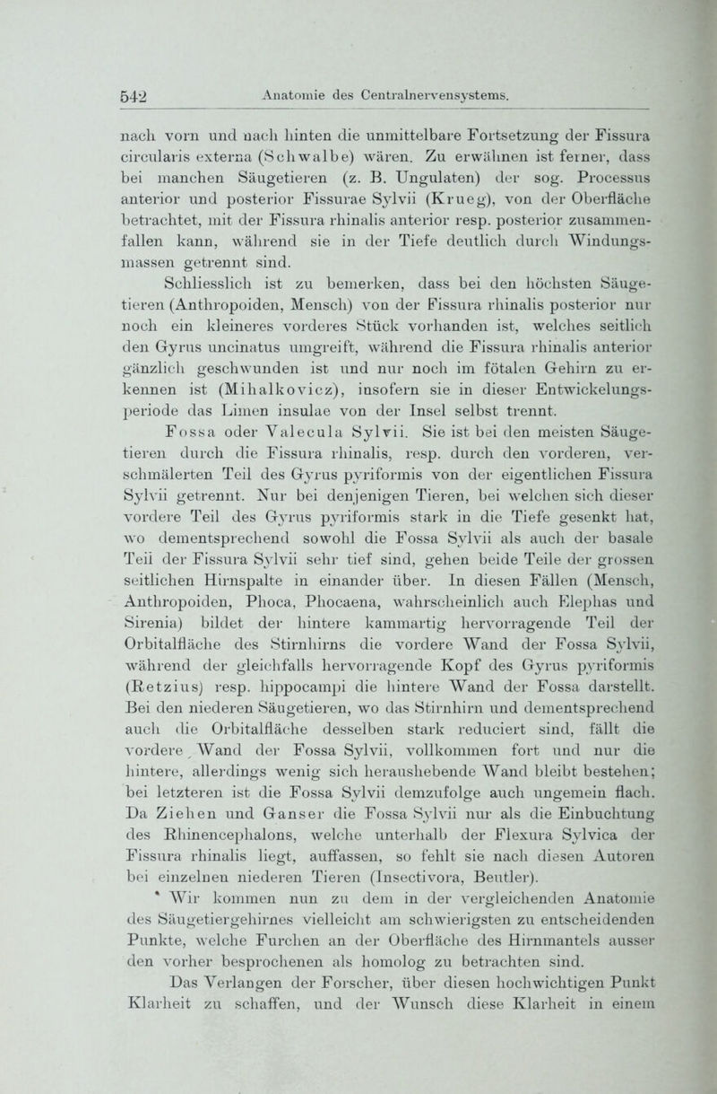 nach vorn und nach hinten die unmittelbare Fortsetzung der Fissura circularis externa (Schwalbe) wären. Zu erwähnen ist ferner, dass bei manchen Säugetieren (z. B. Ungulaten) der sog. Processus anterior und posterior Fissurae Sylvii (Krueg), von der Oberfläche betrachtet, mit der Fissura rhinalis anterior resp. posterior zusammen- fallen kann, während sie in der Tiefe deutlich durch Windungs- massen getrennt sind. Schliesslich ist zu bemerken, dass bei den höchsten Säuge- tieren (Anthropoiden, Mensch) von der Fissura rhinalis posterior nur noch ein kleineres vorderes Stück vorhanden ist, welches seitlich den Gyrus uncinatus umgreift, w^ährend die Fissura rhinalis anterior gänzlich geschwunden ist und nur noch im fötalen Gehirn zu er- kennen ist (Mihalkovicz), insofern sie in dieser Entwickelungs- periode das Limen insulae von der Insel selbst trennt. Fossa oder Valecula Sylvii. Sie ist bei den meisten Säuge- tieren durch die Fissura rhinalis, resp. durch den A'orderen, ver- schmälerten Teil des Gyrus pyriformis von der eigentlichen Fissura Sylvii getrennt. Nur bei denjenigen Tieren, bei w^elchen sich dieser vordere Teil des G^^rus pjaiformis stark in die Tiefe gesenkt hat, wo dementsprechend sowohl die Fossa Sylvii als auch der basale Teil der Fissura Sylvii sehr tief sind, gehen beide Teile der grossen seitlichen Hirnspalte in einander über. In diesen Fällen (Mensch, Anthropoiden, Phoca, Phocaena, wahrscheinlich auch Elej^has und Sirenia) bildet der hintere kammartig hervorragende Teil der Orbitalfläche des Stirnhirns die vordere Wand der Fossa Sylvii, während der gleichfalls hervorragende Kopf des Gyrus pyriformis (Retzius) resp. hippocampi die hintere Wand der Fossa darstellt. Bei den niederen Säugetieren, wo das Stirnhirn und dementsprechend auch die Orbitalfläche desselben stark reduciert sind, fällt die vordere ^ Wand der Fossa Sylvii, vollkommen fort und nur die hintere, allerdings wenig sich heraushebende Wand bleibt bestehen; bei letzteren ist die Fossa Sylvii demzufolge auch ungemein flach. Da Ziehen und Ganser die Fossa Sylvii nur als die Einbuchtung des Rhinencephalons, welche unterhalb der Flexura Sylvica der Fissura rhinalis liegt, auffassen, so fehlt sie nach diesen Autoren bei einzelnen niederen Tieren (Insectivora, Beutler). Wir kommen nun zu dem in der vergleichenden Anatomie des Säugetiergehirnes vielleicht am schwierigsten zu entscheidenden Punkte, welche Furclien an der Oberfläche des Hirnmantels ausser den vorher besprochenen als homolog zu betrachten sind. Das Verlangen der Forscher, über diesen hochwichtigen Punkt Klarheit zu schaffen, und der Wunsch diese Klarheit in einem