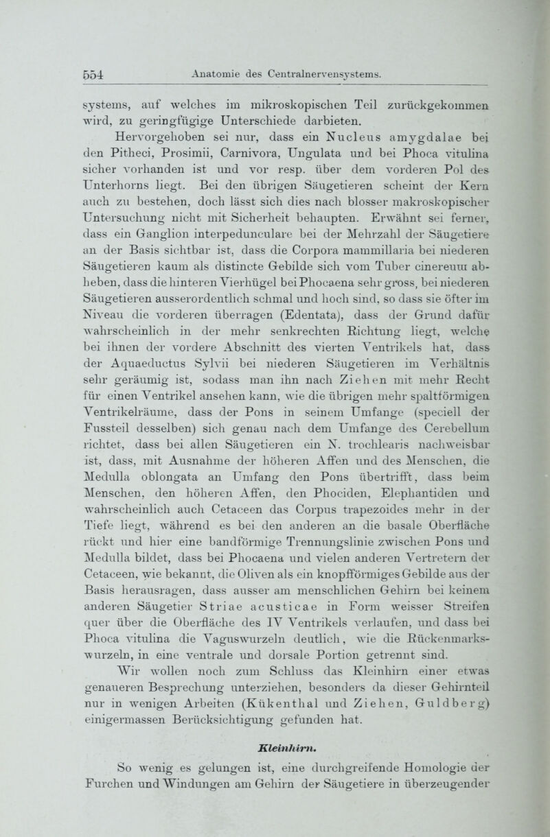 Systems, auf welches im mikroskopischen Teil zurückgekommen wird, zu geringfügige Unterschiede darbieten. Hervorgehoben sei nur, dass ein Nucleus amygdalae bei den Pitheci, Prosimii, Carnivora, Ungulata und bei Phoca vitulina sicher vorhanden ist und vor resp. über dem vorderen Pol des Unterhorns liegt. Bei den übrigen Säugetieren scheint der Kern auch zu bestehen, doch lässt sich dies nach blosser makroskopischer Untersuchung nicht mit Sicherheit behaupten. Erwähnt sei ferner, dass ein Ganglion interpedunculare bei der Mehrzahl der Säugetiere an der Basis sichtbar ist. dass die Corpora mammillaria bei niederen Säugetieren kaum als distincte Gebilde sich vom Tuber cinereum ab- heben, dass die hinteren Yierhügel beiPhocaena sehr gross, bei niederen Säugetieren ausserordentlich schmal und hoch sind, so dass sie öfter im Niveau die vorderen überragen (Edentata), dass der Grund dafür wahrscheinlich in der mehr senkrechten Richtung liegt, welche bei ihnen der vordere Abschnitt des vierten Ventrikels hat, dass der Aquaeductus Sylvii bei niederen Säugetieren im Verhältnis sehr geräumig ist, sodass man ihn nach Ziehen mit mehr Recht für einen Ventrikel ansehen kann, wie die übrigen mehr spaltförmigen Ventrikelräume, dass der Pons in seinem Umfange (speciell der Fussteil desselben) sich genau nach dem Umfange des Cerebellum richtet, dass bei allen Säugetieren ein X. trochlearis nachweisbar ist, dass, mit Ausnahme der höheren Affen und des Menschen, die Medulla oblongata an Umfang den Pons übertrifft, dass beim Menschen, den höheren Affen, den Phociden, Elephantiden und wahrscheinlich auch Cetaceen das Corpus trapezoides mehr in der Tiefe liegt, während es bei den anderen an die basale Oberfläche rückt und hier eine bandförmige Trennungslinie zwischen Pons und Medulla bildet, dass bei Phocaena und vielen anderen Vertretern der Cetaceen, wie bekannt, die Oliven als ein knopfförmiges Gebilde aus der Basis herausragen, dass ausser am menschlichen Gehirn bei keinem anderen Säugetier Striae acusticae in Form weisser Streifen quer über die Oberfläche des IV Ventrikels verlaufen, und dass bei Phoca vitulina die Vaguswurzeln deutlich, wie die Rückenmarks- wurzeln, in eine ventrale und dorsale Portion getrennt sind. AVir wollen noch zum Schluss das Kleinhirn einer etwas genaueren Besprechung unterziehen, besonders da dieser Gehirnteil nur in wenigen Arbeiten (Kükenthal und Ziehen, Guldberg) einigermassen Berücksichtigung gefunden hat. Kleinhinu So wenig es gelungen ist, eine durchgreifende Homologie der Furchen und Windungen am Gehirn der Säugetiere in überzeugender