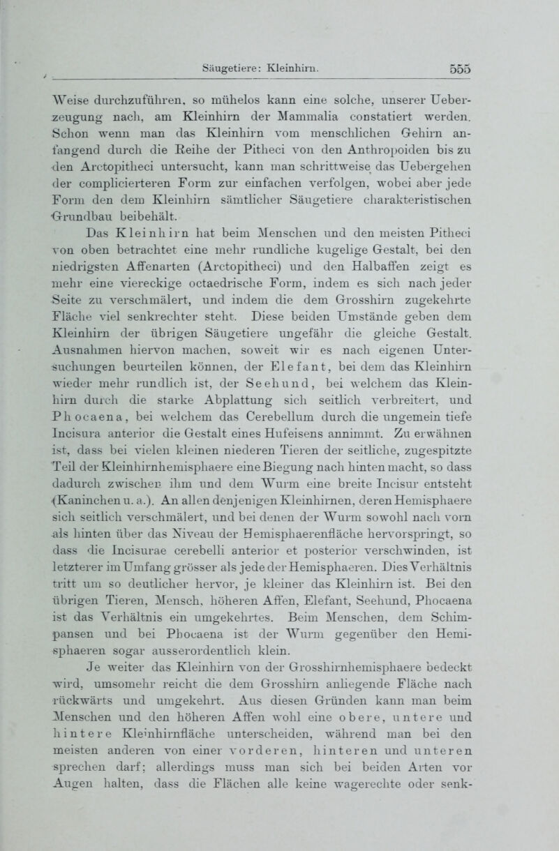 Weise durchzuführen, so mühelos kann eine solche, unserer Ueber- zeugung nach, am Kleinhirn der Mammalia constatiert werden. Schon wenn man das Kleinhirn vom menschlichen Gehirn an- fangend dui'ch die Reihe der Pitheci von den Anthropoiden bis zu den Arctopitheci untersucht, kann man schrittweise das Uebergehen der complicierteren Form zur einfachen verfolgen, wobei aber jede Form den dem Kleinhirn sämtlicher Säugetiere charakteristischen •Grundbau beibehält. Das Kleinhirn hat beim Menschen und den meisten Pitheci von oben betrachtet eine mehr rundliche kugelige Gestalt, bei den niedrigsten Affenarten (Arctopitheci) und den Halbaffen zeigt es mehr eine viereckige octaedrische Form, indem es sich nach jeder •Seite zu verschmälert, und indem die dem Grosshirn zugekehrte Fläche viel senkrechter steht. Diese beiden Umstände geben dem Kleinhirn der übrigen Säugetiere ungefähr die gleiche Gestalt. Ausnahmen hiervon machen, soweit wir es nach eigenen Unter- suchungen beurteilen können, der Elefant, bei dem das Kleinhirn wieder mehr rundlich ist, der Seehund, bei welchem das Klein- hirn durch die starke Abplattung sich seitlich verbreitert, und Phocaena, bei welchem das Cerebellum durch die ungemein tiefe Incisura anterior die Gestalt eines Hufeisens annimmt. Zu erwähnen ist, da SS bei vielen kleinen niederen Tieren der seithche, zugespitzte Teil der Kleinhirnhemisphaere eine Biegung nach hinten macht, so dass dadurch zwischen ihm und dem Wurm eine breite Incisur entsteht ■(Kaninchen u. a.). An allen denjenigen Kleinhirnen, derenHemisphaere sich seitlich verschmälert, und bei denen der Wurm sowohl nach vorn ■als hinten über das Xiveau der Hemisphaerenfläche hervorspringt, so dass die Incisurae cerebelli anterior et posterior verschwinden, ist letzterer im Umfang grösser als jede der Hemisphaeren. Dies Verhältnis tritt um so deutlicher hervor, je kleiner das Kleinhirn ist. Bei den übrigen Tieren, Mensch, höheren Affen, Elefant, Seehund, Phocaena ist das Verhältnis ein umgekehrtes. Beim Menschen, dem Schim- pansen und bei Phocaena ist der Wurm gegenüber den Hemi- sphaeren sogar ausserordentlich klein. Je weiter das Kleinhirn von der Grosshirnhemisj^haere bedeckt wird, umsomehr reicht die dem Grosshirn anliegende Fläche nach rückwärts und umgekehrt. Aus diesen Gründen kann man beim ^lenschen und den höheren Affen wohl eine obere, untere und hintere Klemhirnffäche unterscheiden, während man bei den meisten anderen von einer vorderen, hinteren und unteren sprechen darf; allerdings muss man sich bei beiden Arten vor Augen halten, dass die Flächen alle keine wagerechte oder senk-