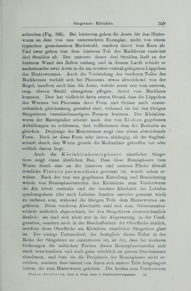 zubreiten (Fig. 105). Bei letzterem gehen die Aeste für den Hinter- wurm an dem von uns untersuchten Exemplar, nicht von einem typischen gemeinsamen Markstrahl, sondern direct voia Kern ab. Und zwar gehen von dem hinteren Teil des Markkerns zunächst drei Strahlen ab. Der unterste dieser drei Strahlen läuft an der hinteren Wand des Zeltes entlang und in diesem Laufe schickt er nacheinander zwei Aeste in die am meisten ventral gelegenen Läppchen des Hinterwurmes. Auch die Yerästelung des vorderen Teiles des Markkernes verhält sich bei Phocaena etwas ab^^ eichend von der E/egel, insofern auch hier die Aeste, welche sonst erst vom unteren, resp. oberen Strahl abzugehen pflegen, direct vom Markkern kommen. Dies hat vielleicht darin seinen Grund, dass die Läppchen des Wurmes bei Phocaena ihrer Form und Grösse nach ausser- ordentlich gleichmässig gestaltet sind, während sie bei den übrigen Säugetieren verschiedenartigere Formen besitzen. Der Kleinhirn- wurm der Marsupialier scheint nach den von Ziehen gegebenen Abbildungen zu schliessen, fast vollkommen dem der Rodentia zu gleicher]. Derjenige der Monotremen zeigt eine etwas abweichende Form. Doch ist diese Form sehr davon abhängig, ob der Sagittal- schnitt durch den Wurm gerade die Medianlinie getroffen hat oder seitlich davon liegt. Auch die K 1 e i n h i r n h e ni i s p Ii a e r e sämtlicher Säuge- tiere zeigt einen ähnlichen Bau. Dass diese Hemisphaere vom Wurm durch eine an der hinteren und unteren Fläche überall deutliche Fi s s u r a pa r a m e di an a getrennt ist, wurde schon er- wähnt. Nach der von uns gegebenen Einteilung und Bezeichnung würde von Hemisphaerenteilen des Kleinhirns zum Yorderwurm die Ala lobuli centralis und der vordere Abschnitt des Lobulus quadrangularis (der auch Lobulus lunatus anterior genannt wird) zu rechnen sein, während die übrigen Teile dem Hinterwurnie an- gehören. Diese vorderen Abschnitte sind sich nun, Grössenunter- schiede natürlicli abgerechnet, bei den Säugetieren au.sserordentlich ähnlich; sie sind sich rieht nur in der Abgrenzung, in der Confi- guration, sondern auch in der Beschaffenheit der Oberfläche ähnlich, insofern diese Oberfläche am Kleinhirn sämtlicher Säugetiere glatt ist. Der einzige Unterschied, der bezüglich dieses Teiles in der üeihe der Säugetiere zu constatieren ist, ist der, dass bei niederen Ordnungen die seitlichen Partien dieses Hemispliaerenteiles sich stark verschmälern und auch ganz erheblich im queren Durchmesser abnehmen, und dass sie die Peripherie der Hemisphaere nicht er- reichen, sondern dass lateral von ihnen sich andere Teile hingelagert liaben, die zum Hinterwurm gehören. Die beiden zum Yorderwurm Platau-Jacobsohn, Anat. u. vergl. Anat. d. Centralnervensystems. 3ß
