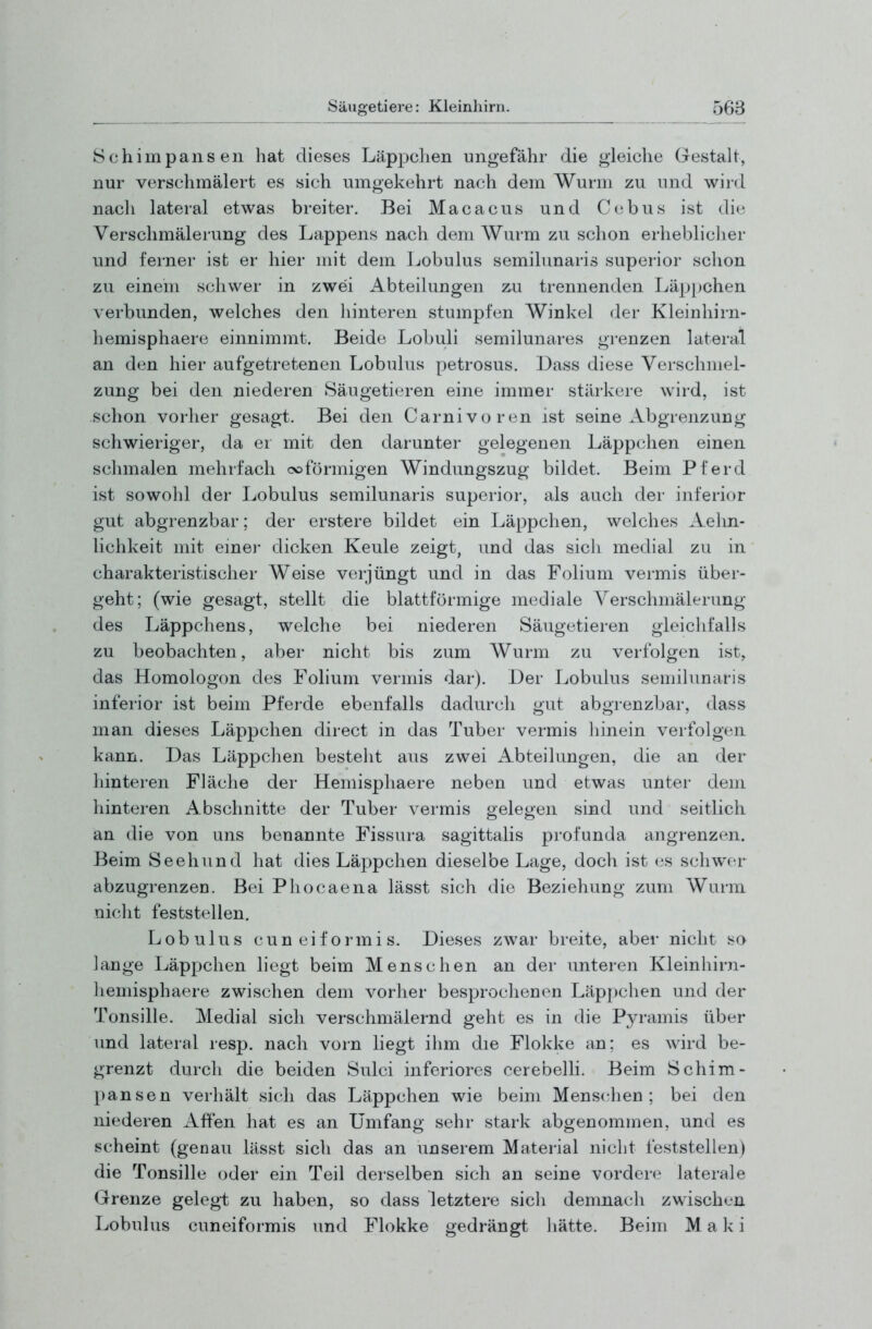 Schimpansen hat dieses Läppchen ungefähr die gleiche Gestalt, nur verschmälert es sich umgekehrt nach dem Wurm zu und wird nach lateral etwas breiter. Bei Macacus und C(;bus ist die Verschmälerung des Lappens nach dem Wurm zu schon erhebliclier und ferner ist er hier mit dem Lobulus semilunaris superior schon zu einem schwer in zwei Abteilungen z^u trennenden Läp])chen verbunden, welches den hinteren stumpfen Winkel der Kleinhirn- hemisphaere einnimmt. Beide Lobuli semilunares grenzen lateral an den hier aufgetretenen Lobulus petrosus. Dass diese Verschuiel- zung bei den niederen Säugetieren eine immer stärkere wird, ist schon vorher gesagt. Bei den Carnivoren ist seine Abgrenzung schwieriger, da er mit den darunter gelegenen Läppchen einen schmalen mehrfach eiförmigen Windungszug bildet. Beim Pferd ist sowohl der Lobulus semilunaris superior, als auch der inferior gut abgrenzbar; der erstere bildet ein Läppchen, welches Aehn- lichkeit mit emei- dicken Keule zeigt, und das sicli medial zu in charakteristischer Weise verjüngt und in das Folium vermis über- geht; (wie gesagt, stellt die blattförmige mediale Verschmälerung des Läppchens, welche bei niederen Säugetieren gleichfalls zu beobachten, aber nicht bis zum Wurm zu verfolgen ist, das Homologon des Folium vermis dar). Der Lobulus semilunaris inferior ist beim Pferde ebenfalls dadurch gut abgrenzbar, dass man dieses Läppchen direct in das Tuber vermis hinein verfolgen kann. Das Läppchen besteht aus zwei Abteilungen, die an der hinteren Fläche der Hemisphaere neben und etwas unter dem hinteren Abschnitte der Tuber vermis gelegen sind und seitlich an die von uns benannte Fissura sagittalis profunda angrenzen. Beim Seehund hat dies Läppchen dieselbe Lage, doch ist es schwer abzugrenzen. Bei Phocaena lässt sich die Beziehung zum Wurm nicht feststellen. Lobulus cuneiformis. Dieses zwar breite, aber nicht so lange Läppchen liegt beim Menschen an der unteren Kleinhirn- hemisphaere zwischen dem vorher besprochenen Läppchen und der Tonsille. Medial sich verschmälernd geht es in die Pyramis über und lateral resp. nach vorn liegt ihm die Flokke an; es wird be- grenzt durch die beiden Sulci inferiores cerebelli. Beim Schim- pansen verhält sich das Läppchen wie beim Menschen; bei den niederen Affen hat es an Umfang sehr stark abgenommen, und es scheint (genau lässt sich das an unserem Material nicht feststellen) die Tonsille oder ein Teil derselben sich an seine vordere laterale Grenze gelegt zu haben, so dass letztere sich demnach zwischen Lobulus cuneiformis und Flokke gedrängt hätte. Beim M a k i