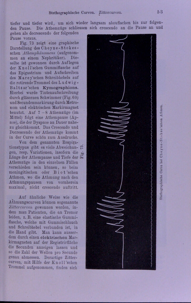 Stenographische Curven. Zittcrcurven. tiefer und tiefer wird, um sich wieder langsam abzuflachen bis zur folgen- den Pause. Die Athemzüge schliessen sich crescendo an die Pause an und gehen als decrescendo der folgenden Pause voraus. Fig. 73 zeigt eine graphische Darstellung des Cliey ne-Stokes - sehen Athemphänomens (aufgenom- men an einem Nephritiker). Die- selbe ist gewonnen durch Auflegen der Knoll’schen Gummiflasche auf das Epigastrium und Aufschreiben des Marey’schen Schreibhebels auf die rotirende Trommel des Ludwig- Baltzar’schen Kymographions. Hierbei wurde Tintenaufschreibung durch gläsernen Schwimmer (Fig. 60J und Secundenmarkirung durch Metro- nom und elektrischen Markirmagnet benutzt. Auf 7-8 Athemzüge (im Mittel) folgt eine Athempauso (Ap- noe), die der Dyspnoe an Dauer nahe- zu gleichkommt. Das Crescendo und Decrescendo der Athemzüge kommt in der Curve schön zum Ausdrucke. Von dem genannten Kespira- tionstypus gibt es viele Abweichun- gen, resp. Variationen, insofern die b-0 Länge der Athempause und Tiefe der K Athemzüge in den einzelnen Fällen verschieden sein können, so beim meningitischon oder B i o t ’schen Athmen, wo die Athmung nach den Athmungspausen von vornherein maximal, nicht crescendo auftritt. Auf ähnliche Weise wie die Athmungscurven können sogenannte Zittercurven gewonnen werden, in- dem man Patienten, die an Tremor leiden, z. B. eine elastische Gummi- flasche, welche mit Gummischlauch und Schreibhebel verbunden ist, in die Hand gibt. Man kann ausser- dem durch einen elektrischen Mar- kirmagneten auf der Kcgistrirflächo die Secundcn anzeigen lassen und so die Zahl der Wellen pro Secundo genau abmessen. Derartige Zitter- curven, mit Hilfe der KnolEschen Trommel aufgenommen, finden sich Stothographischo Carvo bei Choyne-Stokes’schom Atlimon.