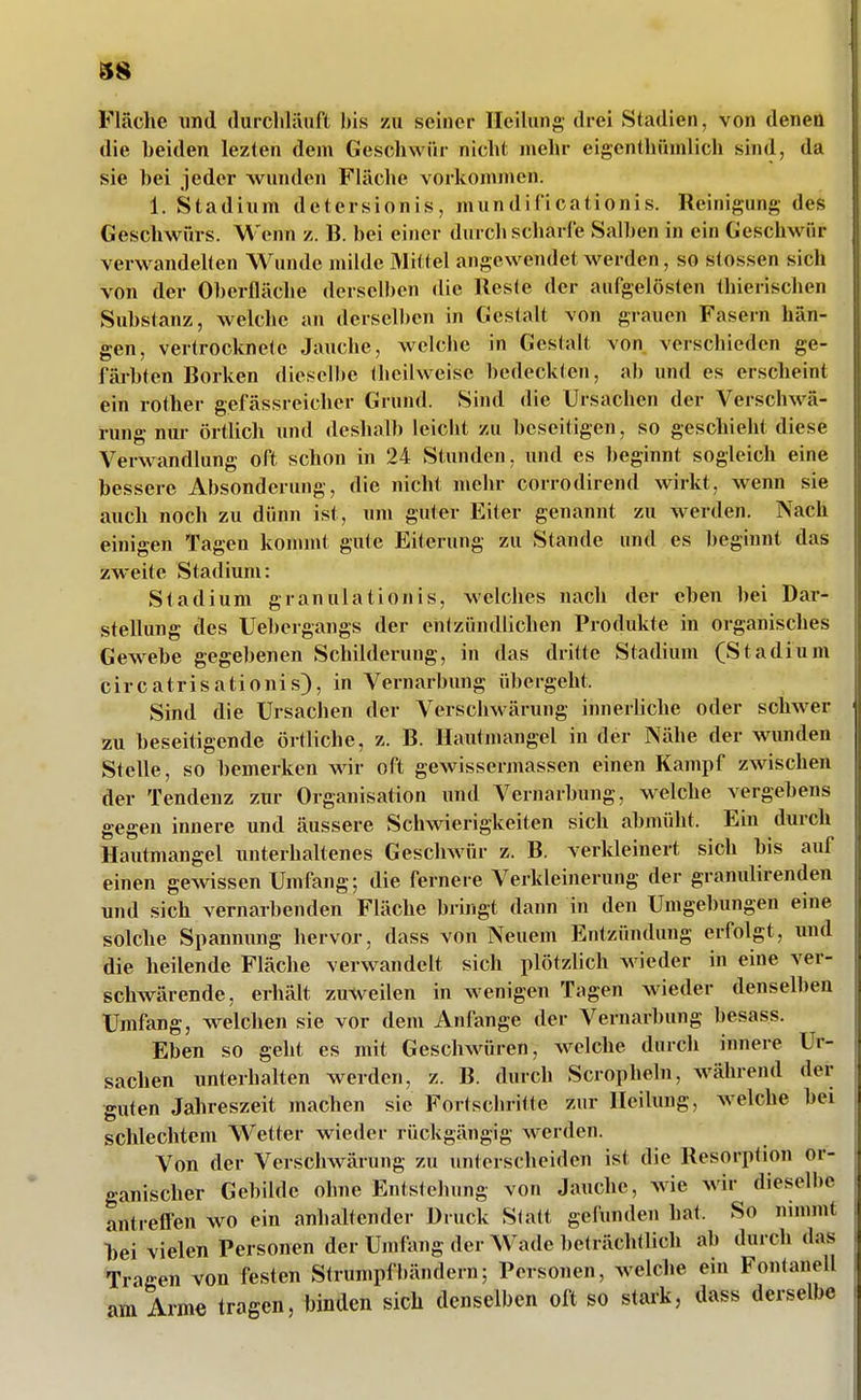 Fläche und duicliläuft bis zu seiner Heilung drei Stadien, von denen die beiden lezfen dem Gescliwür nicht mehr eigenthfnnlich sind, da sie bei jeder wunden Fläche vorkommen. 1. Stadium dctersionis, mundificationis. Reinigung des Geschwürs. Wenn z. B. bei einer durch scharfe Salben in ein Geschwür verwandehen Wunde milde Mittel angewendet werden, so stossen sich von der Oberfläche dersell)cn die Reste der aufgelösten thierischen Substanz, welche an derselben in Gestalt von grauen Fasern hän- gen, vertrocknete Jauche, welche in Gestalt von verschieden ge- färbten Borken dieselbe (heilweisc bedeckten, ab und es erscheint ein rother gefässreicher Grund. Sind die Ursachen der Verschwä- rung nur örtlich und deshalb leicht zu beseitigen, so geschieht diese Verwandlung oft schon in 24 Stunden, und es beginnt sogleich eine bessere Absonderung, die nicht mehr corrodirend wirkt, wenn sie auch noch zu dünn ist, um guter Eiter genannt zu werden. Nach einigen Tagen konnnt gute Eiterung zu Stande und es beginnt das zweite Stadium: Stadium granulationis, welches nach der eben bei Dar- stellung des Uebergangs der entzündlichen Produkte in organisches Gewebe gegebenen Schilderung, in das dritte Stadium (Stadium circatrisationis), in Vernarbung übergeht. Sind die Ursachen der Verschwärung innerliche oder schwer zu beseitigende örtliche, z. B. Hautmangel in der Nähe der wunden Stelle, so bemerken wir oft gewissermassen einen Kampf zwischen der Tendenz zur Organisation und Vernarbung, welche vergebens gegen innere und äussere Schwierigkeiten sich abmüht. Ein durch Hautmangel unterhaltenes Geschwür z. B. verkleinert sich bis auf einen gewissen Umfang; die fernere Verkleinerung der granulirenden und sich vernarbenden Fläche bringt dann in den Umgebungen eine solche Spannung hervor, dass von Neuem Entzündung erfolgt, und die heilende Fläche verwandelt sich plötzhch wieder in eine ver- schwärende, erhält zuweilen in wenigen Tagen wieder denselben Umfang, welchen sie vor dem Anfange der Vernarbung besass. Eben so geht es mit Geschwüren, Avelche durch innere Ur- sachen unterhalten werden, z. B. durch Scropheln, während der guten Jahreszeit machen sie Fortschritte zur Heilung, welche bei schlechtem Wetter wieder rückgängig werden. Von der Verschwärung zu unterscheiden ist die Resorption or- ganischer Gebilde ohne Entstehung von Jauche, wie wir dieselbe antreffen wo ein anhaltender Druck Statt gefunden hat. So nunmt bei vielen Personen der Umfang der Wade beträchtlich ab durch das Tragen von festen Strumpfbändern; Personen, welche ein Fontanell am Arme tragen, binden sich denselben oft so stark, dass derselbe