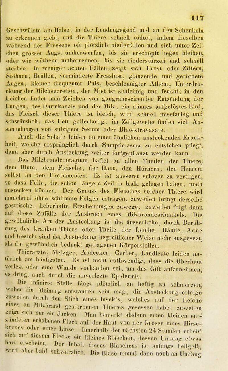 Cicscliwiilste am Halse, in der Lendengegend und an den Schenkeln ■Ml erkennen giebt, und die Tliiere schnell tödtet, indem dieselben während des Fressens olt plötzlich niederfallen und sich unter Zei- chen grosser Angst umherwerfen, bis sie erschöpft liegen bleiben, oder wie wiUhend umherreiuien, bis sie niederstürzen und schnell sterben. Li weniger acuten Fällen iseigt sich Frost oder Zittern, Stöhnen, Brüllen, verminderte Fresslust, glänzende und geröthete Augen, kleiner frequeuter Puls, beschleunigter Athem, Unterdrü- ckung der Milchsecretion, der Mist ist schleimig und feucht; in den Leichen findet man Zeichen von gangränescirender Entzündung der Lungen, des Darnikanals und der Milz, ein dünnes aufgelöstes Blut; das Fleisch dieser Thiere ist bleich, wird schnell missfarbig und schwärzUch, das Fett gallertartig; im Zellgewebe finden sich An- sammlungen von sulzigem Serum oder Blutextravasate. Auch die Schafe leiden an einer ähnlichen ansteckenden Krank- heit, welche ursprünglich durch Sumpfmiasma zu entstehen pflegt, dann aber durch Ansteckung weiter fortgepflanzt werden kann. Das Mlzbrandcontagium haftet an allen Theilen der Thiere; dem Blute, dem Fleische, der Haut, den Hörnern, den Haaren, selbst an den Excrementen. Es ist äusserst schwer zu vertilgen, so dass Felle, die schon längere Zeit in Kalk gelegen haben, noch anstecken können. Der Genuss des Fleisches solcher Thiere wird, manchmal ohne schlimme Folgen ertragen, zuweilen bringt derselbe gastrische, fieberhafte Erscheinungen zuwege, zuweilen folgt dann auf diese Zufälle der Ausbruch eines Milzbrandcarbunkels. Die gewöhnliche Art der Ansteckung ist die äusserliche, durch Berüh- rung des kranken Thiers oder Theile der Leiche. Hände, Arme und Gesicht sind der Ansteckung begreiflicher Weise mehr ausgesezt, als die gewöhnlich bedeckt getragenen Körperstellen. Thierärzte, Metzger, Abdecker, Gerber, Landleute leiden na- türlich am häufigsten. Es ist nicht nothwendig, dass die Oberhaut verlezt oder eine Wunde vorhanden sei, um das Gift aufzunehmen, es dringt auch durch die unverlezte Epidermis. Die inficirte Stelle fängt plötzlich an heftig zu schmerzen, woher die Meinung entstanden sein mag, die Ansteckung erfolge zuweden durch den Stich eines Insekts, welches auf der Leiche emes an Milzbrand gestorbenen Thieres gesessen habe; zuweilen zeigt sich nur ein Jucken. Man bemerkt alsdann einen kleinen ent- zündeten erhabenen Fleck auf der Haut von der Grösse eines Hirse- kornes oder einer Linse. Innerhalb der nächsten 24 Stunden crl.o])t sich auf diesem Flecke ein kleines Bläschen, dessen Umfang etwas hart erscheint. Der Inhalt dieses Bläschens ist anfangs hellgelb, wird aber bald schwärzlich. Die Blase nimmt dann noch an Umfang