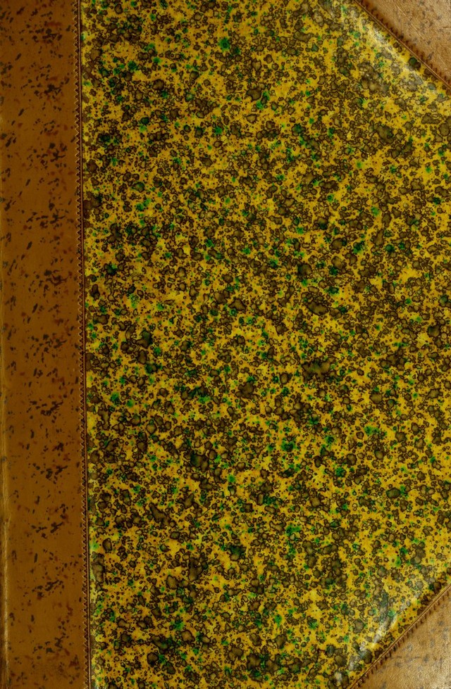 No text description is available for this image