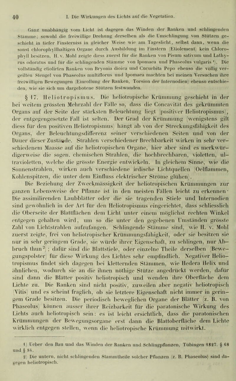 Ganz unabhängig vom Licht ist dagegen das Winden der Ranken und schlingenden Stämme; sowohl die freiwillige Drehung derselben als die Umschlingung von Stützen ge- schieht in tiefer Finsterniss in gleicher Weise wie am Tageslicht, selbst dann, wenn die sonst chlorophyllhaltigen Organe durch Ausbildung im Finstern (Etiolement) kein Chloro- phyll besitzen. H. v. Mohl zeigte diess zuerst für die Ranken von Pisum sativum und Lathy- rus odoratus und für die schlingenden Stämme von Ipomaea und Phaseolus vulgaris '). Die vollständig etiolirten Ranken von Bryonia dioica und Cucurbita Pepo ebenso die völlig ver- geilten Stengel von Phaseolus multiflorus und Ipomaea machten bei meinen Versuchen ihre freiwilligen Bewegungen (Einrollung der Ranken, Torsion der Internodien) ebenso entschie- den, wie sie sich um dargebotene Stützen festwanden. § 17. Heliotropismus. Die heliotropische Krümmung geschieht in der bei weitem grössten Mehrzahl der Fälle so, dass die Concavität des gekrümmten Organs auf der Seite der stärksten Beleuchtung liegt (positiver Heliotropismus), der entgegengesetzte Fall ist selten. Der Grad der Krümmung (wenigstens gilt diess für den positiven Heliotropismus) hängt ab von der Streckungsfähigkeit des Organs, der Beleuchtungsdifferenz seiner verschiedenen Seiten und von der Dauer dieser Zustäude. Strahlen verschiedener Brechbarkeit wirken in sehr ver- schiedenem Maasse auf die heliotropisehen Organe, hier aber sind es merkw ür- digerweise die sogen, chemischen Strahlen, die hochbrechbaren, violetten, ul- travioletten, welche die grösste Energie entwickeln. In gleichem Sinne, wie die Sonnenstrahlen, wirken auch verschiedene irdische Lichtquellen (Oelflammen, Kohlenspitzen, die unter dem Einfluss elektrischer Ströme glühen . Die Beziehung der Zweckmässigkeit der heliotropisehen Krümmungen zur ganzen Lebensweise der Pflanze ist in den meisten Fällen leicht zu erkennen ■ Die assimilirenden Laubblätter oder die sie tragenden Stiele und Internodien sind gewöhnlich in der Art für den Heliotropismus eingerichtet, dass schliesslich die Oberseite der Blattflächen dem Licht unter einem möglichst rechten Winkel entgegen gehalten wird, um so die unter den gegebenen Umständen grösste Zahl von Lichtstrahlen aufzufangen. Schlingende Stämme sind, wie H. v. Mohl zuerst zeigte, frei von heliotropischer Krümmungsfähigkeit, oder sie besitzen sie nur in sehr geringem Grade, sie w ürde ihrer Eigenschaft, zu schlingen, nur Ab- bruch thun1 2); dafür sind die Blattstiele, oder einzelne Theile derselben (Bewe- gungspolster) für diese Wirkung des Lichtes sehr empfindlich. Negativer Ilelio- tropismus findet sich dagegen bei kletternden Stämmen, wie Hedera Helix und ähnlichen, wodurch sie an die ihnen nöthige Stütze angedrückt werden, dafür sind dann die Blätter positiv heliotropisch und wenden ihre Oberfläche dem Lichte zu. Die Banken sind nicht positiv, zuweilen aber negativ heliotropisch Yitis) und es scheint fraglich, ob sie letztere Eigenschaft nicht immer in gerin- gem Grade besitzen. Die periodisch beweglichen Organe der Blätter (z. B. von Phaseolus) können ausser ihrer Reizbarkeit für die paratonische Wirkung des Lichts auch heliotropisch sein: es ist leicht ersichtlich, dass die paratonischen Krümmungen der Bewegungsorgane erst dann die Blattoberfläche dem Lichte wirklich entgegen stellen, wenn die heliotropische Krümmung mitwirkt. 1) Ueber den Bau und das Winden der Ranken und Schlingpflanzen, Tübingen 1827. § 68 und § 84. 2) Die untern, nicht schlingenden Stainmtheile solcher Pflanzen (z. B. Phaseolus) sind da- gegen heliotropisch.