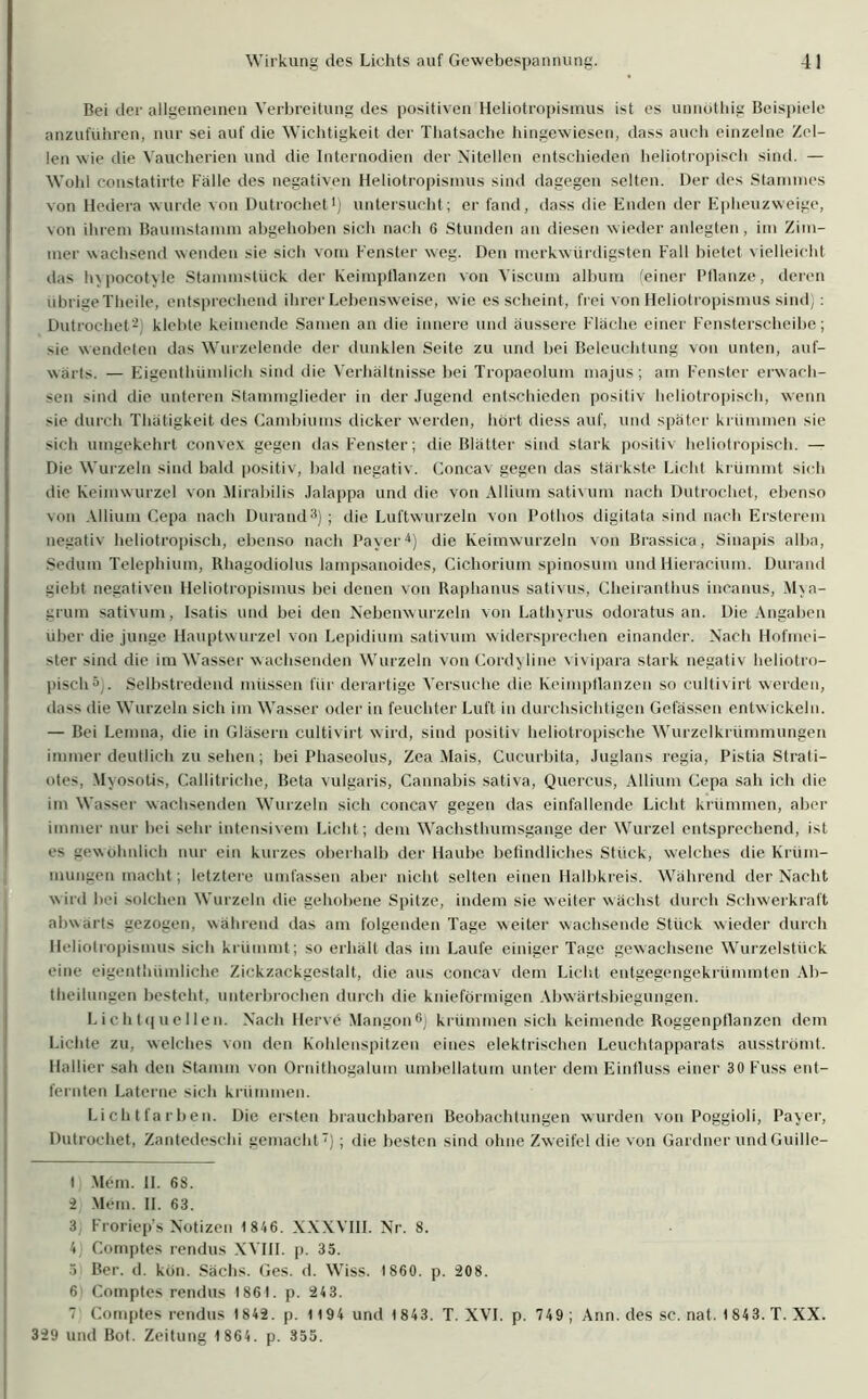 Bei der allgemeinen Verbreitung des positiven Heliotropismus ist es unnüthig Beispiele anzuführen, nur sei auf die Wichtigkeit der Thatsache hingewiesen, dass auch einzelne Zel- len wie die Vaucherien und die Internodien der Nitellen entschieden heliotropisch sind. — Wohl constatirte Fälle des negativen Heliotropismus sind dagegen selten. Der des Stammes von Hedera wurde von Dutrochet1 *) untersucht; er fand, dass die Enden der Epheuzweige, von ihrem Baumstamm abgehoben sich nach 6 Stunden an diesen wieder anlegten, im Zim- mer wachsend wenden sie sich vom Fenster weg. Den merkwürdigsten Fall bietet vielleicht das InpocoMe Stammstück der Keimpflanzen von Yiscum album (einer Pflanze, deren übrige Theile, entsprechend ihrer Lebensweise, wie es scheint , frei von Heliotropismus sind;: Dutrochet-) klebte keimende Samen an die innere und äussere Fläche einer Fensterscheibe; sie wendeten das Wurzelende der dunklen Seite zu und bei Beleuchtung von unten, auf- wärts. — Eigenthümlich sind die Verhältnisse bei Tropaeolum majus; am Fenster erwach- sen sind die unteren Stammglieder in der Jugend entschieden positiv heliotropisch, wenn >ie durch Thätigkeit des Cambiums dicker werden, hört diess auf, und später krümmen sie sich umgekehrt convex gegen das Fenster; die Blätter sind stark positiv heliotropisch. — Die Wurzeln sind bald positiv, bald negativ. Concav gegen das stärkste Licht krümmt sich die Keimwurzel von Mirabilis Jalappo und die von Allium sativum nach Dutrochet, ebenso von Allium Cepa nach Durand3) ; die Luftwurzeln von Polhos digitata sind nach Ersterem negativ heliotropisch, ebenso nach Payer4) die Keimwurzeln von Brassica, Sinapis alba, Sedum Telephium, Rhagodiolus lampsanoides, Cichorium spinosum und Hieracium. Durand giebt negativen Heliotropismus bei denen von Raphanus sativus, Clieiranthus incanus, Mya- grum sativum, Isatis und bei den Nebenwurzeln von Lathyrus odoratus an. Die Angaben über die junge Hauptwurzel von Lepidium sativum widersprechen einander. Nach Hofmei- ster sind die im Wasser wachsenden Wurzeln von Cord^line vivipara stark negativ heliotro- pisch5 . Selbstredend müssen für derartige Versuche die Keimpflanzen so cultivirt werden, dass die Wurzeln sich im Wasser oder in feuchter Luft in durchsichtigen Gefässen entwickeln. — Bei Lemna, die in Gläsern cultivirt wird, sind positiv heiiotropische Wurzelkrümmungen immer deutlich zu sehen; bei Phaseolus, Zea Mais, Cucurbita, Juglans regia, Pistia Strati— otes, Myosotis, Callitriche, Beta vulgaris, Cannabis sativa, Quercus, Allium Cepa sah ich die im Wasser wachsenden Wurzeln sich concav gegen das einfallende Licht krümmen, aber immer nur bei sehr intensivem Licht; dem Wachsthumsgange der Wurzel entsprechend, ist es gewöhnlich nur ein kurzes oberhalb der Haube befindliches Stück, welches die Krüm- mungen macht; letztere umfassen aber nicht selten einen Halbkreis. Während der Nacht wird hei solchen Wurzeln die gehobene Spitze, indem sie weiter wächst durch Schwerkraft abwärts gezogen, während das am folgenden Tage weiter wachsende Stück wieder durch lleliotropismus sich krümmt ; so erhält das im Laufe einiger Tage gewachsene Wurzelstück eine eigenthiimliche Zickzackgestalt, die aus concav dem Licht entgegengekrümmten Ab- theihmgen besteht, unterbrochen durch die knieförmigen Abwärtsbiegungen. Lichtquellen. Nach Herve Mangon6 7) krümmen sich keimende Roggenpflanzen dem Lichte zu, welches von den Kohlenspitzen eines elektrischen Leuchtapparats ausströmt. Halber sah den Stamm von Ornithogaluin umbellatum unter dem Einfluss einer 30 Fuss ent- fernten Laterne sich krümmen. Lichtfarben. Die ersten brauchbaren Beobachtungen wurden von Poggioli, Payer, Dutrochet, Zantedeschi gemacht'); die besten sind ohne Zweifel die von Gardner undGuille- I Mem. II. 68. 2) Mem. II. 63. 3 Froriep’s Notizen 1846. XXXVIII. Nr. 8. 4 Comptes rendus XVIII. p. 35. 5 Ber. d. kön. Sachs. Ges. d. Wiss. 1860. p. 208. 6 Comptes rendus 1861. p. 243. 7 Comptes rendus 1 842. p. 1194 und 1843. T. XVI. p. 749 ; Ann. des sc. nat. 1843. T. XX. 329 und Bot. Zeitung 1 864. p. 355.