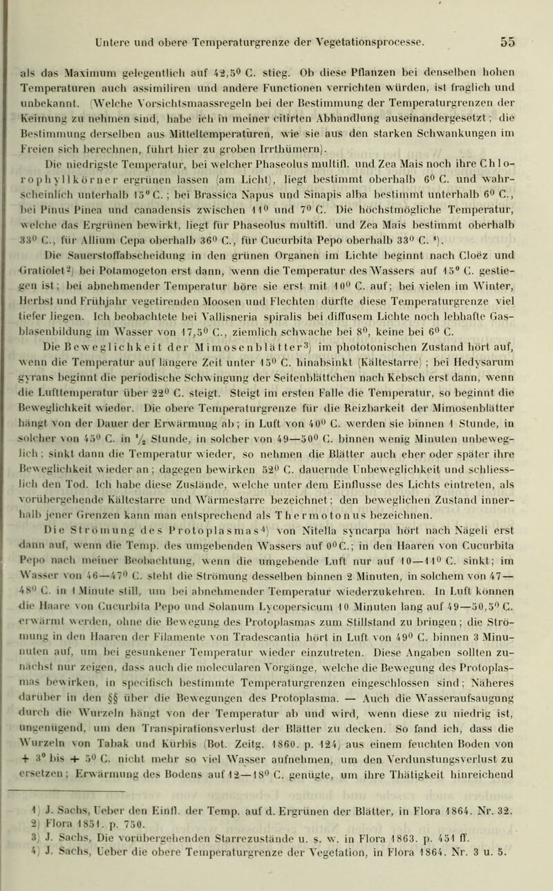 als das Maximum gelegentlich auf 42,5° C. stieg. Ob diese Pflanzen bei denselben hoben Temperaturen auch assimiliren und andere Functionen verrichten würden, ist fraglich und unbekannt. Welche Vorsichtsmaassregeln bei der Bestimmung der Temperaturgrenzen der Keimung zu nehmen sind, habe ich in meiner citirten Abhandlung auseinandergesetzt; die Bestimmung derselben aus Mitteltemperaturen, wie sie aus den starken Schwankungen im Freien sich berechnen, führt hier zu groben Irrthümern). Oie niedrigste Temperatur, bei welcher Phaseolus multifl. und Zea Mais noch ihre Ch 1 o- rophyl 1 körner ergrünen lassen (am Licht), liegt bestimmt oberhalb 6° C. und wahr- scheinlich unterhalb I3°C.; bei Brassica Napus und Sinapis alba bestimmt unterhalb 6° C., bei Pinus Pinea und canadensis zwischen 11° und 7° C. Die höchstmögliche Temperatur, welche das Ergrünen bew irkt, liegt für Phaseolus multifl. und Zea Mais bestimmt oberhalb 33° C., für Allium Cepa oberhalb 36° C., für Cucurbita Pepo oberhalb 33° C. *). Die Sauerstoffabscheidung in den grünen Organen im Lichte beginnt nach Cloez und Gratioletbei Potamogeton erst dann, wenn die Temperatur des Wassers auf 13° C. gestie- gen ist; bei abnehmender Temperatur höre sie erst mit 10° C. auf; bei vielen im Winter, Herbst und Frühjahr vegetirenden Moosen und Flechten dürfte diese Temperaturgrenze viel tiefer liegen. Ich beobachtete bei Yallisneria spiralis bei diffusem Lichte noch lebhafte Gas- blasenbildung im Wasser von 17,3° C., ziemlich schwache bei 8°, keine bei 6° C. Die Beweglichkeit der Mimosenblät ter3) im phototonischen Zustand hört auf, wenn die Temperatur auf längere Zeit unter 15° C. hinabsinkt (Kältestarre) ; bei Hedysarum gyrans beginnt die periodische Schw ingung der Seitenblättchen nach Kebsch erst dann, wenn die Lufttemperatur über 22° C. steigt. Steigt im ersten Falle die Temperatur, so beginnt die Beweglichkeit wiedor. Die obere Temperaturgrenze für die Reizbarkeit der Mimosenblätter hängt von der Dauer der Erwärmung ab; in Luft von 40° C. werden sie binnen I Stunde, in solcher von 43u C. in */, Stunde, in solcher von 49—30° C. binnen wenig Minuten unbeweg- Jich ; sinkt dann die Temperatur wieder, so nehmen die Blätter auch eher oder später ihre Beweglichkeit wieder an; dagegen bewirken 52u C. dauernde Unbeweglichkeit und schliess- lich den Tod. Ich habe diese Zustände, welche unter dem Einflüsse des Lichts eintreten, als vorübergehende Kältestarre und Wärmestarre bezeichnet ; den beweglichen Zustand inner- halb jener Grenzen kann man entsprechend als Thermo ton us bezeichnen. Die Strömung des Protoplasmas4) von Nitella syncarpa hört nach Nägeli erst dann auf. wenn die Temp. des umgebenden Wassers auf 0°C.; in den Haaren von Cucurbita Pepo nach meiner Beobachtung, wenn die umgebende Luft nur auf 10—1I°C. sinkt; im Wasser von 46—47° C. steht die Strömung desselben binnen 2 Minuten, in solchem von 47 — 4s1 2' c. in I Minute still, um bei abnehmender Temperatur wiederzukehren. In Luft können die Haare von Cucurbita Pepo und Solanum Lycopersicum 10 Minuten lang auf 49—30,3° C. erwärmt werden, ohne die Bewegung des Protoplasmas zum Stillstand zu bringen; die Strö- mung in den Haaren der Filamente von Tradescantia hört in Luft von 49° C. binnen 3 Minu- nuten auf, um bei gesunkener Temperatur wieder einzutreten. Diese Angaben sollten zu- nächst nur zeigen, dass auch die molecularen Vorgänge, welche die Bewegung des Protoplas- mas bewirken, in spccifisch bestimmte Temperaturgrenzen eingeschlossen sind; Näheres darüber in den §§ über die Bewegungen des Protoplasma. — Auch die Wasseraufsaugung durch die Wurzeln hängt von der Temperatur ab und wird, wenn diese zu niedrig ist, ungenügend, um den Transpirations Verlust der Blätter zu decken. So fand ich, dass die Wurzeln von Tahak und Kürbis Bot. Zeitg. 1860. p. 124) aus einem feuchten Boden von + 3° bis •+■ 3° C. nicht mehr so viel Wasser aufnehmen, um den Verdunstungsverlust zu ersetzen; Erwärmung des Bodens auf 12—18° C. genügte, um ihre Thätigkeit hinreichend 1 J. Sachs, Leber den Einfl. der Temp. auf d. Ergrünen der Blätter, in Flora 1864. Nr. 32. 2 Flora 1831. p. 730. 3 J. Sachs, Die vorübergehenden Starrezustände u. s. w. in Flora 1863. p. 431 fl. 4 J. Sachs, Leber die obere Temperaturgrenze der Vegetation, in Flora 1864. Nr. 3 u. 5.