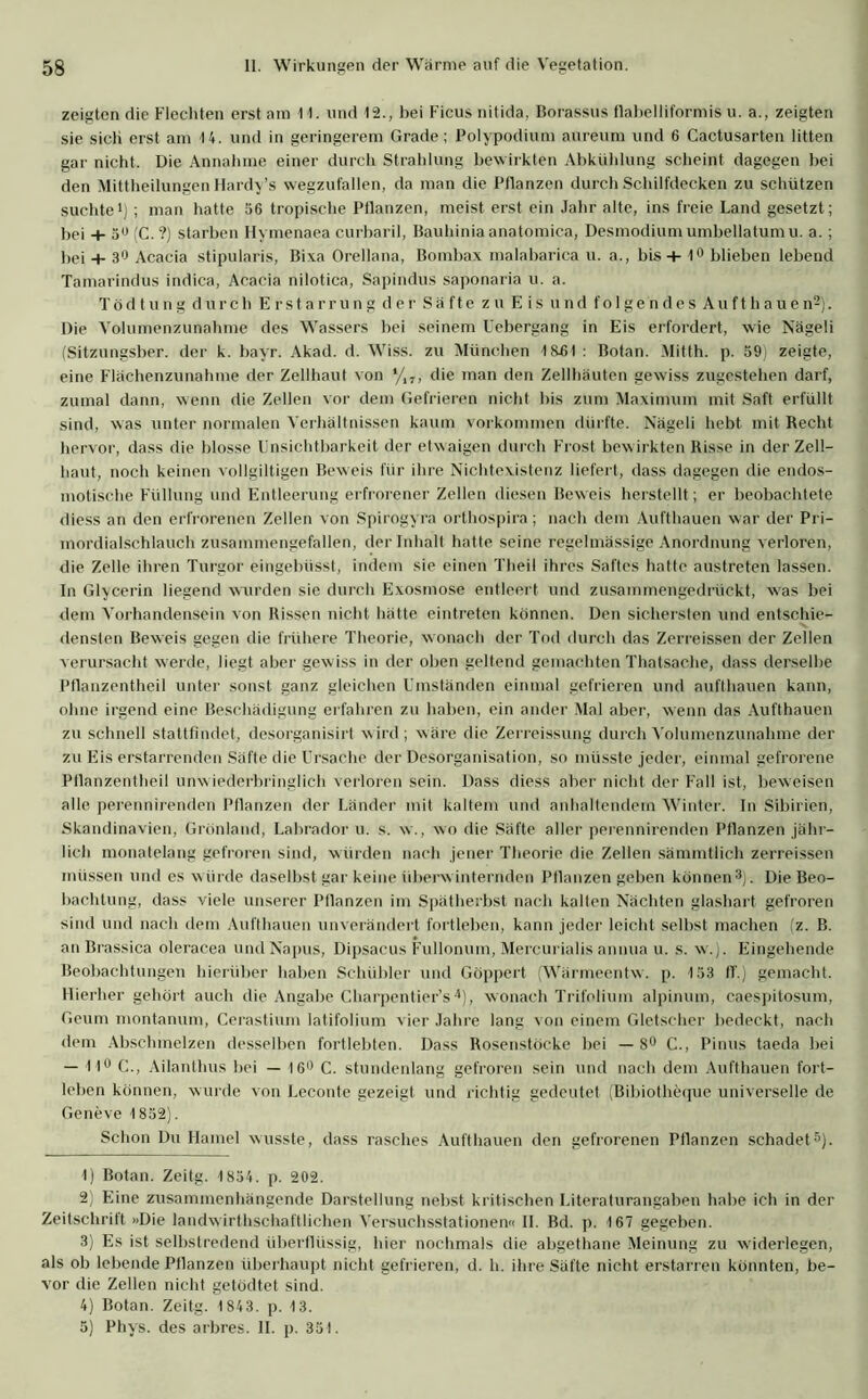zeigten die Flechten erst am 11. und 12., bei Ficus nitida, Borassus flabelliformis u. a., zeigten sie sich erst am 14. und in geringerem Grade; Polypodium aureum und 6 Cactusarten litten gar nicht. Die Annahme einer durch Strahlung bewirkten Abkühlung scheint dagegen bei den Mittheilungen Hardy’s wegzufallen, da man die Pflanzen durch Schilfdecken zu schützen suchte1); man hatte 56 tropische Pflanzen, meist erst ein Jahr alte, ins freie Land gesetzt; bei + 5° (C. ?) starben Hymenaea curbaril, Bauhinia anatomica, Desmodiumumbellatumu. a.; bei + 3° Acacia stipularis, Bixa Orellana, Bombax malabarica u. a., bis + 1° blieben lebend Tamarindus indica, Acacia nilotica, Sapindus saponaria u. a. Tödtung durch Erstarrung d!er Säfte zu Eis und folgendes Aufthauen2). Die Volumenzunahme des Wassers hei seinem Uebergang in Eis erfordert, wie Nägeli (Sitzungsber. der k. bayr. Akad. d. Wiss. zu München 18-61 : Botan. Mittli. p. 59) zeigte, eine Flächenzunahme der Zellhaut von */17, die man den Zellhäuten gewiss zugestehen darf, zumal dann, wenn die Zellen vor dem Gefrieren nicht bis zum Maximum mit Saft erfüllt sind, was unter normalen Verhältnissen kaum Vorkommen dürfte. Nägeli hebt mit Recht hervor, dass die blosse Unsichtbarkeit der etwaigen durch Frost bewirkten Risse in der Zell- haut, noch keinen vollgiltigen Beweis für ihre Nichtexistenz liefert, dass dagegen die endos- motische Füllung und Entleerung erfrorener Zellen diesen Beweis herstellt; er beobachtete diess an den erfrorenen Zellen von Spirogyra orthospira; nach dem Aufthauen war der Pri- mordialschlauch zusammengefallen, der Inhalt hatte seine regelmässige Anordnung verloren, die Zelle ihren Turgor eingebüsst, indem sie einen Thei! ihres Saftes hatte anstreten lassen. In Glycerin liegend wurden sie durch Exosmose entleert und zusammengedrückt, was bei dem Vorhandensein von Rissen nicht hätte eintreten können. Den sichersten und entschie- densten Beweis gegen die frühere Theorie, w onach der Tod durch das Zerreissen der Zellen verursacht werde, liegt aber gewiss in der oben geltend gemachten Thatsache, dass derselbe Pflanzentheil unter sonst ganz gleichen Umständen einmal gefrieren und aufthauen kann, ohne irgend eine Beschädigung erfahren zu haben, ein ander Mal aber, wenn das Aufthauen zu schnell stattfindet, desorganisirt wird; wäre die Zerreissung durch Vohimenzunahme der zu Eis erstarrenden Säfte die Ursache der Desorganisation, so müsste jeder, einmal gefrorene Pflanzentheil unwiederbringlich verloren sein. Dass diess aber nicht der Fall ist, beweisen alle perennirenden Pflanzen der Länder mit kaltem und anhaltendem Winter. In Sibirien, Skandinavien, Grönland, Labrador u. s. w., wo die Säfte aller perennirenden Pflanzen jähr- lich monatelang gefroren sind, würden nach jener Theorie die Zellen sämmtlich zerreissen müssen und es w ürde daselbst gar keine überwinternden Pflanzen geben können3). Die Beo- bachtung, dass viele unserer Bilanzen im Spätherbst nach kalten Nächten glashart gefroren sind und nach dem Aufthauen unverändert fortleben, kann jeder leicht selbst machen (z. B. an Brassica oleracea undNapus, Dipsacus Fullonum, Mercurialis annua u. s. w.). Eingehende Beobachtungen hierüber haben Schübler und Göppert (Wärmeentw. p. 153 fT.) gemacht. Hierher gehört auch die Angabe Charpentier’s4), wonach Trifolium alpinuin, caespitosum, Geum montanum, Cerastium latifolium vier Jahre lang von einem Gletscher bedeckt, nach dem Abschmelzen desselben fortlebten. Dass Rosenstöcke bei — 8° C., Pinus taeda bei — 11° C., Ailantlius bei — 16° C. stundenlang gefroren sein und nach dem Aufthauen fort- lohen können, wurde von Leconte gezeigt und richtig gedeutet (Bibiotheque universelle de Geneve 1852). Schon Du Hamei wusste, dass rasches Aufthauen den gefrorenen Pflanzen schadet5). 1) Botan. Zeitg. 1854. p. 202. 2) Eine zusammenhängende Darstellung nebst kritischen Literaturangaben habe ich in der Zeitschrift »Die landwirtschaftlichen Versuchsstationen« II. Bd. p. 167 gegeben. 3) Es ist selbstredend überflüssig, hier nochmals die abgethane Meinung zu widerlegen, als ob lebende Pflanzen überhaupt nicht gefrieren, d. h. ihre Säfte nicht erstarren könnten, be- vor die Zellen nicht getödtet sind. 4) Botan. Zeitg. 1 843. p. 13. 5) Phys. des arbres. II. p. 351.