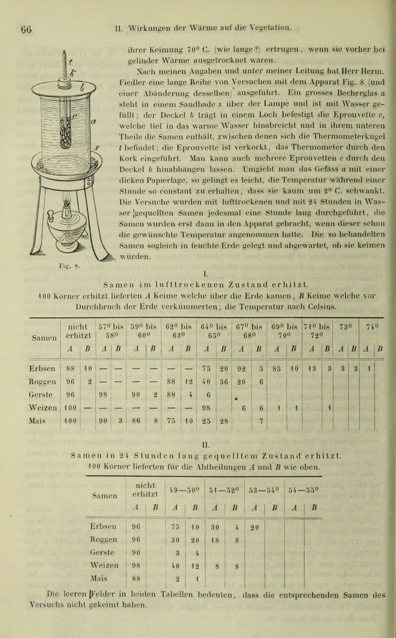 ihrer Keimung 70° C. (wie lange?) ertrugen, wenn sie vorher bei gelinder Wärme ausgetrocknet waren. Nach meinen Angaben und unter meiner Leitung hat Herr Herrn. Fiedler eine lange Reihe von Versuchen mit dem Apparat Fig. 8 (und einer Abänderung desselben) ausgeführt. Ein grosses Becherglas a steht in einem Sandbade s über der Lampe und ist mit Wasser ge- füllt ; der Deckel b trägt in einem Loch befestigt die Eprouvette c, welche tief in das warme Wasser hinabreicht und in ihrem unteren Theile die Samen enthält, zwischen denen sich die Thermometerkugel t befindet; die Eprouvette ist verkorkt, das Thermometer durch den Kork eingeführt. Man kann auch mehrere Eprouvetten c durch den Deckel b hinabhängen lassen. Hmgiebt man das Gefäss a mit einer dicken Papierlage, so gelingt es leicht, die Temperatur während einer Stunde so constant zu erhalten, dass sie kaum um 2° C. schwankt. Die Versuche wurden mit lufttrockenen und mit 24 Stunden in Was- ser [gequellten Samen jedesmal eine Stunde lang durchgeführt, die Samen wurden erst dann in den Apparat gebracht, wenn dieser schon die gewünschte Temperatur angenommen hatte. Die so behandelten Samen sogleich in feuchte Erde gelegt und abgewartet, ob sie keimen \\ iirden. 1. Samen im lufttrockenen Zustand erhitzt. 100 Körner erhitzt lieferten A Keime welche über die Erde kamen, ß Keime welche vor Durchbruch der Erde verkümmerten; die Temperatur nacli Celsius. Samen nicht 37° bis erhitzt J 58° 590 bis 60« 62° bis 630 64« bis 650 67° bis 680 69u bis 70 71° bis 720 730 74« A RAR A | ß A B A A B A B A B A B A B Erbsen 88 10 — — — , — — — 75 20 92 5 85 10 13 3 3 3 1 Roggen 9G 21 — : — — — 88 12 40 36 20 6 Gerste 96 ! 98 ' 90 2 88 4 6 * Weizen 100 -1 98 6 6 1 1 1 Mais 100 90 3 86 8 1 75 10 25 28 • 7 Samen in 2 4 Stunden lang gequelltem Zustand erhitzt. 100 Körner lieferten für die Abtheilungen A und B wie oben. Samen nicht erhitzt 49 — 500 A B A B Erbsen 96 75 10 Roggen 96 30 20 Gerste 90 3 4 Weizen 98 40 12 Mais 88 2 1 A B 30 18 33—540 I 54—35° 20 Die leeren [Felder in beiden Tabellen bedeuten, dass die entsprechenden Samen des Versuchs nicht gekeimt haben.