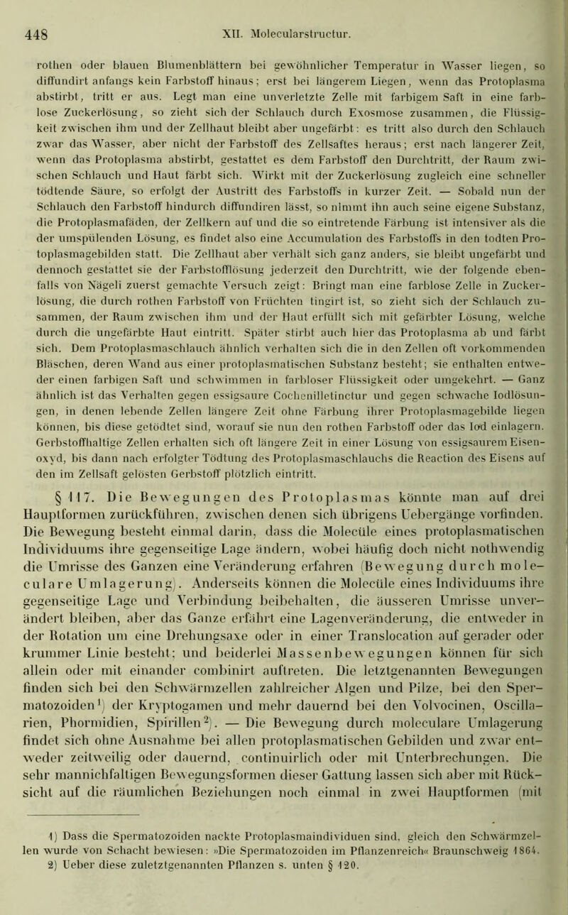 rothen oder blauen Blumenblättern bei gewöhnlicher Temperatur in Wasser liegen, so diffundirt anfangs kein Farbstoff hinaus; erst bei längerem Liegen, wenn das Protoplasma abstirbt, tritt er aus. Legt man eine unverletzte Zelle mit farbigem Saft in eine farb- lose Zuckerlösung, so zieht sich der Schlauch durch Exosmose zusammen, die Flüssig- keit zwischen ihm und der Zellhaut bleibt aber ungefärbt: es tritt also durch den Schlauch zwar das Wasser, aber nicht der Farbstoff des Zellsaftes heraus; erst nach längerer Zeit, wenn das Protoplasma abstirbt, gestattet es dem Farbstoff den Durchtritt, der Raum zwi- schen Schlauch und Haut färbt sich. Wirkt mit der Zuckerlösung zugleich eine schneller tödtende Säure, so erfolgt der Austritt des Farbstoffs in kurzer Zeit. — Sobald nun der Schlauch den Farbstoff hindurch diffundiren lässt, so nimmt ihn auch seine eigene Substanz, die Protoplasmafäden, der Zellkern auf und die so eintretende Färbung ist intensiver als die der umspülenden Lösung, es findet also eine Accumulation des Farbstoffs in den todten Pro- toplasmagebilden statt. Die Zellhaut aber verhält sich ganz anders, sie bleibt ungefärbt und dennoch gestattet sie der Farbstofflösung jederzeit den Durchtritt, wie der folgende eben- falls von Nägeli zuerst gemachte Versuch zeigt: Bringt man eine farblose Zelle in Zucker- lösung, die durch rothen Farbstoff' von Früchten tingirt ist, so zieht sich der Schlauch zu- sammen, der Raum zwischen ihm und der Haut erfüllt sich mit gefärbter Lösung, welche durch die ungefärbte Haut eintritt. Später stirbt auch hier das Protoplasma ab und färbt sich. Dem Protoplasmaschlauch ähnlich verhalten sich die in den Zellen oft vorkommenden Bläschen, deren Wand aus einer protoplasmatischen Substanz besteht; sie enthalten entwe- der einen farbigen Saft und schwimmen in farbloser Flüssigkeit oder umgekehrt. — Ganz ähnlich ist das Verhalten gegen essigsaure Cochcnilletinctur und gegen schwache Iodlösun- gen, in denen lebende Zellen längere Zeit ohne Färbung ihrer Protoplasmagebilde liegen können, bis diese getödtet sind, worauf sie nun den rothen Farbstoff oder das lod einlagern. Gerbstoffhaltige Zellen erhalten sich oft längere Zeit in einer Lösung von essigsaurem Eisen- oxyd, bis dann nach erfolgter Tödtung des Protoplasmaschlauchs die Reaction des Eisens auf den im Zellsaft gelösten Gerbstoff plötzlich eintritt. § 117. Die Bewegungen des Protoplasmas könnte man auf drei Hauplformen zurückführen, zwischen denen sich übrigens Uebergänge vorfinden. Die Bewegung besteht einmal darin, dass die Molecüle eines proloplasmatisehen Individuums ihre gegenseitige Lage ändern, wobei häufig doch nicht nothwendig die Umrisse des Ganzen eine Veränderung erfahren (Bewegung durch mole- culare Umlagerung). Anderseits können die Molecüle eines Individuums ihre gegenseitige Lage und Verbindung beibehalten, die äusseren Umrisse unver- ändert bleiben, aber das Ganze erfährt eine La gen Veränderung, die entweder in der Rotation um eine Drehungsaxe oder in einer Translocation auf gerader oder krummer Linie besteht; und beiderlei Massenbewegungen können für sich allein oder mit einander combinirt auftreten. Die letztgenannten Bewegungen finden sich bei den Schwärmzellen zahlreicher Algen und Pilze, bei den Sper- matozoiden1) der Kryptogamen und mehr dauernd bei den Volvocinen, O.scilla- rien, Phormidien, Spirillen2). — Die Bewegung durch moleculare Umlagerung findet sich ohne Ausnahme bei allen protoplasmatischen Gebilden und zwar ent- weder zeitweilig oder dauernd, continuirlich oder mit Unterbrechungen. Die sehr mannichfaltigen Bewegungsformen dieser Gattung lassen sich aber mit Büek- siclit auf die räumlichen Beziehungen noch einmal in zwei Hauptformen (mit 1) Dass die Spermatozoiden nackte Protoplasmaindividuen sind, gleich den Schwärmzel- len wurde von Schacht bewiesen: »Die Spermatozoiden im Pflanzenreich« Braunschweig 1864. 2) Ueber diese zuletztgenannten Pflanzen s. unten § 120.