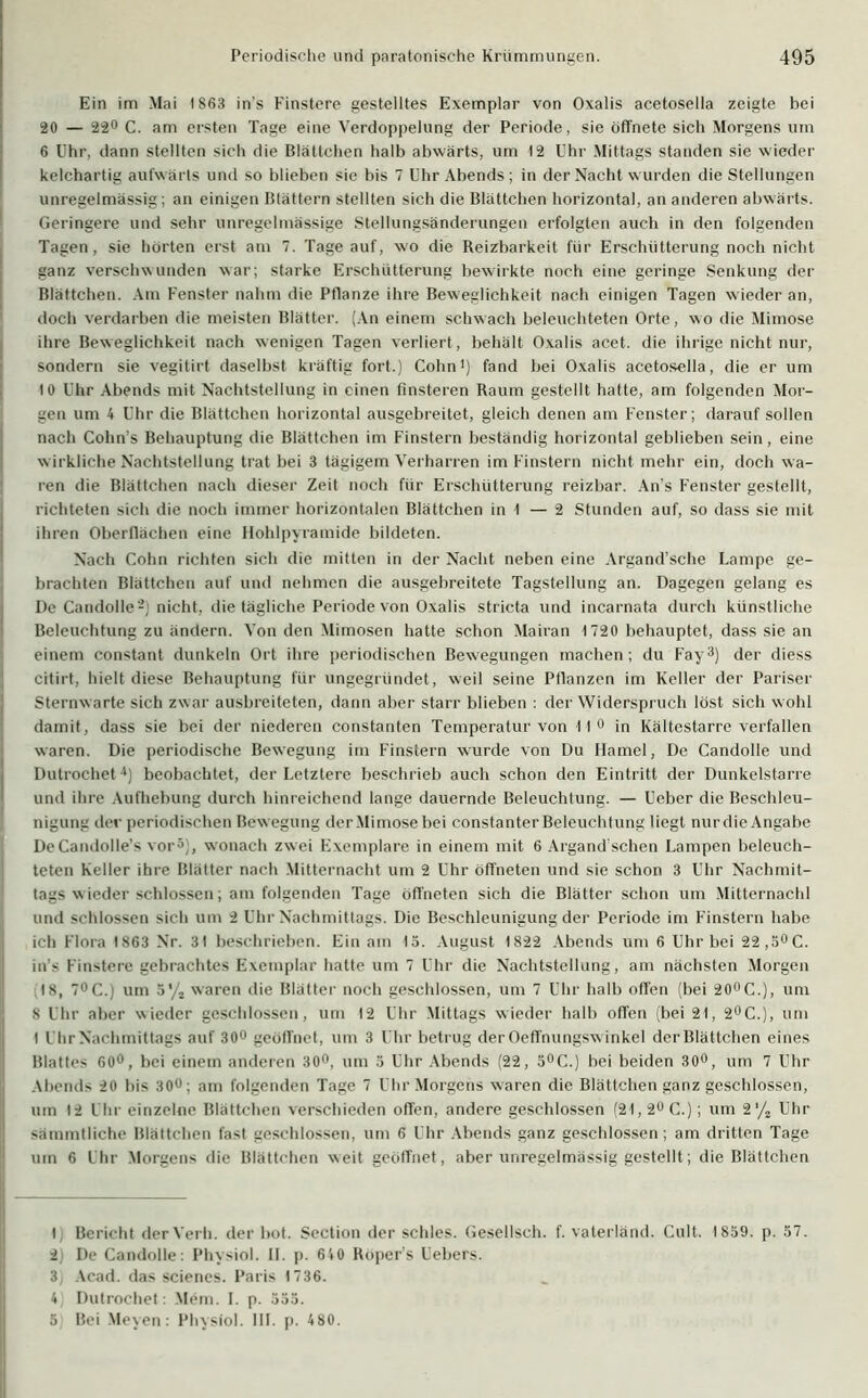 Ein im Mai 1863 in’s Finstere gestelltes Exemplar von Oxalis acetosella zeigte bei 20 — 22° C. am ersten Tage eine Verdoppelung der Periode, sie öffnete sich Morgens um 6 Uhr, dann stellten sich die Blättchen halb abwärts, um 12 Uhr Mittags standen sie wieder kelchartig aufwärts und so blieben sic bis 7 Uhr Abends; in der Nacht wurden die Stellungen unregelmässig; an einigen Blättern stellten sich die Blättchen horizontal, an anderen abwärts. Geringere und sehr unregelmässige Stellungsänderungen erfolgten auch in den folgenden Tagen, sie hörten erst am 7. Tage auf, wo die Reizbarkeit für Erschütterung noch nicht ganz verschwunden war; starke Erschütterung bewirkte noch eine geringe Senkung der Blättchen. Am Fenster nahm die Pflanze ihre Beweglichkeit nach einigen Tagen wieder an, doch verdarben die meisten Blätter. (An einem schwach beleuchteten Orte, wo die Mimose ihre Beweglichkeit nach wenigen Tagen verliert, behält Oxalis acet. die ihrige nicht nur, sondern sie vegitirt daselbst kräftig fort.) Cohn1 *) fand bei Oxalis acetosella, die er um 10 Uhr Abends mit Nachtstellung in einen finsteren Raum gestellt hatte, am folgenden Mor- gen um 4 Uhr die Blättchen horizontal ausgebreitet, gleich denen am Fenster; darauf sollen nach Cohn’s Behauptung die Blättchen im Finstern beständig horizontal geblieben sein, eine w irkliche Nachtstellung trat bei 3 tägigem Verharren im Finstern nicht mehr ein, doch wa- ren die Blättchen nach dieser Zeit noch für Erschütterung reizbar. An’s Fenster gestellt, richteten sich die noch immer horizontalen Blättchen in I — 2 Stunden auf, so dass sie mit ihren Oberflächen eine Hohlpyramide bildeten. Nach Cohn richten sich die mitten in der Nacht neben eine Argand’sche Lampe ge- brachten Blättchen auf und nehmen die ausgebreitete Tagstellung an. Dagegen gelang es De Candolle'-) nicht, die tägliche Periode von Oxalis stricta und incarnata durch künstliche Beleuchtung zu ändern. Von den Mimosen hatte schon Mairan 1720 behauptet, dass sie an einem constant dunkeln Ort ihre periodischen Bewegungen machen; du Fay3) der diess citirt, hielt diese Behauptung für ungegründet, weil seine Pflanzen im Keller der Pariser Sternwarte sich zwar ausbreiteten, dann aber starr blieben : der Widerspruch löst sich wohl damit, dass sie bei der niederen constanten Temperatur von 11° in Kältestarre verfallen waren. Die periodische Bewegung im Finstern wurde von Du Hamei, De Candolle und Dutrochet4) beobachtet, der Letztere beschrieb auch schon den Eintritt der Dunkelstarre und ihre Aufhebung durch hinreichend lange dauernde Beleuchtung. — Ueber die Beschleu- nigung der periodischen Bew egung der Mimose bei constanter Beleuchtung liegt nurdie Angabe DeCandolle’s vor5), wonach zwei Exemplare in einem mit 6 Argandschen Lampen beleuch- teten Keller ihre Blätter nach Mitternacht um 2 Uhr öffneten und sie schon 3 Uhr Nachmit- tags wieder schlossen; am folgenden Tage öffneten sich die Blätter schon um Mitternacht und schlossen sich um 2 Uhr Nachmittags. Die Beschleunigung der Periode im Finstern habe ich Flora 1863 Nr. 31 beschrieben. Ein am 13. August 1822 Abends um 6 Uhr bei 22,3°C. in s Finstere gebrachtes Exemplar hatte um 7 Uhr die Nachtstellung, am nächsten Morgen 18, 7°C.j um 5% waren die Blätter noch geschlossen, um 7 Uhr halb offen (bei 20°C.), um 8 Uhr aber wieder geschlossen, um 12 Uhr Mittags wieder halb offen (bei 2t, 2°C.), um 1 Uhr Nachmittags auf 30° geöffnet, um 3 Uhr betrug der Ocffnungsw inkel derBlättchen eines Blattes 60°, bei einem anderen 30°, um 3 Uhr Abends (22, 3°C.) bei beiden 30°, um 7 Uhr Abends 20 bis 3o°; am folgenden Tage 7 Uhr Morgens waren die Blättchen ganz geschlossen, um 12 Uhr einzelne Blättchen verschieden offen, andere geschlossen (2t, 2° C.); um 2‘/2 Uhr sämmtliche Blättchen fast geschlossen, um 6 Uhr Abends ganz geschlossen; am dritten Tage um 6 Uhr Morgens die Blättchen weit geöffnet, aber unregelmässig gestellt; die Blättchen l Bericht der Verb, der bot. Section der schles. Gesellsch. f. vaterländ. Cult. 1839. p. 37. 2; De Candolle: Physiol. II. p. 640 Röper’s Uebers. 3) Acad. das scienes. Paris 1736. 4 Dutrochet: Mem. I. p. 333. 5 Bei Meyen: Physiol. III. p. 480.