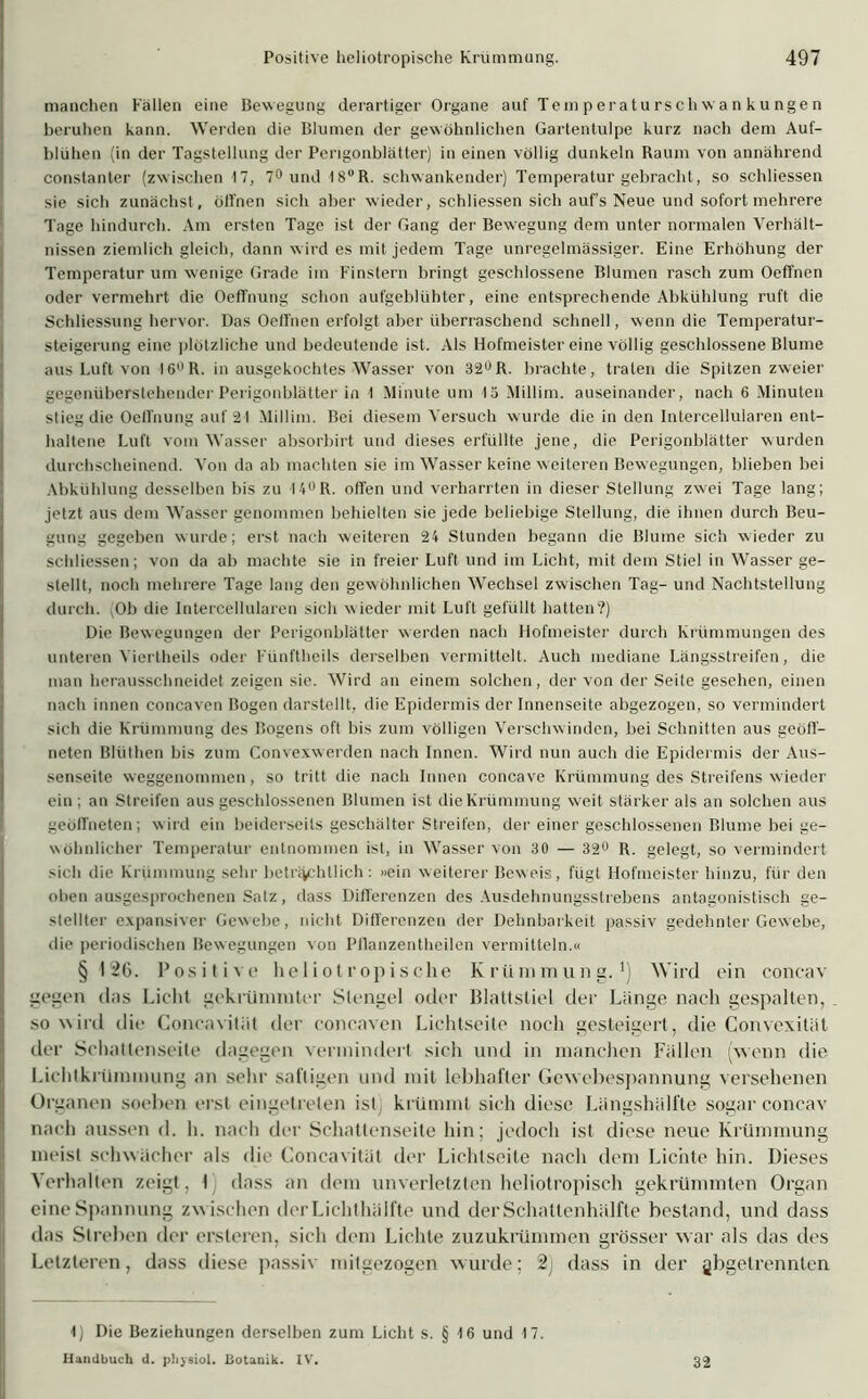 manchen Fällen eine Bewegung derartiger Organe auf Tem p erat u rsch w a n ku nge n beruhen kann. Werden die Blumen der gewöhnlichen Gartentulpe kurz nach dem Auf- blühen (in der Tagstellung der Perigonblätter) in einen völlig dunkeln Raum von annährend constanter (zwischen 17, 7° und 18°R. schwankender) Temperatur gebracht, so schliessen sie sich zunächst , öffnen sich aber wieder, schliessen sich aufs Neue und sofort mehrere Tage hindurch. Am ersten Tage ist der Gang der Bewegung dem unter normalen Verhält- nissen ziemlich gleich, dann wird es mit jedem Tage unregelmässiger. Eine Erhöhung der Temperatur um wenige Grade im Finstern bringt geschlossene Blumen rasch zum Oeffnen oder vermehrt die Oeffnung schon aufgeblühter, eine entsprechende Abkühlung ruft die Schliessung hervor. Das Oeffnen erfolgt aber überraschend schnell, wenn die Temperatur- steigerung eine plötzliche und bedeutende ist. Als Hofmeister eine völlig geschlossene Blume aus Luft von I6UR. in ausgekochtes Wasser von 32°R. brachte, traten die Spitzen zweier gegenüberstehender Perigonblätter in 1 Minute um 15 Millim. auseinander, nach 6 Minuten stieg die Oeffnung auf 21 Millim. Bei diesem Versuch wurde die in den Intercellularen ent- haltene Luft vom Wasser absorbirt und dieses erfüllte jene, die Perigonblätter wurden durchscheinend. Von da ab machten sie im Wasser keine weiteren Bewegungen, blieben bei Abkühlung desselben bis zu I4°R. offen und verharrten in dieser Stellung zwei Tage lang; jetzt aus dem Wasser genommen behielten sie jede beliebige Stellung, die ihnen durch Beu- gung gegeben wurde; erst nach weiteren 24 Stunden begann die Blume sich wieder zu schliessen; von da ab machte sie in freier Luft und im Licht, mit dem Stiel in Wasser ge- stellt, noch mehrere Tage lang den gewöhnlichen Wechsel zwischen Tag- und Nachtstellung durch. Ob die Intercellularen sich wieder mit Luft gefüllt hatten?) Die Bewegungen der Perigonblätter werden nach Hofmeister durch Krümmungen des unteren Viertheils oder Fünftheils derselben vermittelt. Auch mediane Längsstreifen, die man herausschneidet zeigen sie. Wird an einein solchen, der von der Seite gesehen, einen nach innen concaven Bogen darstellt, die Epidermis der Innenseite abgezogen, so vermindert sich die Krümmung des Bogens oft bis zum völligen Verschwinden, bei Schnitten aus geöff- neten Bltithen bis zum Convexwerden nach Innen. Wird nun auch die Epidermis der Aus- senseite weggenommen, so tritt die nach Innen concave Krümmung des Streifens wieder ein ; an Streifen aus geschlossenen Blumen ist die Krümmung weit stärker als an solchen aus geöffneten; wird ein beiderseits geschälter Streifen, der einer geschlossenen Blume bei ge- wöhnlicher Temperatur entnommen ist, in Wasser von 30 — 32u R. gelegt, so vermindert >ich die Krümmung sehr beträchtlich: »ein weiterer Beweis, fügt Hofmeister hinzu, für den oben ausgesprochenen Satz, dass Differenzen des Ausdehnungsstrebens antagonistisch ge- stellter expansiver Gewebe, nicht Differenzen der Dehnbarkeit passiv gedehnter Gewebe, die periodischen Bewegungen von Pllanzentheilen vermitteln.« §126. Positive heliotropische Krümmung.1) Wird ein concav gegen rins Licht gekrümmter Stengel oder Blattstiel der Länge nach gespalten, so wird die Concavitiit der concaven Lichtseite noch gesteigert, die Convexität der Schattenseite dagegen vermindert sich und in manchen Fällen (wenn die Lichtkrümmung an sehr saftigen und mit lebhafter Gewebespannung versehenen Organen soeben erst eingetreten ist krümmt sich diese Längshälfte sogar concav nach aussen d. h. nach der Schattenseite hin; jedoch ist diese neue Krümmung meist schwächer als die Concavität der Lichtseite nach dem Lichte hin. Dieses Verhalten zeigt, I dass an dem unverletzten heliotropisch gekrümmten Organ eine Spannung zwischen der Lichthälfte und der Schaltenhälfte bestand, und dass das Streben der ersteren, sich dem Lichte zuzukrümmen grösser war als das des Letzteren, dass diese passiv mitgezogen wurde; 2) dass in der gbgetrennten 1) Die Beziehungen derselben zum Licht s. § 16 und 17. Handbuch d. physiol. Botanik. IV. 32