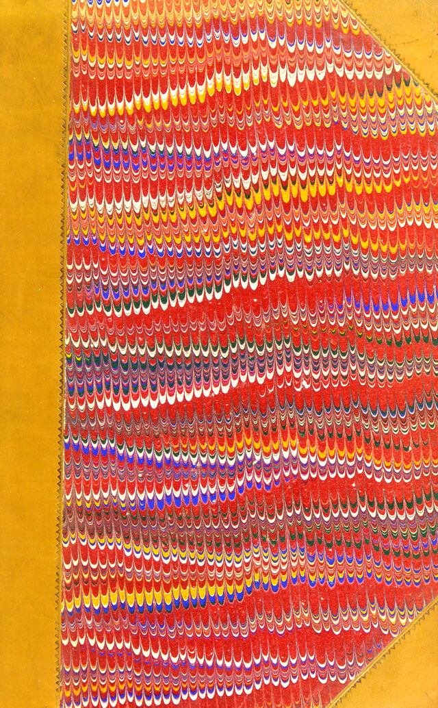 No text description is available for this image