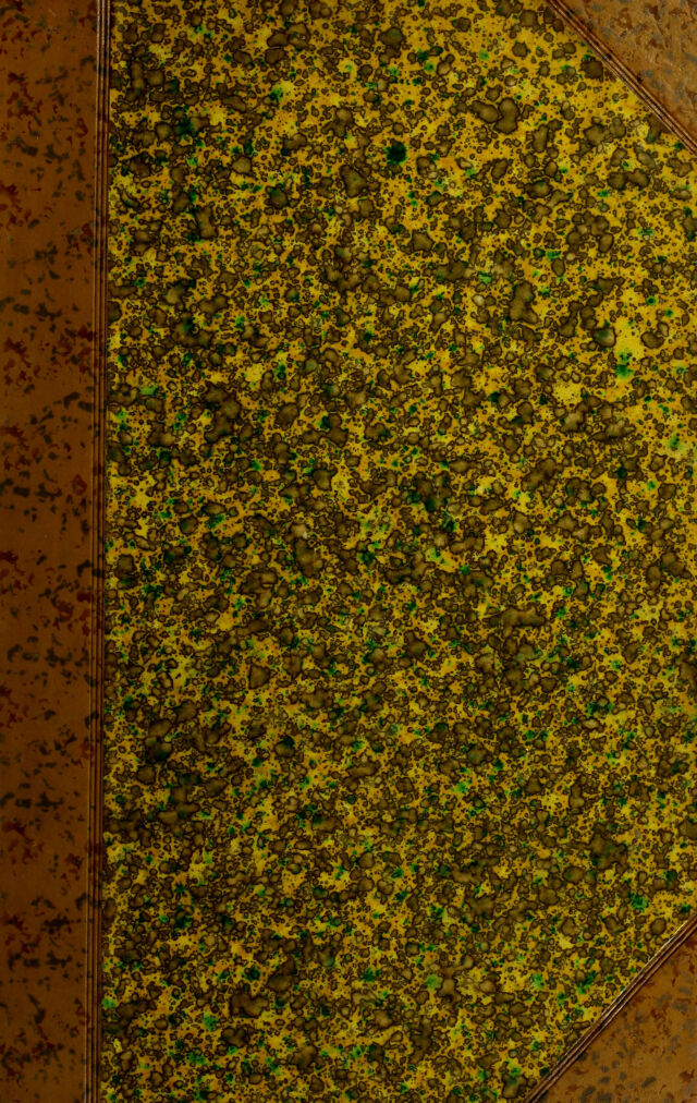 digitised image 1