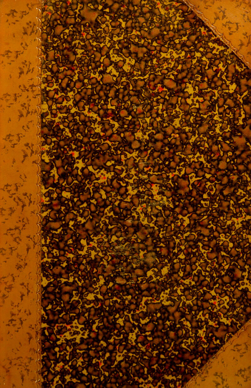 No text description is available for this image