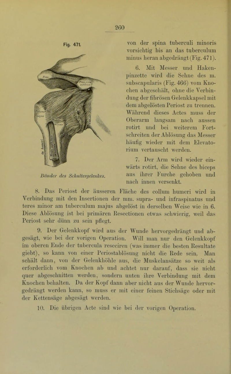 von der sj)ma tiiberculi minoris vorsichtig bis an das tuberculiim minus heran abgedrängt (Fig. 471). 6. Mit Messer und Haken- l)inzette wird die Sehne des m. subscapularis (Fig. 466) vom Kno- chen abgeschält, ohne die Verbin- dung der fibrösen Gelenkkapsel mit dem abgelösten Periost zu trennen. Während dieses Actes muss der Oberarm langsam nach aussen rotirt und bei weiterem Fort- schreiten der Ablösung das Messer häufig wieder mit dem Elevato- rium vertauscht werden. 7. Der Arm wird wieder ein- wärts rotirt, die Sehne des biceps aus ihrer Furche gehoben und nach innen versenkt. 8. Das Periost der äusseren Fläche des Collum humeri wird in Verbindung mit den Insertionen der mm. supra- und infraspinatus und teres minor am tuberculum majus abgelöst in derselben Weise wie in 6. Diese Ablösung ist bei primären Resectionen etwas schwierig, weil das Periost sehr dünn zu sein pflegt. 9. Der Gelenkkopf wird aus der Wunde liervorgedrängt und ab- gesägt, wie bei der vorigen Operation, Will man nur den Gelenkkopf im oberen Ende der tubercula reseciren (was immer die besten Resultate giebt), so kann von einer Periostablösung nicht die Rede sein. Man schält dann, von der Gelenkhöhle aus, die Muskelansätze so weit als erforderlich vom Knochen ab und achtet nur darauf, dass sie nicht quer abgeschnitten werden, sondern unten ihre Verbindung mit dem Knochen behalten. Da der Kopf dann aber nicht aus der Wunde hervor- gedrängt werden kann, so muss er mit einer feinen Stichsäge oder mit der Kettensäge abgesägt werden. 10. Die übrigen Acte sind wie bei der vorigen Operation.