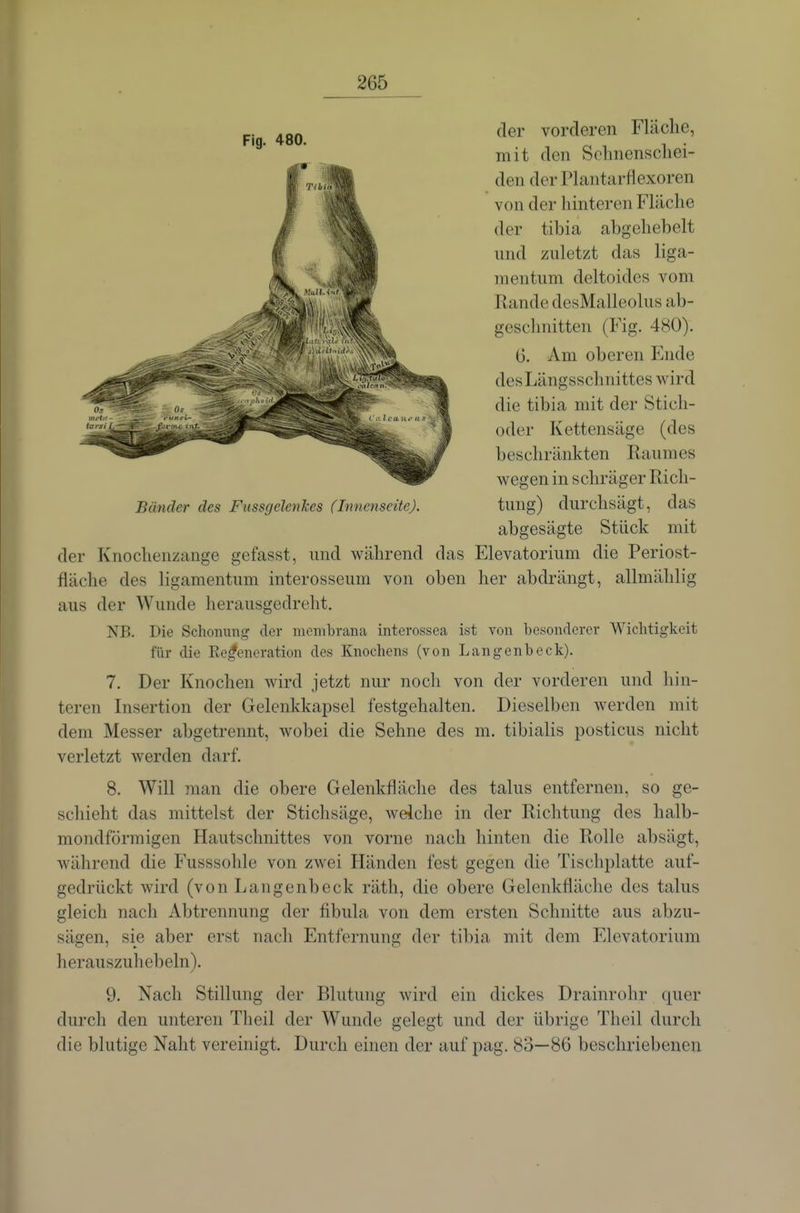der vorderen Fläclie, mit den Solmenscliei- den derPlantarflexoren von der hinteren Flilclie der tibia abgehebelt und zuletzt das liga- mentum deltoides vom Rande desMalleolus ab- geschnitten (Fig. 480). 6. Am oberen Ende des Längsschnittes wird die tibia mit der Stich- oder Kettensäge (des beschränkten Raumes wegen in schräger Rich- abgesägte Stück mit der Knochenzange gefasst, und während das Elevatorium die Periost- fläche des ligamentum interosseum von oben her abdrängt, allmählig aus der Wunde herausgedreht. NB. Die Schonung der membrana intcrossea ist von besonderer Wichtigkeit für die Ke^eneration des Knochens (von Langenbeck). 7. Der Knochen wird jetzt nur noch von der vorderen und hin- teren Insertion der Gelenkkapsel festgehalten. Dieselben werden mit dem Messer abgetrennt, wobei die Sehne des m. tibialis posticus nicht verletzt werden darf. 8. Will man die obere Gelenkfläche des talus entfernen, so ge- schieht das mittelst der Stichsäge, weiche in der Richtung des halb- mondförmigen Hautschnittes von vorne nach hinten die Rollo absägt, während die Fusssohle von zwei Händen fest gegen die Tischplatte auf- gedrückt wird (von Langenbeck räth, die obere Gelenkfläche des talus gleich nach Abtrennung der fibula von dem ersten Schnitte aus abzu- sägen, sie aber erst nach Entfernung der tibin, mit dem Elevatorium herauszuhebein). 9. Nach Stillung der Blutung Avird ein dickes Drainrohr quer durch den unteren Theil der Wunde gelegt und der übrige Theil durch die blutige Naht vereinigt. Durch einen der auf pag. 83—86 beschriebenen Fig. 480.
