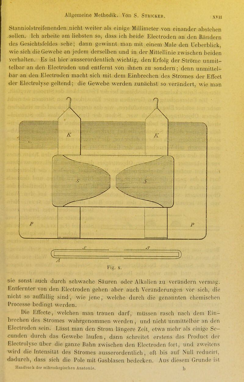 XYII Stanniolslreil'enenden nicht weiter als einige Millimeter von einander abstehen sollen. Ich arbeile am liebsten so, dass ich beide Electroden an den Rilndern des Gesichtsfeldes sehe; dann gewinnt man mit einem Male den Ueberblick, wie sich die Gewebe an jedem derselben und in der Mittellinie zwischen beiden verhalten. Es ist hier ausserordentlich wichtig, den Erfolg der Ströme unmit- telbar an den Electroden und entfernt von ihnen zu sondern; denn unmittel- bar an den Electroden macht sich mit dem Einbrechen des Stromes der Effect der Electrolyse geltend; die Gewebe werden zunächst so verändert, wie man Fig. X. sie sonst auch durch schwache Säuren oder Alkalien zu verändern vermag. Entfernter von den Electroden gehen aber auch Veränderungen vor sich, die nicht so auffällig sind, wie jene, welche durch die genannten chemischen Processe bedingt werden. Die Elffccte, welchen man trauen darf, müssen rasch nach dem Ein- brechen des Stromes wahrgenommen werden , und nicht unmittelbar an den Electroden sein, Lässt man den Strom längere Zeit, etwa mehr als einige Se- cunden durch das Gewebe laufen, dann schreitet erstens das Product der Electrolyse über die ganze Bahn zwischen den Electroden fort, und zweitens wird die Intensität des Stromes ausserordentlich, oft bis auf Null reducirl, dadurch, dass sich die Pole mit Gasblasen bedecken. Aus diesem Grunde ist Handbuch der mikroskopischen Anatomie. b