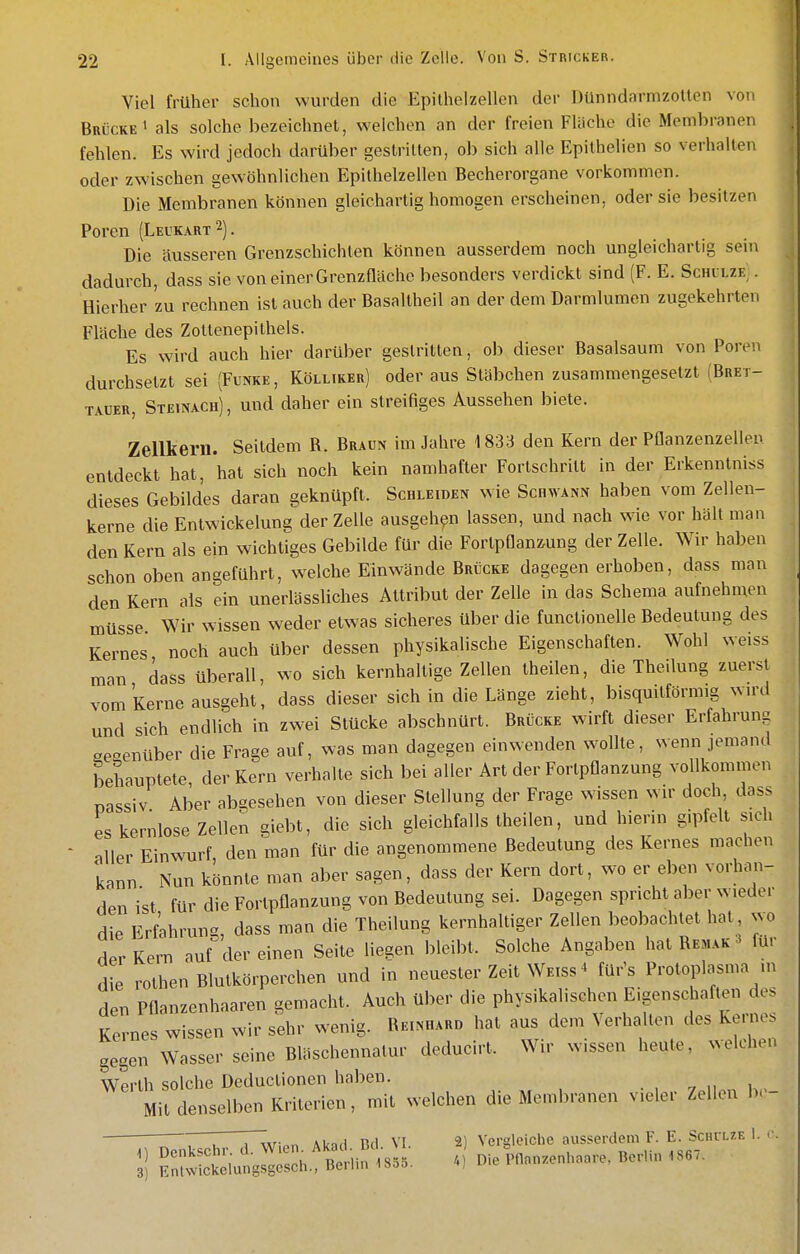 Viel früher schon wurden die Epithelzellen der Dünndarmzotten von Brücke 1 als solche bezeichnet, weichen an der freien Flüche die Membranen fehlen. Es wird jedoch darüber gestritten, ob sich alle Epithelien so verhalten oder zwischen gewöhnlichen Epithelzellen Becherorgane vorkommen. Die Membranen können gleichartig homogen erscheinen, oder sie besitzen Poren (Leukart 2). Die äusseren Grenzschichten können ausserdem noch ungleichartig sein dadurch, dass sie von einer Grenzflache besonders verdickt sind (F. E. Schllze; . Hierher zu rechnen ist auch der Basaltheil an der dem Darmlumen zugekehrten Fläche des Zottenepithels. Es wird auch hier darüber gestritten, ob dieser Basalsaum von Poren durchsetzt sei (Funke , Kölliker) oder aus Stäbchen zusammengesetzt (Bret- tauer, Steinach), und daher ein streifiges Aussehen biete. Zellkern. Seitdem R. Braun im Jahre 1833 den Kern der Pflanzenzellen entdeckt hat, hat sich noch kein namhafter Forlschritt in der Erkenntniss dieses Gebildes daran geknüpft. Schleiden wie Schwann haben vom Zellen- kerne die EntWickelung der Zelle ausgehen lassen, und nach wie vor hält man den Kern als ein wichtiges Gebilde für die Fortpflanzung der Zelle. Wir haben schon oben angeführt, welche Einwände Brücke dagegen erhoben, dass man den Kern als ein unerlässliches Attribut der Zelle in das Schema aufnehmen müsse Wir wissen weder etwas sicheres über die functionelle Bedeutung des Kernes noch auch über dessen physikalische Eigenschaften. Wohl weiss man dass überall, wo sich kernhaltige Zellen theilen, die Theilung zuerst vom kerne ausgeht, dass dieser sich in die Länge zieht, bisqmtförmig wu'd und sich endlich in zwei Stücke abschnürt. Brücke wirft dieser Erfahrung ae<^enüber die Frage auf, was man dagegen einwenden wollte, wenn jemand behauptete, der Kern verhalte sich bei aller Art der Fortpflanzung vollkommen passiv Aber abgesehen von dieser Stellung der Frage wissen wir doch dass es kernlose Zellen giebt, die sich gleichfalls theilen, und hierin gipfelt sich niler Einwurf, den man für die angenommene Bedeutung des Kernes machen lann Nun könnte man aber sagen, dass der Kern dort, wo er eben vorhan- den ist für die Fortpflanzung von Bedeutung sei. Dagegen spricht aber wieder die Erfahrung, dass man die Theilung kernhaltiger Zellen beobachtet hat wo der Kern auf der einen Seite liegen bleibt. Solche Angaben hat Remak für die rothen Blutkörperchen und in neuester Zeit Weiss * für's Protoplasma m den Pflanzenhaaren gemacht. Auch über die physikalischen Eigenschaften des Kernes wissen wir sehr wenig. Rei«haro hat aus dem Verhalten des Kernes gegen Wasser seine Bläschennatur deducirt. Wir wissen heute, welchen Werth solche Deduclionen haben. Mit denselben Kriterien, mit welchen die Membranen vieler Zellen b- Z, l TlviPn Akad Bd VI. 2) Vergleiche ausserdem F. E. SciirLZE 1. ■•. ;l Ä-4SS,!bc'I* -s..^ Die ™.„»n„™re, Bert,,, „e.