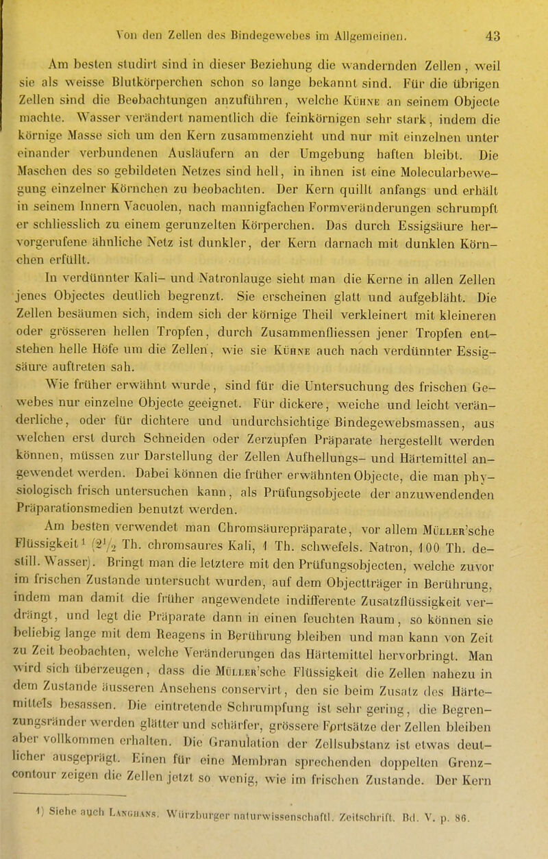 Am besten studirl sind in dieser Beziehung die wandernden Zellen , weil sie als weisse Blutkörperchen schon so lange bekannt sind. Für die übrigen Zellen sind die Beobachtungen anzuführen, welche Kühne an seinem Objecte machte, Wasser verändert namentlich die feinkörnigen sehr stark, indem die körnige Masse sich um den Kern zusammenzieht und nur mit einzelnen unter einander verbundenen Ausläufern an der Umgebung haften bleibt. Die Maschen des so gebildeten Netzes sind hell, in ihnen ist eine Molecularbewe- gung einzelner Körnchen zu beobachten. Der Kern quillt anfangs und erhält in seinem Innern Vacuolen, nach mannigfachen Formveränderungen schrumpft er schliesslich zu einem gerunzelten Körperchen. Das durch Essigsäure her- vorgerufene ähnliche Netz ist dunkler, der Kern darnach mit dunklen Körn- chen erfüllt. In verdünnter Kali- und Natronlauge sieht man die Kerne in allen Zellen jenes Objectes deutlich begrenzt. Sie erscheinen glatt und aufgebläht. Die Zellen besäumen sich, indem sich der körnige Theil verkleinert mit kleineren oder grösseren hellen Tropfen, durch ZusammenQiessen jener Tropfen ent- stehen helle Höfe um die Zellen, wie sie Kühne auch nach verdünnter Essig- säure auftreten sah. Wie früher erwähnt wurde, sind für die Untersuchung des frischen Ge- webes nur einzelne Objecte geeignet. Für dickere, weiche und leicht verän- derliche, oder für dichtere und undurchsichtige Bindegewebsmassen, aus welchen erst durch Schneiden oder Zerzupfen Präparate hergestellt werden können, müssen zur Darstellung der Zellen Aufhellungs- und Härtemittel an- gewendet werden. Dabei können die früher erwähnten Objecte, die man phy- siologisch frisch untersuchen kann, als Prüfungsobjecte der anzuwendenden Fr äparationsmedien benutzt werden. Am besten verwendet man Chromsäurepräparate, vor allem MüLLER'sche Flüssigkeit 1 (gJ/j Th. chromsaures Kali, 1 Th. schwefeis. Natron, 100 Th. de- still. Wasser). Bringt man die letztere mit den Prüfungsobjecten, welche zuvor im frischen Zustande untersucht wurden, auf dem Objectträger in Berührung, indem man damit die früher angewendete indifferente Zusatzflüssigkeit ver- drängt, und legt die Präparate dann in einen feuchten Baum, so können sie beliebig lange mit dem Reagens in Berührung bleiben und man kann von Zeit zu Zeit beobachten, welche Veränderungen das Härtemittel hervorbringt. Man wird sich überzeugen, dass die Müujcii'sche Flüssigkeit die Zellen nahezu in dorn Zustande äusseren Ansehens conservirt, den sie beim Zusatz des Härte- mittels besassen. Die eintretende Schrumpfung ist sehr gering, die Begren- zungsränder werden glätterund schärfer, grössere Fprtsätze der Zellen bleiben aber vollkommen erhalten. Die Granulation der Zcllsubstanz ist etwas deut- licher ausgeprägt. Einen für eine Membran sprechenden doppelten Grenz- contour zeigen die Zellen jetzt so wenig, wie im frischen Zustande. Der Kern 1) Siehe auch Langiian.s. Würzburger nalurwissenschoftl. Zeitschrifl. Bd. V. p. 86.