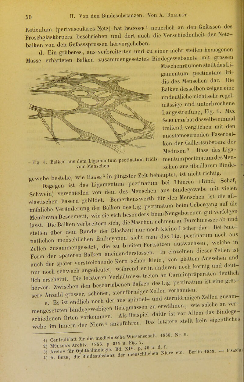 Reticulum (perivasculäres Netz) hat Iwanoff i neuerlich an den Gefässen des Froschglaskörpers beschrieben und dort auch die Verschiedenheit der Netz- balken von den Gefässsprossen hervorgehoben. d. Ein gröberes, aus verbreiterten und zu einer mehr steifen homogenen Masse erhärteten Balken zusammengesetztes Bindegewebsnelz mit grossen Maschenräumen stelltdasLi- ganientum peclinatum Iri- dis des Menschen dar. Die Balken desselben zeigen eine undeutliche nichtsehr regel- mässige und unterbrochene Längsstreifung, Fig. 1. Max ScHüLTZE hat dasselbe einmal treffend verglichen mit den anastomosirenden Faserbal- ken der Gallertsubstanz der Medusen 2. Dass das Liga- mentum pectinatum des Men- schen aus fibrillärem Binde- Fig. 1. Balken aus dem Ligamentum pectinatum Iridis vom Menschen. gewebe bestehe, «ie H.*s.. in jüngster Zeit behanplet ,sl ' f '* Dagegen ist das Ligamentun, peclinatnm be, Tb.eren (Rmd Schaf Schwei,?) verschieden van dem des Menschen ans Bindegewebe m,. v,el n elasHschen Fasern gebildet. Bemerkenswerth für den Menschen ,st d,e all- Z iche Verandernng der Balken des Lig. peelinatnm beim Uebergang an d,e « It na Descemetii wie sie sich besonde,-s beim Neugeborenen gut ve,-folgen ITZ Balken ve,-brei.ern sich, dieMaschen nehmen an Dnrchmesser ab nnd sie len über dem Rande der Glashaut nur noch kleine Lüeher dar. Be, 5n,o- nameischlichen Embryonen sieht man das Lig. peCtnalum noch au Z U zusammengesetzt, die zn breiten Fortsätzen auswachsen, we he Form der spateren Balken aneinanderslossen. In einzelnen d,eser Zellen ,st rcLer spa rve,-streichendeKe,n schon klein, von glattem Aussehen und uür n' h sehwach angedeutet, während er in anderen noch körn.g und deut- hch erschCtt Die letteren Verhaltnisse treten an Carm,npraparaten deu.l h ' to zXhen den beschriebenen Balken des Lig. pee.inatum ,st e.ne gros- meniser bindegewebigen Bcl.™^^^^^^^ :rrC:rrrraur,r Das .tztere ste. kein eigentliches 1) centralblatt für die medicinische Wissenschaft. 1868. N.. 9. 2) MüLLER's Archiv. 1856. p. 3;i9 \['S-J- g„ j f. 3 Archiv für Ophthalmologie. Bd. XIV. P; f ''^ ^^^ 4 A Beer, die Bindesubstanz der menschlichen Niere Berlin 1859. — Isaak's;