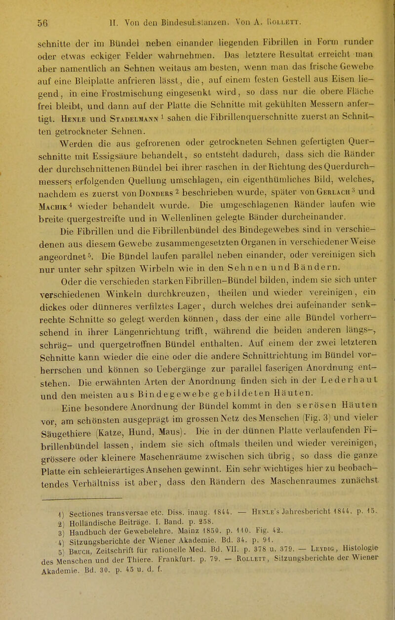 schnitte der im Bündel neben einander liegenden Fibrillen in Form runder oder etwas eckiger Felder wahrnehmen. Das letztere Resultat erreicht man aber namentlich an Sehnen weitaus am besten, wenn man das frische Gewebe auf eine Bleiplatte anfrieren lässt, die, auf einem festen Gestell aus Eisen lie- gend, in eine Froslmischung eingesenkt wird, so dass nur die obere Fläche frei bleibt, und dann auf der Platte die Schnitte mit gekühlten Messern anfer- tigt. Henle und Stadelmann ^ sahen die Fibrillenquerschnitle zuerst an Schnit- ten getrockneter Sehnen, Werden die aus gefrorenen oder getrockneten Sehnen gefertigten Quer- schnitte mit Essigsäure behandelt, so entsteht dadurch, dass sich die Ränder der durchschnittenen Bündel bei ihrer raschen in der Richtung des Querdurch- messers erfolgenden Quellung umschlagen, ein eigenlhümliches Bild, welches, nachdem es zuerst vonDoNDERs2 beschrieben wurde, später von Gerlach ^ und Machik'» wieder behandelt wurde. Die umgeschlagenen Ränder laufen wie breite quergestreifte und in Wellenlinen gelegte Bänder durcheinander. Die Fibrillen und die Fibrillenbündel des Bindegewebes sind in verschie- denen aus diesem Gewebe zusammengesetzten Organen in verschiedener Weise angeordnete Die Bündel laufen parallel neben einander, oder vereinigen sich nur unter sehr spitzen Wirbeln wie in den Sehnen und Bändern. Oder die verschieden starken Fibrillen-Bündel bilden, indem sie sich unter verschiedenen Winkeln durchkreuzen, theilen und wieder vereinigen, ein dickes oder dünneres verfilztes Lager, durch welches drei aufeinander senk- rechte Schnitte so gelegt werden können, dass der eine alle Bündel vorherr- schend in ihrer Längenrichtung trifft, während die beiden anderen längs-, schräg- und quergetroffnen Bündel enthalten. Auf einem der zwei letzteren Schnitte kann wieder die eine oder die andere Schnittrichtung im Bündel vor- herrschen und können so Uebergänge zur parallel faserigen Anordnung ent- stehen. Die erwähnten Arten der Anordnung finden sich in der Leder haut und den meisten aus Bindegewebe gebildeten Häuten. Eine besondere Anordnung der Bündel kommt in den serösen Häuten vor, am schönsten ausgeprägt im grossen Netz des Menschen (Fig. 3) und vieler Säugethiere (Katze, Hund, Maus). Die in der dünnen Platte verlaufenden Fi- brillenbündel lassen, indem sie sich oftmals theilen und wieder vereinigen, grössere oder kleinere Maschenräume zwischen sich übrig, so dass die ganze Platte ein schleierartiges Ansehen gewinnt. Ein sehr wichtiges hier zu beobach- tendes Verhältniss ist aber, dass den Rändern des Maschenraumes zunächst. 1) Secüones transversae etc. Diss. inaug. 1844^. — Henle's Jahresbericht 18U. p. \n. 2) Holländische Beitrage. I. Band. p. 258. 3) Handbuch der Gewebelehre. Mainz 1850. p. MO. Fig. 4-2. 4) Sitzungsberichte der Wiener Akademie. Bd. 34. p. 91. 5] Bkucu, Zeitschrift für rationelle Med. Bd. VII. p. 878 u. 379. — Leydig, Histologie des Menschen und der Thiere. Frankfurt, p. 79. — Rollett, Sitzungsberichte der Wiener Akademie. Bd. 30. p. 45 u. d. f.