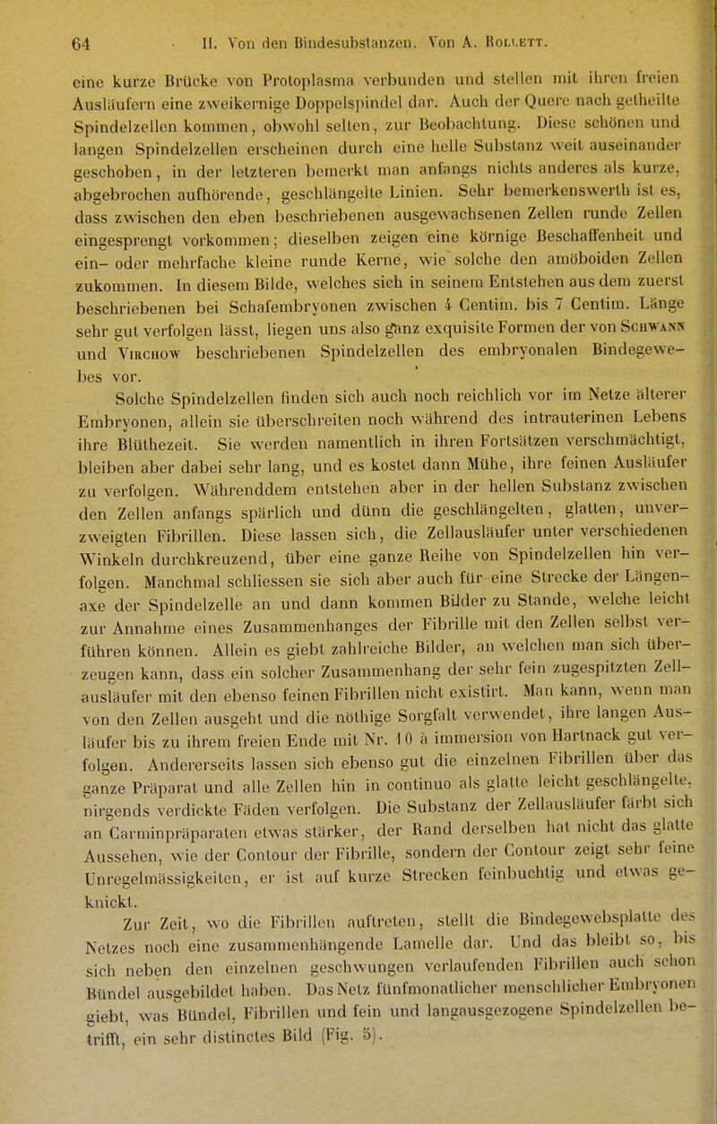 eine kurze Brücke von Protoplasma verbunden und stellen n)it ihren freien Ausläufern eine zweikernige Doppelspindel dar. Auch der Quere nach gelheilte Spindelzellen kommen, obwohl selten, zur Beobachtung. Diese schönen und langen Spindelzellen erscheinen durch eine helle Substanz weit auseinander geschoben, in der letzteren bemerkt man anfangs nichts anderes als kurze, abgebrochen aufhörende, geschlängelte Linien. Sehr bemerkenswerlh ist es, dass zwischen den eben beschriebenen ausgewachsenen Zellen runde Zellen eingesprengt vorkommen; dieselben zeigen eine körnige Beschaffenheit und ein-oder mehrfache kleine runde Kerne, wiesolche den amöboiden Zellen zukommen. In diesem Bilde, welches sich in seinem Entstehen aus dem zuerst beschriebenen bei Schafembryonen zwischen 4 Centim. bis 7 Centim. Länge sehr gut verfolgen lässt, liegen uns also ganz exquisite Formen der von Schwann und ViRCHOW beschriebenen Spindelzellen des embryonalen Bindegewe- bes vor. Solche Spindelzellen finden sich auch noch reichlich vor im Netze älterer Embryonen, allein sie überschreiten noch während des intrauterinen Lebens ihre Blüthezeit. Sie werden namentlich in ihren Fortsätzen verschmächtigt, bleiben aber dabei sehr lang, und es kostet dann Mühe, ihre feinen Ausläufer zu verfolgen. Währenddem entstehen aber in der hellen Substanz zwischen den Zellen anfangs spärlich und dünn die geschlängelten, glatten, unver- zweigten Fibrillen. Diese lassen sich, die Zellausläufer unter verschiedenen Winkeln durchkreuzend, über eine ganze Reihe von Spindelzellen hin ver- folgen. Manchmal schliessen sie sich aber auch für eine Strecke der Längen- axe der Spindelzelle an und dann kommen BiJder zu Stande, welche leicht zur Annahme eines Zusammenhanges der Fibrille mit den Zellen selbst ver- führen können. Allein es giebt zahlreiche Bilder, an welchen man sich über- zeugen kann, dass ein solcher Zusammenhang der sehr fein zugespitzten Zell- ausläufer mit den ebenso feinen Fibrillen nicht existirl. Man kann, w enn man von den Zellen ausgeht und die nöthige Sorgfalt verwendet, ihre langen Aus- läufer bis zu ihrem freien Ende mit Nr. 10 a immersion von Hartnack gut ver- folgen. Andererseits lassen sich ebenso gut die einzelnen Fibrillen über das ganze Präparat und alle Zellen hin in continuo als glatte leicht geschlängelte, nirgends verdickte Fäden verfolgen. Die Substanz der Zellausläufer färbt sich an Carminpräparaten etwas stärker, der Rand derselben hat nicht das glatte Aussehen, wie der Contour der Fibrille, sondern der Contour zeigt sehr feine Unregelmässigkeiten, er ist auf kurze Strecken feinbuchtig und etwas ge- knickt. Zur Zeit, wo die Fibrillen auftreten, stellt die Bindegewebsplatle des Netzes noch eine zusammenhängende Lamelle dar. Und das bleibt so, bis sich neben den einzelnen geschwungen verlaufenden Fibrillen auch schon Bündel ausgebildet haben. Das Netz fünfmonatlicher menschlicher Embryonen giebt, was Bündel, Fibrillen und fein und langausgezogene Spindelzellen be- trifft, ein sehr distinctes Bild (Fig. 5).