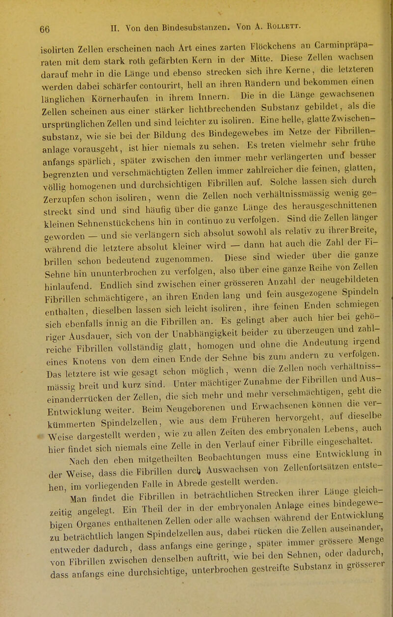 isolirlen Zellen erscheinen nach Art eines zarten Flöckchens an Carminprapa- ralen mit dem stark roth gefärbten Kern in der Mitte. Diese Zellen wachsen darauf mehr in die Länge und ebenso strecken sich ihre Kerne, die letzteren werden dabei schärfer contourirt, hell an ihren Rändern und bekommen emen länglichen Körnerhaufen in ihrem Innern. Die in die Länge gewachsenen Zellen scheinen aus einer stärker lichtbrechenden Substanz gebddet, als die ursprünglichen Zellen und sind leichter zu isoliren. Eine helle, glatte Zwischen- substanz, wie sie bei der Bildung des Bindegewebes im Netze der Fibrillen- anlage vorausgeht, ist hier niemals zu sehen. Es treten vielmehr sehr frühe anfangs spärlich, später zwischen den immer mehr verlängerten und besser begrenzten und verschmächtigten Zellen immer zahlreicher die feinen, glatten völlig homogenen und durchsichtigen Fibrillen auf. Solche lassen sich durch Zerzupfen schon isoliren, wenn die Zellen noch verhältnissmässig wenig ge- streckt sind und sind häufig über die ganze Länge des herausgeschnittenen kleinen Sehnenstückchens hin in continuo zu verfolgen. Sind die Zellen länger geworden - und sie verlängern sich absolut sowohl als relativ zu ihrerBreite, während die letztere absolut kleiner wird - dann hat auch die Zahl der Fi- brillen schon bedeutend zugenommen. Diese sind wieder über die ganze Sehne hin ununterbrochen zu verfolgen, also über eine ganze Reihe von Zellen hinlaufend. Endlich sind zwischen einer grösseren Anzahl der neugebildeten Fibrillen schmächtigere, an ihren Enden lang und fein ausgezogene Spindeln enthalten, dieselben lassen sich leicht isoliren, ihre feinen Enden schmiegen sich ebenfalls innig an die Fibrillen an. Es gelingt aber auch hier b^i geho- naev Ausdauer, sich von der Unabhängigkeit beider zu überzeugen und zahl- reiche Fibrillen vollständig glatt, homogen und ohne die Andeutung irgend eines Knotens von dem einen Ende der Sehne bis zum andern zu ver olgen. Das letztere ist wie gesagt schon möglich , wenn die Zellen noch verhallniss- mässig breit und kurz sind. Unter mächtiger Zunahme der Fibrillen und Aus- einanderrücken der Zellen, die sich mehr und mehr verschmächtigen, geht die Entwicklung weiter. Beim Neugeborenen und Erwachsenen können die vei- kümmerten'spindelzellen, wie aus dem Früheren ^^^^^^^1^ Weise dargestellt werden, wie zu allen Zeiten des embryon len Lebens auch ^e. findet'sich niemals eine Zelle in den Verlauf einer Fibrille -g-dial et. Nach den eben mitgetheilten Beobachtungen muss eine Enlw.cklun« m der Weise, dass die Fibrillen durcl, Auswachsen von Zellenfortsätzen entste- hen im vorliegenden Falle in Abrede gestellt werden. Man findet die Fibrillen in beträchtlichen Strecken ihrer Lange gleich- 7eitie angelegt. Ein Theil der in der embryonalen Anlage eines bindegewe- ; g n Ä enthaltenen Zellen oder alle wachsen während der Entwicklung ^^tSlich langen Spindelzellen aus, dabei rücken die ^eUen-em^;^; pntweder dadurch dass anfangs eine geringe, später immer grosseie Menge ::::^Zs:^en denselben auftritt, wie bei den Sehnen, oder a^urch dass anfangs eine durchsichtige, unierbrochen gestreifte Substanz m grosserer