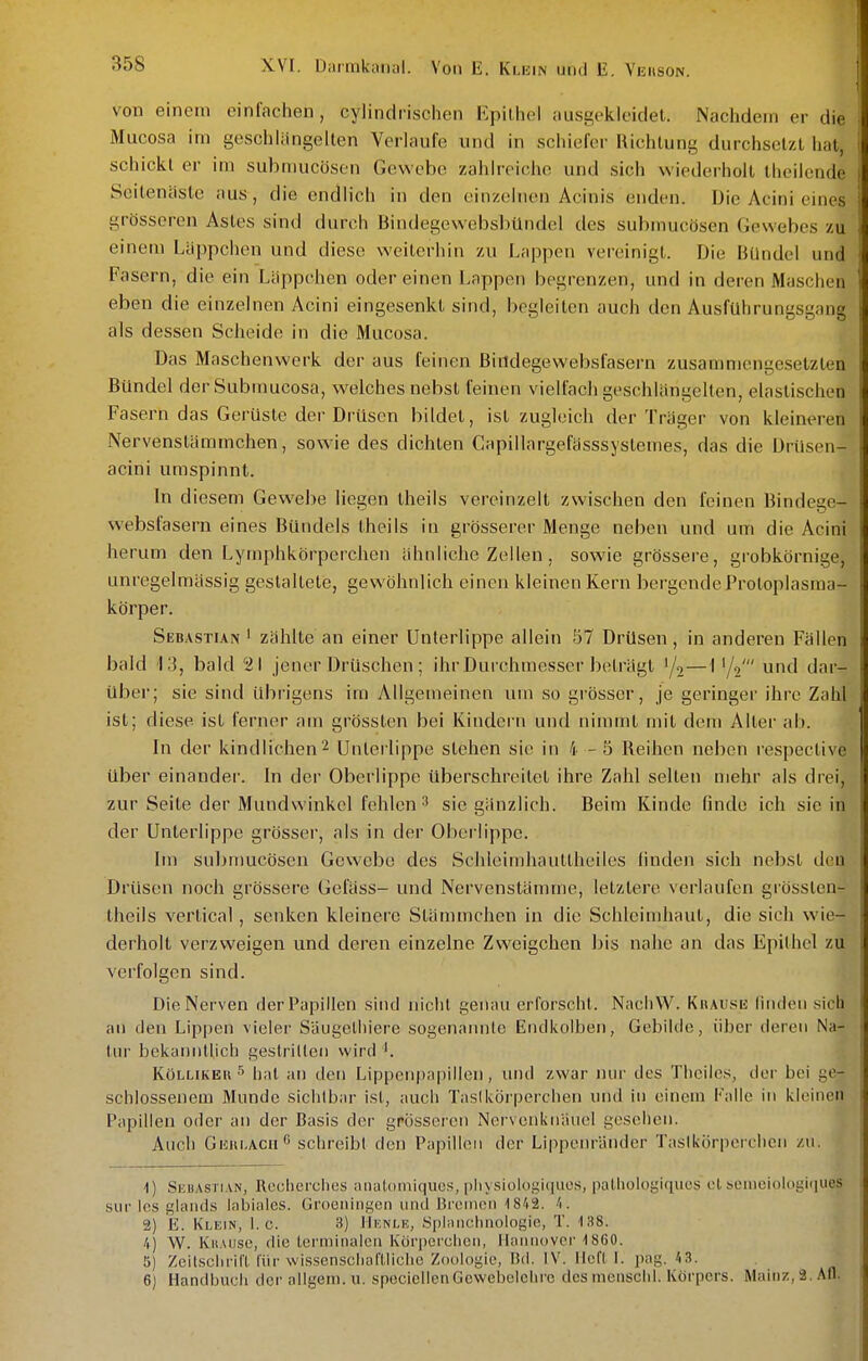 von einem einfachen, cylindrischen Epilhoi ausgekleidet. Nachdem er die Mucosa im geschlängelten Verlaufe und in schiefer Richtung durchsetzt hat, schickt er im subn)ucösen Gewebe zahlreiche und sich wiederholt tlieilcnde Seitentiste aus, die endlich in den einzelnen Acinis enden. Die Acini eines grösseren Astes sind durch Bindegewebsbündel des submucösen Gewebes zu einem Läppchen und diese weiterhin zu Lappen vereinigt. Die Bündel und Fasern, die ein Läppchen oder einen Lappen begrenzen, und in deren Maschen eben die einzelnen Acini eingesenkt sind, begleiten auch den Ausführungsgang als dessen Scheide in die Mucosa. Das Maschenwerk der aus feinen Bindegewebsfasern zusammengesetzten Bündel der Submucosa, welches nebst feinen vielfach geschlängelten, elastischen Fasern das Gerüste der Drüsen bildet, ist zugleich der Träger von kleineren Nervenstämmchen, sowie des dichten Capillargefässsystemes, das die ürüsen- acini umspinnt. In diesem Gewebe liegen Iheils vereinzelt zwischen den feinen Bindege- websfasern eines Bündels theils in grösserer Menge neben und um die Acini herum den Lymphkörperchen ähnliche Zellen, sowie grössere, grobkörnige, unregelmässig gestaltete, gewöhnlich einen kleinen Kern bergende Protoplasma- körper. Sebastian ' zählte an einer Unterlippe allein 57 Drüsen, in anderen Fällen bald 13, bald '21 jener DrUschen ; ihr Durchmesser beträgt 1/2—1'A' und dar- über; sie sind übrigens im Allgemeinen um so grösser, je geringer ihre Zahl ist; diese ist ferner am grössten bei Kindern und nimmt mit dem Alter ab. In der kindlichen 2 Unterlippe stehen sie in 4 - 5 Reihen neben respective über einander, hi der Oberlippe überschreitet ihre Zahl selten mehr als drei, zur Seite der Mundwinkel fehlen-' sie gänzlich. Beim Kinde finde ich sie in der Unterlippe grösser, als in der Oberlippe. Im sul)mucösen Gewebe des Schleimhauttheiles linden sich nebst den Drüsen noch grössere Gefäss- und Nervenstämme, letztere verlaufen grösslen- theils vertical, senken kleinere Stämmchen in die Schleimhaut, die sich wie- derholt verzweigen und deren einzelne Zweigchen bis nahe an das Epithel zu verfolgen sind. Die Nerven der Papillen sind niclil genau erforscht. NacliW. Kuause linden sich an den Lippen vieler Säugelliiere sogenannte Endkolben, Gebilde, über deren Na- tur bekanntlich gestrillen wird KöLLiKEB ^ hat an den Lippenpapillen, und zwar nur des Tlieiles, der bei ge- schlossenem Jlundc sichtbar ist, auch TasIkörperchen und in einem Kalle in kleinen Papillen oder an der Basis der grösseren Nervenkiiiiucl gesehen. Auch Geulach^ schreibt den Papillen der Lippenränder Taslkürperelicn zu. 1) SuuASTi.VN, Recherciies analomiqucs, pliysioloi;i(iiio.s, patliologiques et bCiDeiologitjues sur Ics glands labiales. Groeningen und Breinoii -1842. '1. 2) E. Klein, I.e. 3) Henle, SplMiichnologie, T. 138. 4) W. Kh.misc, die Lerminalcu Körperclicn, Ilaniiovcr 1860. 5) ZeilscIiiü'U'iir wissensciiaftliclie Zoologie, Bd. IV. lieft 1. pag. 43. 6) Handbuch der allgem. u. spociellenGcwebolchrc dcsnienscld. Körpers. Mainz, 2. All.