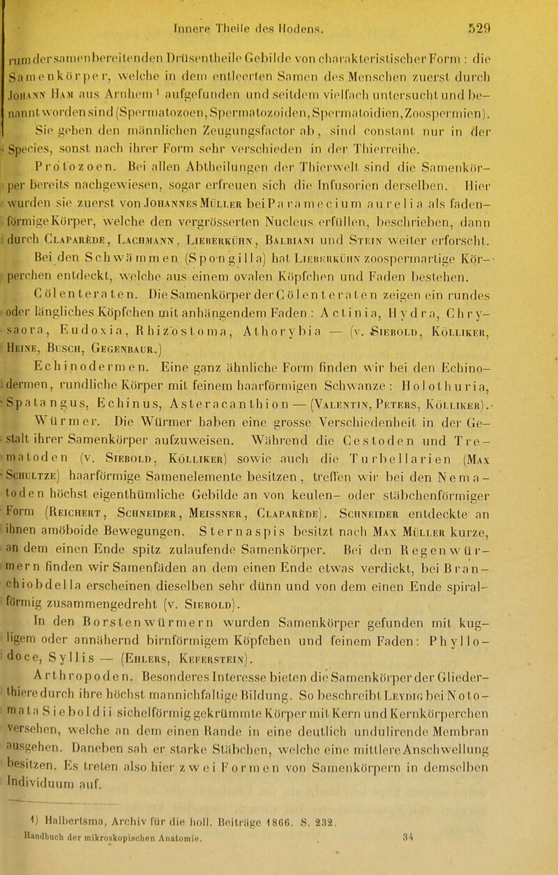 rumdcrsaniPtiberpilonden DrUsonllieilp Gebilde von chnmkleristisoher Form : die Samenkörpe r, welche in dem entleei'l.en Snmon des Menschen zuersl, durch Johann Ham aus Arnhem ' aufgefunden und seitdem violfaoh untersucht und be- nannt worden sind (Spermalozoen, Sperma tozoiden,Spermatoidien,Zoos])ermien). Sie geben den männlichen Zeugungsfaetor ab, sind constant nur in der - Speeles, sonst nacli ihrer Form sehr verschieden in der Thiei ieihe. Protozoen. Bei allen Abtheilungen der Thierwelt sind die Samenkör- 11 per bereits nachgewiesen, sogar erfreuen sich die Infusorien derselben. Hier \< wurden sie zuerst von .TohannesMüller beiPa ra m e c i u m au re 1 i a als faden- förmige Körper, welche den vergrösserten Nucleus erfüllen, beschrieben, dann i durch CLAPARiiDE, r^ACHMANN, LiEBERKüRN, Balbiani uud Stein Weiter erforscht. Bei den Schwämmen. (Spongilla) hat Lnim-HKÜiiN zonspermarlige Kör-- • perchen entdeckt, welche aus einem ovalen Köpfchen und Faden bestehen. C öl e n t e r a t e n. Die Samenkörper der C ö 1 e n t e r a t e n zeigen ein rundes oder längliches Köpfchen mit anhängendem Faden : A c t i n i a, Hydra, C h r y- «saora, E u d o x i a , R hi z:os t o m a , Athorybia — (v. Siebold, Kölliker, ^ Heine, Busch, Gegenbaur.) Ec h i n od e rm e n. Eine ganz ähnliche Form finden wir bei den Echino- idernien, rundliche Körper mit feinem haarförmigen Schwänze: Holothuria, •Spatangus, Echinus, Asteracanthion — (Valentin, Peters, Kölliker).- Würmer. Die Würmer haben eine grosse Verschiedenheit in der Ge- stalt ihrer Samenkörper aufzuweisen. Während die Cestoden und Tre- matoden (v. Siebold. Kölliker) sowie auch die Turbellarien (Max •Schultze) haarförmige Samenelemente besitzen, Ireflen wir bei den Nema- toden höchst eigenthümliche Gebilde an von keulen- oder stäbchenförmiger Form (Reichert, Schneider , Meissner , CLAPARioE). Schneider entdeckte an ! ihnen amöboide Bewegungen. Sternaspis besitzt nach Max Müller kurze, andern einen Ende spitz zulaufende Samenkörper. Bei den Regenwür- niern finden wir Samenfäden an dem einen Ende etwas verdickt, bei Bran- chiobdella erscheinen dieselben sehr dünn und von dem einen Ende spiral- förmig zusammengedreht (v. Siebold). In den Borsten Würmern wurden Samenkörper gefunden mit kug- ligem oder annähernd birnförmigem Köpfchen und feinem Faden: Phyllo- idoce, Syllis— (Ehlers, Kekerstein). Arthropoden. Besonderes Interesse bieten die Samenkörper der Glieder- Ihieredurch ihre höchst mannichfaltige Bildung. So beschreibtLEYninbei Nolo- nfi a ta S i e bo 1 d i i sichelförmig gekrümmte Körper mit Kern und Kernkörperchen versehen, welche an dem einen Rande in eine deutlich undulirende Membran ausgehen. Daneben sah er starke Stäbchen, welche eine mittlere Anschwellung besitzen. Es treten also hier zwei Formen von Samenkörpern in demselben Individuum auf. 1) Halberlsmn, Archiv für die lioll. noilriigo 186C. S. 232. Handbuch der mikroskopischen Anatomie.